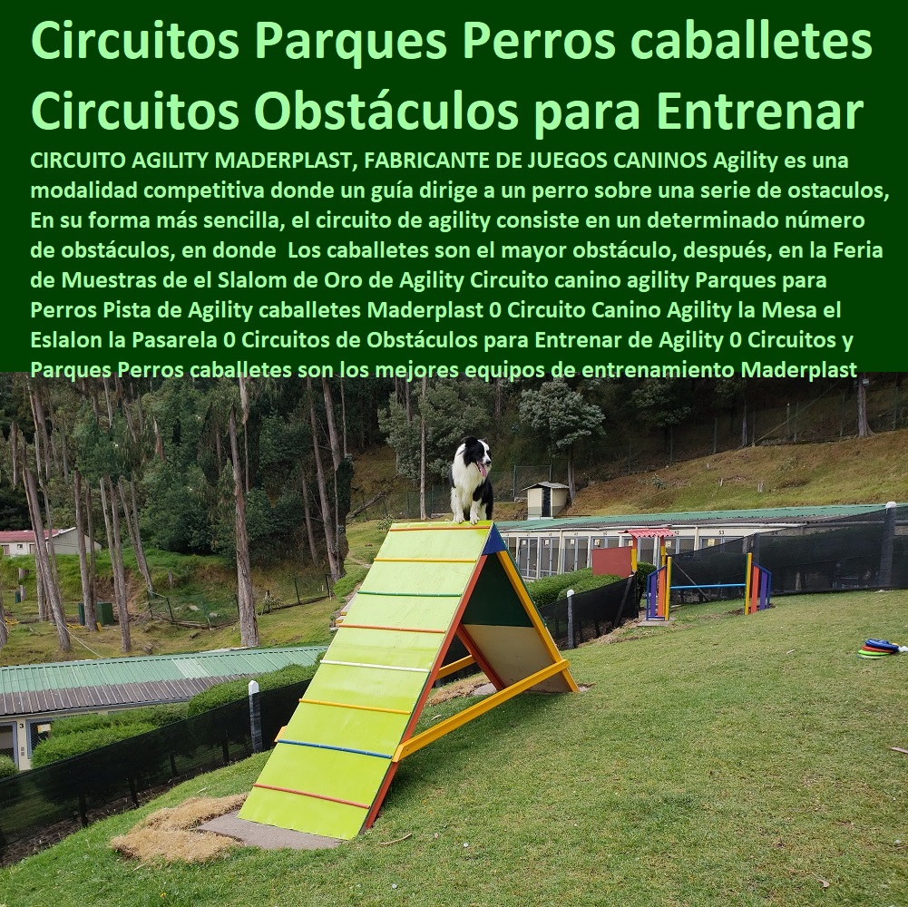 33 CASAS PARA PERROS 0 AGILITY DE PERROS 0 PISTAS DE ADIESTRAMIENTO CANINOS 0 CASA MASCOTAS 0 OBSTÁCULOS EQUIPO DE AGILITY PARA PERROS 0 Cunas Y Parideras Camas Para Perros 0 Pista Campeonatos Para Perros 0 Parques Para Perros 0 Puertas Jaulas Corrales Para Perros 0 Fabrica Circuitos Agility Caninos 0 Perreras Para Caninos 0 Canecas Para Los Desechos De Las Mascotas 0 Casa De Perro Mascota 0 Agility De Perros 0 Pista De Adiestramiento Caninos 0 Circuito Canino Obstáculos 0 Equipo De Agility Para Perros 0 Cunas Y Parideras Para Perras 0 Camas Para Perros 0 Pista Campeonatos Para Perros 0 Parques Para Perros 0 33 CASAS PARA PERROS 0 AGILITY DE PERROS 0 PISTAS DE ADIESTRAMIENTO CANINOS 0 CASA MASCOTAS 0 OBSTÁCULOS EQUIPO DE AGILITY PARA PERROS 0 Cunas Y Parideras Camas Para Perros 0 Pista Campeonatos Para Perros 0 Parques Para Perros 0 Puertas Jaulas Corrales Para Perros 0 Fabrica Circuitos Agility Caninos 0 Perreras Para Caninos 0 Canecas Para Los Desechos De Las Mascotas 0 Casa De Perro Mascota 0 Agility De Perros 0 Pista De Adiestramiento Caninos 0 Circuito Canino Obstáculos 0 Equipo De Agility Para Perros 0 Cunas Y Parideras Para Perras 0 Camas Para Perros 0 Pista Campeonatos Para Perros 0 Parques Para Perros 0 PERROS CANINOS CASAS PERROS MASCOTAS PERRERAS MADERPLAST PARIDERAS CANILES CORRALES ESPECIES MENORES Perreras en plástico Maderplast son las mejores para su perro, por no causar malos olores no daña el olfato de sus perros, por ser térmicas protegen el pelo de su perro, Criaderos de perros, la mejor casa para perros es en plásticos fuertes maderplast Hotel para perros juegos para perros en plástico maderplast, gimnasio para los perros en plástico maderplast, agility pistas para ejercitar los perros en plástico maderplast, pistas para competencias de agility perros en plásticos maderplast, parques para perros en plásticos Maderplast, hoteles para perros con plásticos maderplast, cuidado de perros en casas plásticas maderplast, cama térmica plástica maderplast, Hotel para perros, Razas bonitas de perros el parto de las perras y perritas se debe hacer en una paridera paritoria plástica maderplast, especial para conservar el calor de los cachorros, y evitar la muerte de los perritos por aplastamiento, conservandolos protegidos del extremo frío y del calor, también una paridera paritorio maderplast que sea como una sala cuna, madriguera de perritos y la perra parida en perrera paritorio maderplast para partos maderplast tipo iglú o bandeja hotel Criaderos de perros chihuahuas, Adiestramiento canino agility a domicilio, Adiestramiento canino gratis, Adiestramiento agility canino a domicilio México, Adiestramiento canino a domicilio distrito federal, Entrenamiento canino, agility Adiestramiento canino a domicilio df, Perros para pisos, Perros para pisos pequeños, Perros para pisos niños, agility Gimnasio para perros, Gimnasio para perros df, Blog agility perro en plástico Maderplast Gimnasio para mascotas, Perros un refugio para su perro hágalo en maderplast, con paridera maderplast cuidados del parto de mi perra y evitar la muerte de mis cachorros en camadas maderplast,