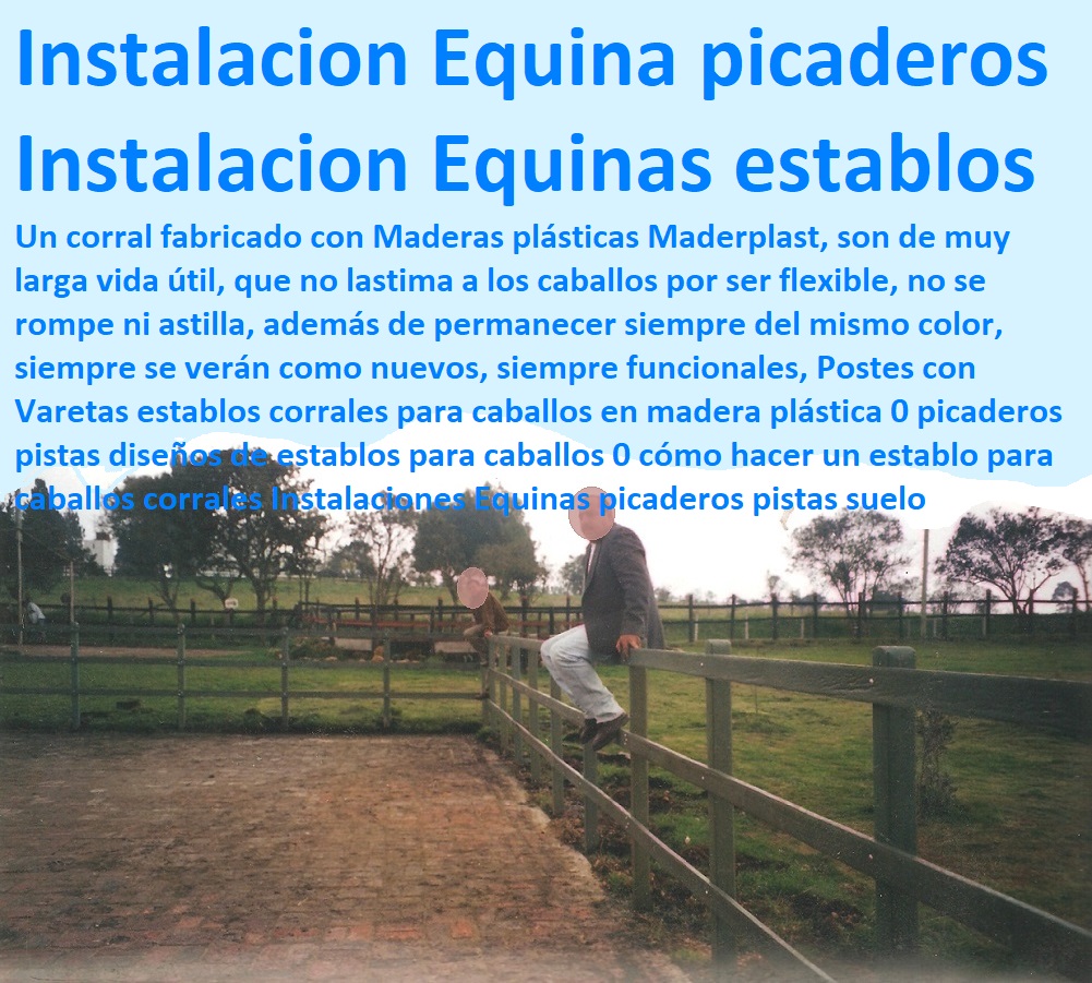 39 CORRALES DE GANADO 0 ESTABLOS PARA ANIMALES 0 MANGAS DE COLEO 0 PLAZA TOROS 0 BRETE GANADERO 0 INSTALACIONES GANADERAS 0 Mangas De Coleo 0 División De Corrales 0 Embarcaderos De Ganado 0 Mangas Apretaderos Trabajaderos De Ganado 0 Embudos De Manejo De Ganado 0 División De Corrales 0 Caletas Bretes Mangas Ganaderos 0 0 Corral Caballerizas 0 Pesebreras De Caballos Corral Completo Manejo De Ganado 0 Instalaciones Bovinas 0 Corral Diseño De Corrales Para Ganado De Engorda 0 Corral Instalaciones Ganaderas Para Bovinos 39 CORRALES DE GANADO 0 ESTABLOS PARA ANIMALES 0 MANGAS DE COLEO 0 PLAZA TOROS 0 BRETE GANADERO 0 INSTALACIONES GANADERAS 0 Mangas De Coleo 0 División De Corrales 0 Embarcaderos De Ganado 0 Mangas Apretaderos Trabajaderos De Ganado 0 Embudos De Manejo De Ganado 0 División De Corrales 0 Caletas Bretes Mangas Ganaderos 0 0 Corral Caballerizas 0 Pesebreras De Caballos Corral Completo Manejo De Ganado 0 Instalaciones Bovinas 0 Corral Diseño De Corrales Para Ganado De Engorda 0 Corral Instalaciones Ganaderas Para Bovinos CORRALES ESTABLOS PLÁSTICOS MADERPLAST MANGAS COLEO CABALLERIZAS PESEBRERAS PLAZA TOROS BRETE PLÁSTICO corrales de matadero corrales planta sacrifico corrales higiénicos corral sacrificando ganado plantas faena nuevos mataderos corral para sacrificar ganado encierro degolladero tentadero 00 Los corrales para ganaderías e instalaciones de ganado estabulado son más fuertes y resistentes con plásticos Maderplast los cuales no necesitan mantenimiento no se pudren no se oxidan no se desbaratan los corrales para ganados estabulados y establos de ganadería son tan fuertes que los utilizan incluso en los mataderos y plantas de sacrificio corrales establos mangas coleo caballerizas pesebreras plaza toros brete frigoríficos y ganaderías tecnificadas, corral madera plástica calceta manga maderplast brete para ganado corrales embudos calcetas embudo calceta bretes brete apretadero instalaciones mangas wpc plastimadera madera plástico 001 Instalaciones de ganado caprino corrales establos mangas coleo caballerizas pesebreras plaza toros brete videos, Instalaciones de ganado ovino y caprino corrales establos mangas coleo caballerizas pesebreras plaza toros brete, Instalaciones de ganado vacuno corrales establos mangas coleo caballerizas pesebreras plaza toros brete, Instalaciones de ganado bovino productor de carne en madera plástica Maderplast, Instalaciones de ganado vacuno de carne en madera plástica Maderplast corral para toros de lidia redondo toreros plaza de toros corrales ganado lidia corrales para corralejas para fiestas eventos corrales para toros bravos corrales para toros de engorda 0000 Instalaciones de ganado caprino corrales establos mangas coleo caballerizas pesebreras plaza toros brete, Construcción de un establo corrales establos mangas coleo caballerizas pesebreras plaza toros brete, Establos ganaderos, Establos para ganado en madera plástica Maderplast Como hacer un establo en madera plástica Maderplast, Establo de ganado vacuno corrales establos mangas coleo caballerizas pesebreras plaza toros brete, Establo de vacas lecheras corrales establos mangas coleo caballerizas pesebreras plaza toros brete