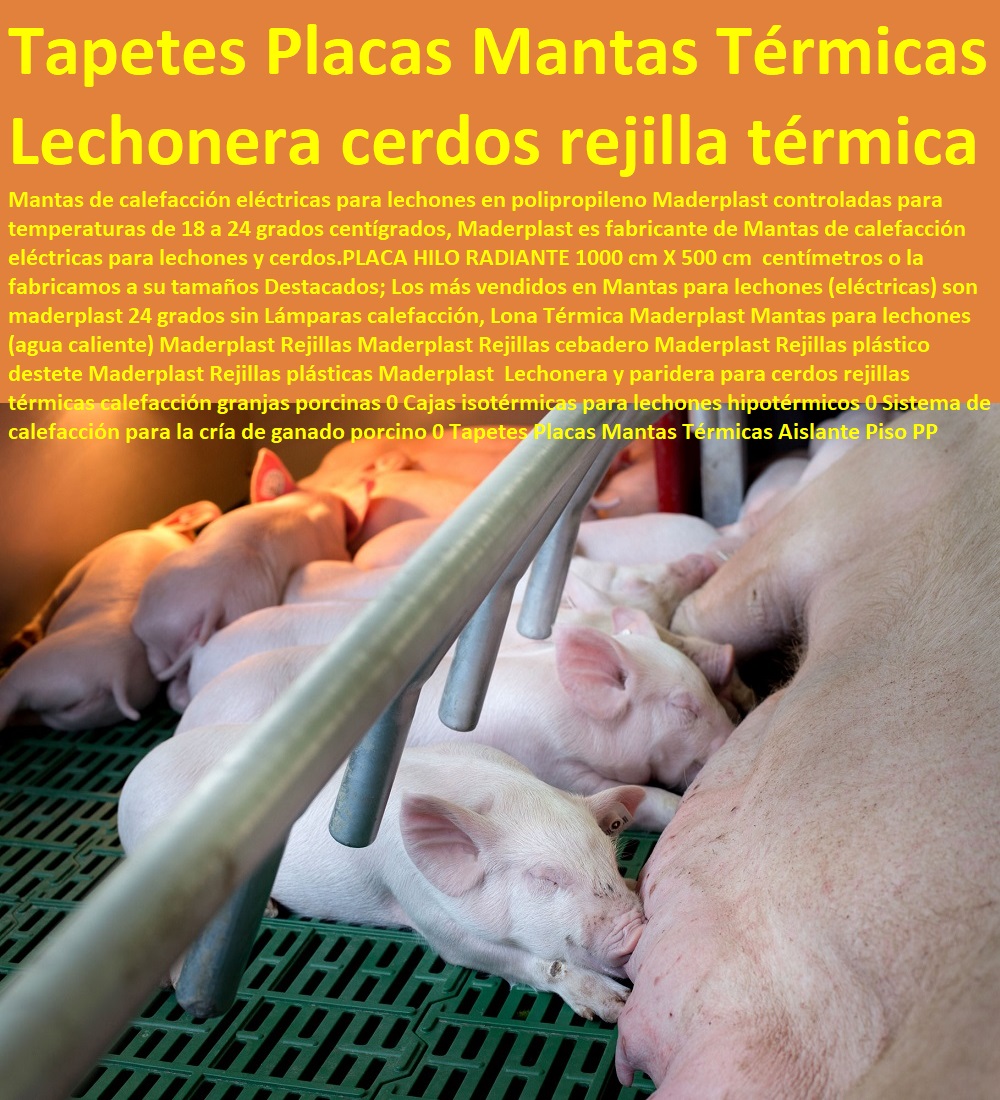 48 PISCÍCOLAS 0 ACUICULTURA TECNIFICADA 0 ESTANQUES DE PESCA 0 JAULAS DE PESCADOS 0 JAULAS FLOTANTES PARA PISCICULTURA 0 ACUICULTURA Y PISCICULTURA 0 Piscicultura 0 Pesca Pescados 0 Cultivos De Mariscos 0 Cultivos De Langostinos Granja Camaronera 0 Producción De Caracoles Helicicultura 0 Acuacultura Y Pesca 0 Estación De Piscicultura Tecnificada Moderna 0 Acuicultura En Colombia 0 Rejillas Para Alevinos En Estanque 0 Piscicultura En Jaulas Y Corrales 0 Jaulas Flotantes Para Piscicultura 0 Tipos De Jaulas Flotantes Para Acuicultura 0 Diseño Y Construcción De Piscigranjas 0 Construcción De Jaulas Flotantes Para Tilapia 0 48 PISCÍCOLAS 0 ACUICULTURA TECNIFICADA 0 ESTANQUES DE PESCA 0 JAULAS DE PESCADOS 0 JAULAS FLOTANTES PARA PISCICULTURA 0 ACUICULTURA Y PISCICULTURA 0 Piscicultura 0 Pesca Pescados 0 Cultivos De Mariscos 0 Cultivos De Langostinos Granja Camaronera 0 Producción De Caracoles Helicicultura 0 Acuacultura Y Pesca 0 Estación De Piscicultura Tecnificada Moderna 0 Acuicultura En Colombia 0 Rejillas Para Alevinos En Estanque 0 Piscicultura En Jaulas Y Corrales 0 Jaulas Flotantes Para Piscicultura 0 Tipos De Jaulas Flotantes Para Acuicultura 0 Diseño Y Construcción De Piscigranjas 0 Construcción De Jaulas Flotantes Para Tilapia 0 Piscícolas acuicultura tecnificada piscicultura 2015 jardines acuáticos de peces ornamentales exhibición peces ornamentales granja piscícola ornamental piscícolas acuicultura peces ornamentales cultivo peces jardines acuáticos de peces ornamentales estanque 01 21 Piscícolas acuicultura tecnificada piscicultura 2015 jardines acuáticos de peces ornamentales exhibición peces ornamentales granja piscícola ornamental piscícolas acuicultura peces ornamentales cultivo peces jardines acuáticos de peces ornamentales estanque 01546 Piscícolas acuicultura tecnificada piscicultura 2015 jardines acuáticos de peces ornamentales exhibición peces ornamentales granja piscícola ornamental piscícolas acuicultura peces ornamentales cultivo peces jardines acuáticos de peces ornamentales estanque 01 879 Piscícolas acuicultura tecnificada piscicultura 2015 jardines acuáticos de peces ornamentales exhibición peces ornamentales granja piscícola ornamental piscícolas acuicultura peces ornamentales cultivo peces jardines acuáticos de peces ornamentales estanque 01 Piscícolas acuicultura tecnificada piscicultura 2015 jardines acuáticos de peces ornamentales exhibición peces ornamentales granja piscícola ornamental piscícolas acuicultura peces ornamentales cultivo peces jardines acuáticos de peces ornamentales estanque 01