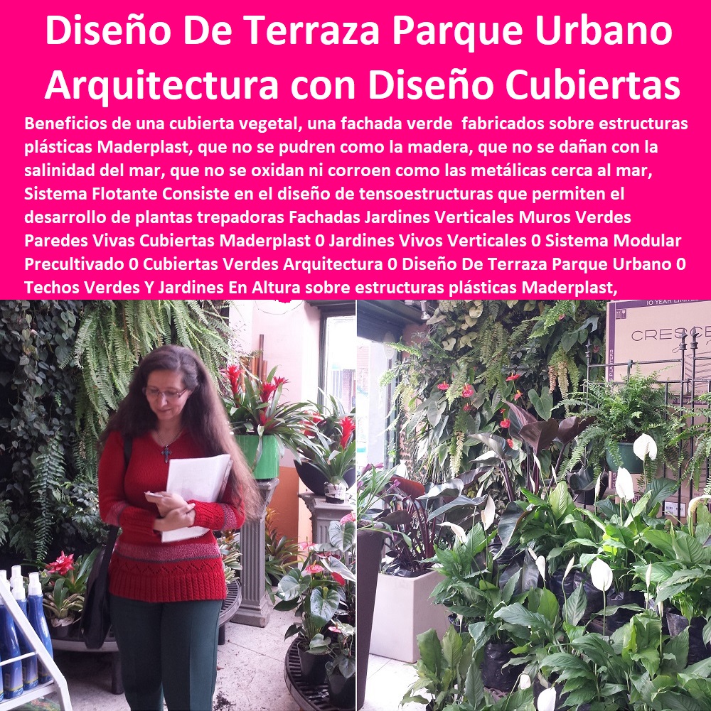 52 TERRAZAS VERDES 0 TERRAZAS VIVAS 0 JARDINES VERTICALES 0 TECHOS VERDES 0 TEJADOS VERDES 0 FACHADAS VEGETALES 0 FACHADAS FLOTANTES 0 Materas Macetas 0 Patios Murales 0 Paredes Verdes 0 Paredes Vivas 0 Jardineras 0 Paisajismo Urbano 0 Construcción Ecológica 0 Cercas Vivas 0 Pérgola Veranera 0 Estructuras Ecológicas 0 Jardineria Sustentable 0 Senderos Ecológicos 0 Jardín Botánico 0 Pérgolas Miradores 0 Suministro E Instalación De Jardín Vertical 0 Ventajas De Jardín Vertical 0 Fachadas Y Techos Verdes 0 Techos Verdes Arquitectura 0 Bandejas Para Techos Verdes 0 Tipos De Techos Verdes 0 Tipos De Techos Verdes Hidropónicos 0 Paisajismo Urbano Fachadas Vegetales 0 Cercas Para Jardines Exteriores 0 52 TERRAZAS VERDES 0 TERRAZAS VIVAS 0 JARDINES VERTICALES 0 TECHOS VERDES 0 TEJADOS VERDES 0 FACHADAS VEGETALES 0 FACHADAS FLOTANTES 0 Materas Macetas 0 Patios Murales 0 Paredes Verdes 0 Paredes Vivas 0 Jardineras 0 Paisajismo Urbano 0 Construcción Ecológica 0 Cercas Vivas 0 Pérgola Veranera 0 Estructuras Ecológicas 0 Jardineria Sustentable 0 Senderos Ecológicos 0 Jardín Botánico 0 Pérgolas Miradores 0 Suministro E Instalación De Jardín Vertical 0 Ventajas De Jardín Vertical 0 Fachadas Y Techos Verdes 0 Techos Verdes Arquitectura 0 Bandejas Para Techos Verdes 0 Tipos De Techos Verdes 0 Tipos De Techos Verdes Hidropónicos 0 Paisajismo Urbano Fachadas Vegetales 0 Cercas Para Jardines Exteriores 0 Fachadas ESTOY COMPRANDO A UN FABRICANTE DISTRIBUIDOR PROVEEDOR DE FACHADAS VERDES 0 TERRAZAS VERDES 0 TERRAZAS VIVAS 0 JARDINES VERTICALES 0 TECHOS VERDES 0 Tejados Verdes 0 Fachadas Vegetales 0 Materas Macetas 0 Patios Murales 0 Paredes Verdes 0 Paredes Vivas 0 Jardineras 0 Paisajismo Urbano 0 Construcción Ecológica 0 Cercas Vivas 0 Pérgola Veranera 0 Estructuras Ecológicas 0 Jardinería Sustentable 0 Senderos Ecológicos 0 Jardín Botánico 0 Pérgolas Miradores 0 Jardines Verticales Muros Verdes Paredes Vivas Cubiertas Maderplast 0 Jardines Vivos Verticales 0 Sistema Modular Precultivado 0 Cubiertas Verdes Arquitectura 0 Diseño De Terraza Parque Urbano 0 Techos Verdes Y Jardines En Altura 0 Fachadas Jardines Verticales Muros Verdes Paredes Vivas Cubiertas Maderplast 0 Jardines Vivos Verticales 0 Sistema Modular Precultivado 0 Cubiertas Verdes Arquitectura 0 Diseño De Terraza Parque Urbano 0 Techos Verdes Y Jardines En Altura 0