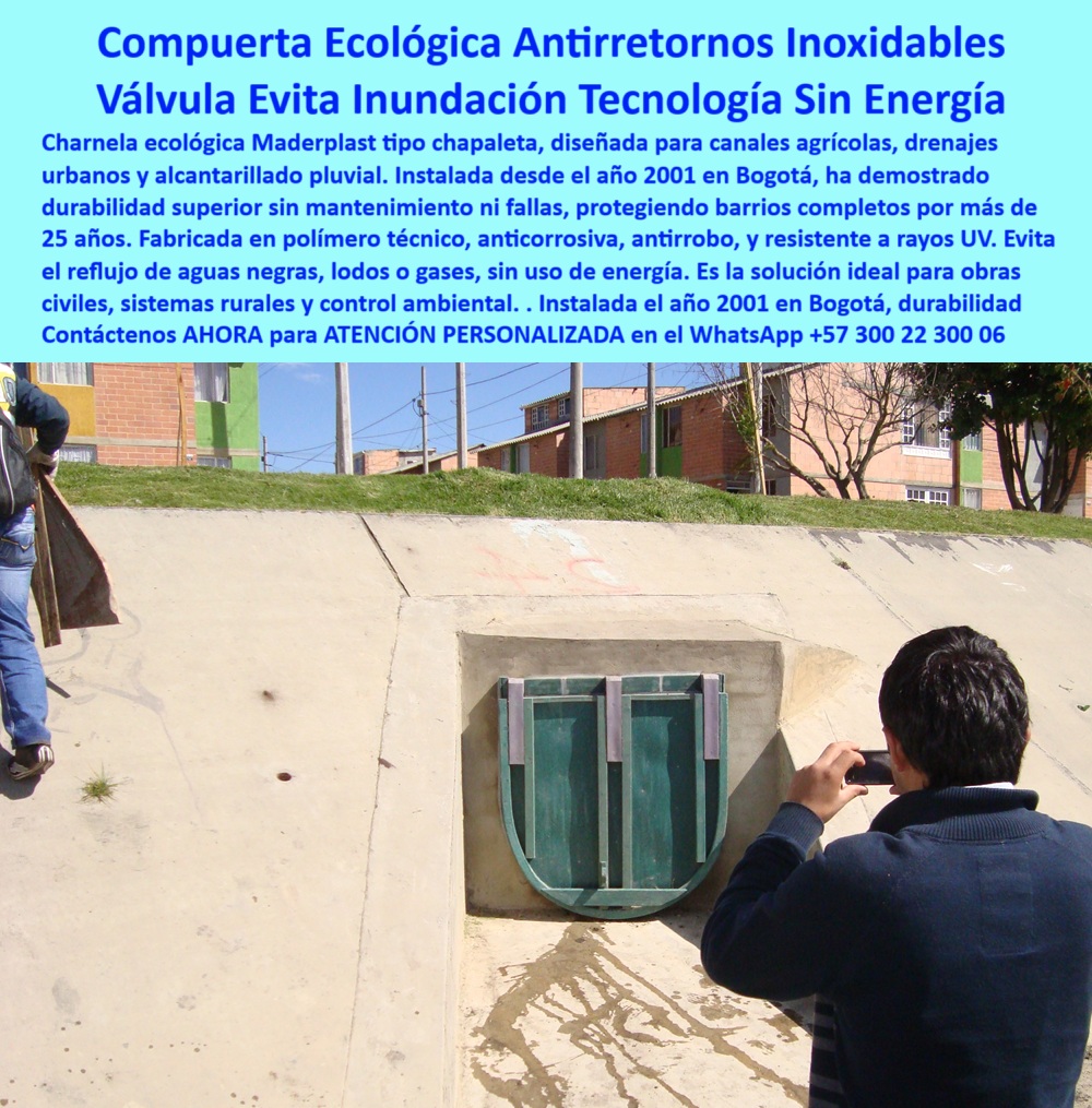 Charnela Para Canales Anti Retorno Instalación Charnelas Anti Inundaciones Maderplast 0 En esta imagen vemos una charnela plástica tipo chapaleta instalada firmemente sobre una alcantarilla urbana en concreto, a plena luz del sol. El entorno residencial, las sombras definidas y la presencia de un transeúnte documentando la estructura con su celular, le dan escala y contexto urbano a esta solución hidráulica. La válvula, verde, plástica, rectangular, sobresale del muro de concreto como testimonio silencioso de su eficacia desde el año 2001. Esta es la charnela 45, instalada en los canales del río Fucha en Bogotá, funcionando sin fallos, sin mantenimiento intensivo, sin necesidad de reemplazo, y lo más importante: evitando el reflujo que por décadas había causado inundaciones en casas, calles y barrios cercanos. - Muchos se preguntan, ¿Qué compuerta me sirve para evitar inundaciones en alcantarillas? Y la respuesta es esta. Esta es la compuerta ecológica de retención definitiva. Esta es la válvula antirretorno sin mantenimiento que se activa automáticamente con el flujo de agua y se cierra por gravedad sin necesidad de energía, de presión adicional ni de intervención humana. Esta es la tapa basculante ecológica en sistema de drenaje agrícola Chapaleta Mar, que ha demostrado en campo lo que ninguna metálica pudo: cero óxido, cero pintura, cero robos, y 25 años de operación continua en una de las zonas más vulnerables al clima de la ciudad. - Charnela Para Canales Anti Retorno Instalación Charnelas Anti Inundaciones Maderplast no es solo un título de catálogo; es una garantía. Una promesa cumplida. La compuerta plástica sin óxido para lluvia que estás viendo está fabricada con polímero técnico anticorrosivo, resistente a los rayos UV, a los gases contaminantes y al paso del tiempo. A diferencia de las metálicas, esta válvula hidráulica antirretorno urbana no se traba, no se contamina, no se suelda ni se cae. Su estructura sin partes metálicas visibles garantiza que no haya chispa, oxidación ni vandalismo. Su forma rectangular, tipo tapa con dos ejes de sujeción, permite que se instale fácilmente en muros de concreto ya existentes. Y sí, esa es una de las grandes preguntas: ¿Dónde instalo compuerta sin mantenimiento? Aquí, en Bogotá, ya lo han hecho. Y con éxito total. - La compuerta anti presión para sistemas pluviales, como esta, evita que las lluvias intensas empujen las aguas negras, lodos o gases de regreso hacia zonas pobladas. ¿Hay válvula hidráulica sin electricidad? Claro que sí. Estás viendo una. Funciona con el empuje del agua, sin motores, sin automatismos frágiles. Su sistema flap se abre unidireccionalmente cuando el canal descarga y se cierra automáticamente al terminar el flujo. Por eso es también la válvula-sin-óxido-urbana por excelencia, compatible con drenajes agrícolas, sistemas pluviales y redes de saneamiento urbano. - ¿Qué compuerta usar para evitar reflujos? ¿Qué tapa evita inundaciones en canales urbanos? ¿Qué charnela sirve para lluvias intensas? ¿Dónde comprar compuerta plástica ecológica? Las respuestas las tienes aquí: Maderplast. Y esta imagen es la prueba viva. Porque esta compuerta-contra-retorno-aguas ha salvado casas, ha evitado desastres y ha demostrado que la innovación no solo está en las palabras, sino en la calle, en el concreto, en el agua que fluye sin volver. - Su diseño funcional no requiere codos, no ocupa espacio adicional y no genera ruido ni turbulencias. Es perfecta para sistemas de riego, alcantarillado pluvial, obras civiles, canales rurales o incluso zonas costeras donde las olas y mareas pueden causar presión inversa. Además, su apariencia discreta se mimetiza con el entorno urbano sin perder su fortaleza estructural. Y ese es otro detalle que no pasa desapercibido: es una charnela que evita retornos en lluvias sin fallar en su discreción. - Cada pieza Maderplast está hecha con visión ecológica, por eso esta válvula ecológica para zonas residenciales también cumple con los requisitos de sostenibilidad. Su ligereza permite instalación rápida, incluso por personal con herramientas manuales. No se necesitan grúas, ni refuerzos estructurales costosos. Su compatibilidad con canales agrícolas, drenajes rurales o pluviales en la ciudad es lo que la convierte en solución universal y definitiva. - Contáctenos AHORA para ATENCIÓN PERSONALIZADA en el WhatsApp +57 300 22 300 06 y reciba acompañamiento directo del equipo técnico de Maderplast. Porque las válvulas que realmente evitan inundaciones no se venden por catálogo: se diseñan con ingeniería, se fabrican con propósito y se instalan con compromiso. Maderplast: tecnología hidráulica que protege. Qué compuerta me sirve para evitar inundaciones en alcantarillas, - Tapa basculante ecológica en sistema de drenaje agrícola chapaleta Mar Charnela Para Canales Anti Retorno Instalación Charnelas Anti Inundaciones Maderplast 0 Qué compuerta me sirve para evitar inundaciones en alcantarillas Tapa basculante ecológica en sistema de drenaje agrícola chapaleta Mar 01 En esta imagen vemos una charnela plástica tipo chapaleta instalada firmemente sobre una alcantarilla urbana en concreto, a plena luz del sol. El entorno residencial, las sombras definidas y la presencia de un transeúnte documentando la estructura con su celular, le dan escala y contexto urbano a esta solución hidráulica. La válvula, verde, plástica, rectangular, sobresale del muro de concreto como testimonio silencioso de su eficacia desde el año 2001. Esta es la charnela 45, instalada en los canales del río Fucha en Bogotá, funcionando sin fallos, sin mantenimiento intensivo, sin necesidad de reemplazo, y lo más importante: evitando el reflujo que por décadas había causado inundaciones en casas, calles y barrios cercanos. - Muchos se preguntan, ¿Qué compuerta me sirve para evitar inundaciones en alcantarillas? Y la respuesta es esta. Esta es la compuerta ecológica de retención definitiva. Esta es la válvula antirretorno sin mantenimiento que se activa automáticamente con el flujo de agua y se cierra por gravedad sin necesidad de energía, de presión adicional ni de intervención humana. Esta es la tapa basculante ecológica en sistema de drenaje agrícola Chapaleta Mar, que ha demostrado en campo lo que ninguna metálica pudo: cero óxido, cero pintura, cero robos, y 25 años de operación continua en una de las zonas más vulnerables al clima de la ciudad. - Charnela Para Canales Anti Retorno Instalación Charnelas Anti Inundaciones Maderplast no es solo un título de catálogo; es una garantía. Una promesa cumplida. La compuerta plástica sin óxido para lluvia que estás viendo está fabricada con polímero técnico anticorrosivo, resistente a los rayos UV, a los gases contaminantes y al paso del tiempo. A diferencia de las metálicas, esta válvula hidráulica antirretorno urbana no se traba, no se contamina, no se suelda ni se cae. Su estructura sin partes metálicas visibles garantiza que no haya chispa, oxidación ni vandalismo. Su forma rectangular, tipo tapa con dos ejes de sujeción, permite que se instale fácilmente en muros de concreto ya existentes. Y sí, esa es una de las grandes preguntas: ¿Dónde instalo compuerta sin mantenimiento? Aquí, en Bogotá, ya lo han hecho. Y con éxito total. - La compuerta anti presión para sistemas pluviales, como esta, evita que las lluvias intensas empujen las aguas negras, lodos o gases de regreso hacia zonas pobladas. ¿Hay válvula hidráulica sin electricidad? Claro que sí. Estás viendo una. Funciona con el empuje del agua, sin motores, sin automatismos frágiles. Su sistema flap se abre unidireccionalmente cuando el canal descarga y se cierra automáticamente al terminar el flujo. Por eso es también la válvula-sin-óxido-urbana por excelencia, compatible con drenajes agrícolas, sistemas pluviales y redes de saneamiento urbano. - ¿Qué compuerta usar para evitar reflujos? ¿Qué tapa evita inundaciones en canales urbanos? ¿Qué charnela sirve para lluvias intensas? ¿Dónde comprar compuerta plástica ecológica? Las respuestas las tienes aquí: Maderplast. Y esta imagen es la prueba viva. Porque esta compuerta-contra-retorno-aguas ha salvado casas, ha evitado desastres y ha demostrado que la innovación no solo está en las palabras, sino en la calle, en el concreto, en el agua que fluye sin volver. - Su diseño funcional no requiere codos, no ocupa espacio adicional y no genera ruido ni turbulencias. Es perfecta para sistemas de riego, alcantarillado pluvial, obras civiles, canales rurales o incluso zonas costeras donde las olas y mareas pueden causar presión inversa. Además, su apariencia discreta se mimetiza con el entorno urbano sin perder su fortaleza estructural. Y ese es otro detalle que no pasa desapercibido: es una charnela que evita retornos en lluvias sin fallar en su discreción. - Cada pieza Maderplast está hecha con visión ecológica, por eso esta válvula ecológica para zonas residenciales también cumple con los requisitos de sostenibilidad. Su ligereza permite instalación rápida, incluso por personal con herramientas manuales. No se necesitan grúas, ni refuerzos estructurales costosos. Su compatibilidad con canales agrícolas, drenajes rurales o pluviales en la ciudad es lo que la convierte en solución universal y definitiva. - Contáctenos AHORA para ATENCIÓN PERSONALIZADA en el WhatsApp +57 300 22 300 06 y reciba acompañamiento directo del equipo técnico de Maderplast. Porque las válvulas que realmente evitan inundaciones no se venden por catálogo: se diseñan con ingeniería, se fabrican con propósito y se instalan con compromiso. Maderplast: tecnología hidráulica que protege. Charnela Para Canales Anti Retorno Instalación Charnelas Anti Inundaciones Maderplast 0 Qué compuerta me sirve para evitar inundaciones en alcantarillas, - Tapa basculante ecológica en sistema de drenaje agrícola chapaleta Mar