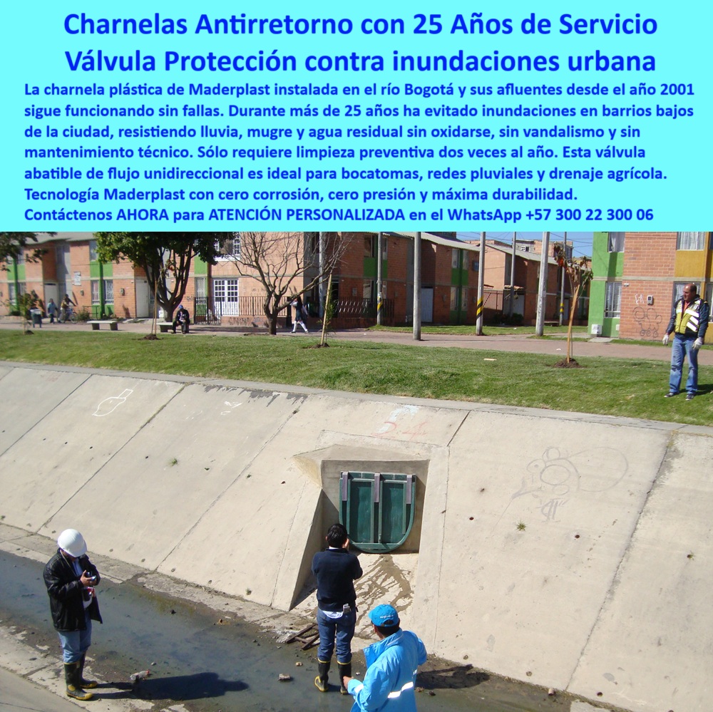 Charnela Para Canales Anti Retorno Instalación Charnelas Anti Inundaciones Maderplast 0 La imagen captura una escena significativa: la charnela número 24, instalada por Maderplast en el año 2001 en un canal pluvial del sur de Bogotá, frente a una comunidad residencial. Esta válvula tipo compuerta abatible forma parte de la histórica red de 125 charnelas implementadas en las salidas del río Fucha y otros afluentes críticos del río Bogotá, como estrategia para erradicar las inundaciones que durante años afectaron los barrios vulnerables de la capital. A más de 25 años de servicio continuo, esta compuerta hidráulica sigue funcionando sin fallas, validando su tecnología como una de las más confiables en el país. - Diseñada específicamente como válvula antirretorno cero corrosión para redes pluviales, esta compuerta de polímero técnico opera sin energía y sin presión adicional. Se activa automáticamente por flujo inverso, cerrándose de forma hermética para evitar el reflujo de aguas lluvias, contaminadas o residuales. El sistema de flujo unidireccional pasivo garantiza que el canal opere libre de obstrucciones, incluso en temporadas de lluvias intensas. Su resistencia a los rayos UV, al agua estancada, al vandalismo urbano, a la mugre y a los residuos flotantes ha sido demostrada con más de dos décadas de funcionamiento ininterrumpido. - La compuerta verde, claramente visible en el canal de concreto, se ha integrado en la infraestructura urbana como parte del entorno del parque, lo que la convierte en una solución técnica silenciosa pero efectiva para proteger comunidades enteras. Es inspeccionada solo dos veces al año: una antes de la temporada de lluvias, y otra al finalizarla. Su bajo mantenimiento, su estructura libre de óxido y su diseño anticorrosivo la posicionan como la solución ideal para bocatomas, canales agrícolas, redes pluviales y drenaje urbano. - Durante más de 25 años, esta charnela antirretorno con 25 años de servicio ha prevenido inundaciones silenciosamente. Ha resistido lluvias torrenciales, flujos mixtos, acumulación de sedimentos y residuos orgánicos, sin requerir intervención técnica compleja. Incluso hoy, su funcionamiento es completamente automático y sigue evitando que las aguas se devuelvan a los barrios, protegiendo vidas, bienes y la infraestructura pública de Bogotá. La válvula número 24 funcionando tras 25 años de uso continuo es evidencia concreta del éxito de la tecnología Maderplast. - Más allá de su función hidráulica, esta compuerta plástica es también una muestra de tecnología urbana sostenible aplicada a la ingeniería hidráulica moderna. Su instalación rápida, su diseño compacto y su activación por presión hidráulica la convierten en una solución versátil que ha sido adoptada tanto en obras civiles como en redes agrícolas y rurales. Este mismo modelo puede aplicarse con éxito en bocatomas rurales, canales de riego, PTAR, sistemas de alcantarillado comunitario y zonas propensas a anegamientos urbanos. - La compuerta abatible drenaje agricultura PTAR es prueba viviente de que un diseño correcto y un material técnico adecuado pueden ofrecer resultados a largo plazo sin necesidad de energía, piezas móviles ni refacciones. Su diseño abatible permite inspección directa por operarios sin herramientas especializadas, lo que facilita su verificación en campo y refuerza la autonomía técnica de los municipios. Bogotá ha sido testigo de cómo estas compuertas cambiaron el panorama urbano de sus zonas más afectadas por el agua. Desde la válvula número 1 hasta esta charnela número 24 instalada en canal, cada una ha cumplido su rol con precisión, sellando el paso del agua cuando era necesario, y permitiendo el flujo normal cuando las condiciones lo exigen. - Si tu proyecto hidráulico —urbano, rural o agrícola— necesita una solución de cierre automático, cero presión, sin mantenimiento y con garantía de más de dos décadas de funcionamiento, esta tecnología no solo es recomendable, es esencial. - Contáctanos ahora a través de WhatsApp +57 300 22 300 06, y accede a ATENCIÓN PERSONALIZADA con respaldo directo del equipo de ingeniería Maderplast. Te asesoramos para seleccionar, instalar y poner en marcha la solución más confiable para tus canales, bocatomas o sistemas pluviales. charnela plástica para bocatomas de canal, - Válvula-Antirretorno-Cero-Corrosión Para redes, - compuerta-abatible-drenaje-agricultura ptar Charnela Para Canales Anti Retorno Instalación Charnelas Anti Inundaciones Maderplast 0 charnela plástica para bocatomas de canal Válvula Antirretorno Cero Corrosión Para redes compuerta abatible drenaje agricultura ptar 01 La imagen captura una escena significativa: la charnela número 24, instalada por Maderplast en el año 2001 en un canal pluvial del sur de Bogotá, frente a una comunidad residencial. Esta válvula tipo compuerta abatible forma parte de la histórica red de 125 charnelas implementadas en las salidas del río Fucha y otros afluentes críticos del río Bogotá, como estrategia para erradicar las inundaciones que durante años afectaron los barrios vulnerables de la capital. A más de 25 años de servicio continuo, esta compuerta hidráulica sigue funcionando sin fallas, validando su tecnología como una de las más confiables en el país. - Diseñada específicamente como válvula antirretorno cero corrosión para redes pluviales, esta compuerta de polímero técnico opera sin energía y sin presión adicional. Se activa automáticamente por flujo inverso, cerrándose de forma hermética para evitar el reflujo de aguas lluvias, contaminadas o residuales. El sistema de flujo unidireccional pasivo garantiza que el canal opere libre de obstrucciones, incluso en temporadas de lluvias intensas. Su resistencia a los rayos UV, al agua estancada, al vandalismo urbano, a la mugre y a los residuos flotantes ha sido demostrada con más de dos décadas de funcionamiento ininterrumpido. - La compuerta verde, claramente visible en el canal de concreto, se ha integrado en la infraestructura urbana como parte del entorno del parque, lo que la convierte en una solución técnica silenciosa pero efectiva para proteger comunidades enteras. Es inspeccionada solo dos veces al año: una antes de la temporada de lluvias, y otra al finalizarla. Su bajo mantenimiento, su estructura libre de óxido y su diseño anticorrosivo la posicionan como la solución ideal para bocatomas, canales agrícolas, redes pluviales y drenaje urbano. - Durante más de 25 años, esta charnela antirretorno con 25 años de servicio ha prevenido inundaciones silenciosamente. Ha resistido lluvias torrenciales, flujos mixtos, acumulación de sedimentos y residuos orgánicos, sin requerir intervención técnica compleja. Incluso hoy, su funcionamiento es completamente automático y sigue evitando que las aguas se devuelvan a los barrios, protegiendo vidas, bienes y la infraestructura pública de Bogotá. La válvula número 24 funcionando tras 25 años de uso continuo es evidencia concreta del éxito de la tecnología Maderplast. - Más allá de su función hidráulica, esta compuerta plástica es también una muestra de tecnología urbana sostenible aplicada a la ingeniería hidráulica moderna. Su instalación rápida, su diseño compacto y su activación por presión hidráulica la convierten en una solución versátil que ha sido adoptada tanto en obras civiles como en redes agrícolas y rurales. Este mismo modelo puede aplicarse con éxito en bocatomas rurales, canales de riego, PTAR, sistemas de alcantarillado comunitario y zonas propensas a anegamientos urbanos. - La compuerta abatible drenaje agricultura PTAR es prueba viviente de que un diseño correcto y un material técnico adecuado pueden ofrecer resultados a largo plazo sin necesidad de energía, piezas móviles ni refacciones. Su diseño abatible permite inspección directa por operarios sin herramientas especializadas, lo que facilita su verificación en campo y refuerza la autonomía técnica de los municipios. Bogotá ha sido testigo de cómo estas compuertas cambiaron el panorama urbano de sus zonas más afectadas por el agua. Desde la válvula número 1 hasta esta charnela número 24 instalada en canal, cada una ha cumplido su rol con precisión, sellando el paso del agua cuando era necesario, y permitiendo el flujo normal cuando las condiciones lo exigen. - Si tu proyecto hidráulico —urbano, rural o agrícola— necesita una solución de cierre automático, cero presión, sin mantenimiento y con garantía de más de dos décadas de funcionamiento, esta tecnología no solo es recomendable, es esencial. - Contáctanos ahora a través de WhatsApp +57 300 22 300 06, y accede a ATENCIÓN PERSONALIZADA con respaldo directo del equipo de ingeniería Maderplast. Te asesoramos para seleccionar, instalar y poner en marcha la solución más confiable para tus canales, bocatomas o sistemas pluviales. Charnela Para Canales Anti Retorno Instalación Charnelas Anti Inundaciones Maderplast 0 charnela plástica para bocatomas de canal, - Válvula-Antirretorno-Cero-Corrosión Para redes, - compuerta-abatible-drenaje-agricultura ptar