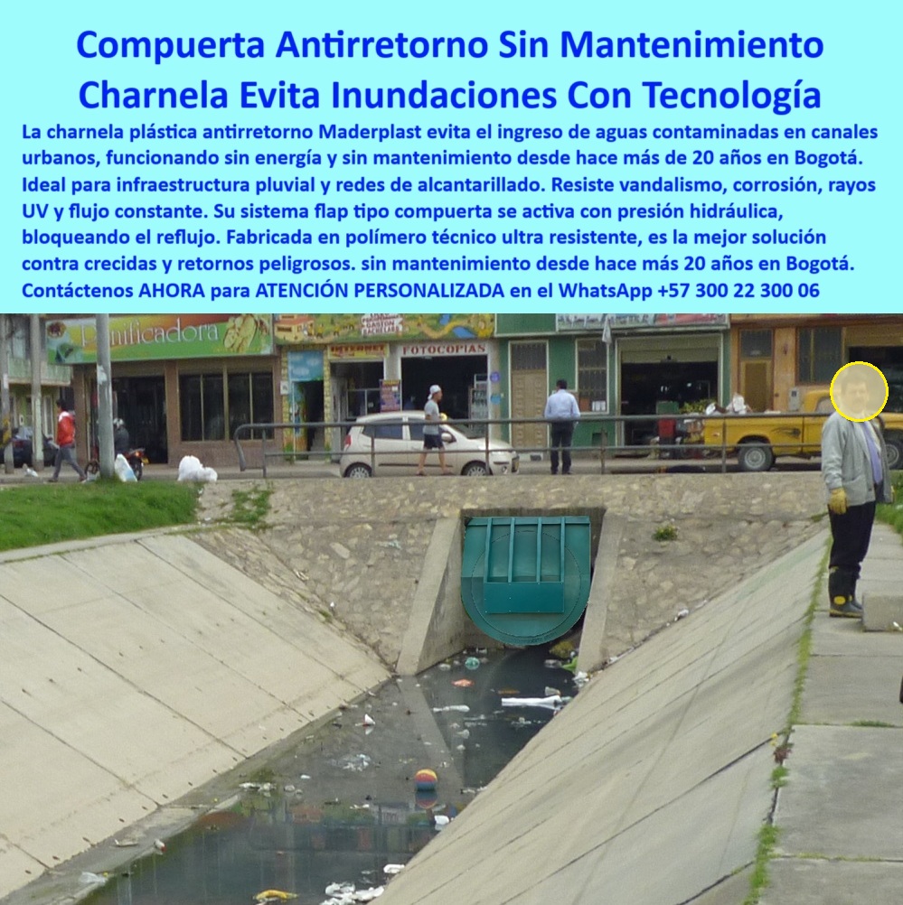 Charnela Para Canales Anti Retorno Instalación Charnelas Anti Inundaciones Maderplast 0 En esta imagen se observa una charnela plástica tipo compuerta hidráulica instalada desde el año 2001 en un canal urbano del río Fucha en Bogotá, exactamente en el punto donde el concreto estructural encauza aguas residuales con alta carga de sólidos y flotantes. A pesar de los años, la compuerta se mantiene intacta, operativa, sellada, sin fallas estructurales ni mecánicas. Su cuerpo de polímero técnico ha resistido más de dos décadas de vandalismo, basura flotante, sedimentos urbanos y rayos UV sin oxidarse ni deteriorarse, lo que valida su ingeniería y posiciona esta charnela plástica sobre canal urbano con flujo residual como una de las más confiables del país. - ¿Qué charnela se instala sin mantenimiento? Esta charnela-pluvial-para-bogotá es la respuesta, pues lleva más de 20 años activa, sin energía, sin atención técnica y sin ser vandalizada, cumpliendo su función antirretorno con total eficiencia. Es una válvula plástica antirretorno para canales urbanos, diseñada para operar por presión hidráulica y cerrar automáticamente sin piezas metálicas expuestas. Gracias a este sistema inteligente de retención, desde que fue instalado, el canal del río Fucha no ha vuelto a inundar las casas ni los barrios aledaños, incluso en temporadas fuertes de lluvias. - ¿Cuál es la mejor tapa para alcantarillas sin energía? Esta compuerta-urbana-ecológica, desarrollada por Maderplast, representa la solución más avanzada, duradera y sostenible para estructuras de drenaje urbano. A diferencia de las válvulas metálicas tradicionales, esta válvula-sin-mantenimiento-hidráulica está fabricada en plástico reforzado, lo que elimina por completo el riesgo de óxido, atascos o robo de partes. La compuerta automática para aguas lluvias funciona incluso en condiciones de basura flotante, gracias a su sistema de sellado hidráulico activado por caudal, lo que permite cerrar en milésimas de segundo apenas hay inversión de presión. - ¿Cómo evitar reflujo en canales del barrio? La respuesta está en instalar una compuerta hidráulica para prevención de inundaciones como esta de la imagen, que no solo protege viviendas sino que también optimiza la operación de los sistemas pluviales. Su forma circular, su bisagra superior y su funcionamiento silencioso hacen de esta tapa hidráulica sin mantenimiento para canal urbano un componente clave de la infraestructura urbana de retención para evitar retornos en momentos de crecidas, emergencias sanitarias o saturaciones por lluvia. - La válvula plástica de retención en estructura hidráulica que aquí se aprecia se ha convertido en modelo de referencia técnica para control-de-aguas-lluvias-ciudad, especialmente porque su diseño tipo válvula clapeta para canales urbanos no requiere grúas, ni excavaciones mayores para su instalación. Esta charnela plástica para canales del río Fucha ha sido replicada por alcaldías, contratistas y organismos de saneamiento que buscan una solución-contra-reflujo-urbano libre de mantenimiento, económica y robusta. Su comportamiento sigue siendo impecable: evita que las aguas del canal regresen a los barrios, sin importar si el caudal baja repentinamente o si colapsa alguna tubería aguas abajo. - ¿Qué válvula sirve para prevenir inundaciones urbanas? Esta misma, la válvula hidráulica urbana contra reboses, cuya instalación directa sobre concreto garantiza eficiencia operativa y cero intervención posterior. En la imagen también puede observarse cómo el canal recoge residuos urbanos, lo que no afecta el desempeño de esta válvula plástica para aguas lluvias, gracias a su diseño sin ángulos muertos, que impide obstrucciones. - Maderplast ha demostrado con esta compuerta plástica urbana instalada en canal concreto que es posible controlar el reflujo en zonas de alto tráfico, alta contaminación y sin mantenimiento continuo. Por eso, hoy, esta misma válvula-plástica-para-canal es usada también en otras ciudades del país donde el vandalismo y las lluvias extremas ponen a prueba la ingeniería civil. - ¿Dónde consigo compuerta plástica para canales? Solo con Maderplast, el fabricante que diseñó, desarrolló e instaló esta solución técnica hace más de dos décadas y que hoy sigue funcionando igual que el primer día. Esta es la compuerta de control para aguas lluvias, la misma que ha protegido hogares y redes de alcantarillado sin exigir un solo repuesto, sin energía, sin supervisión. - Contáctenos AHORA para ATENCIÓN PERSONALIZADA en el WhatsApp +57 300 22 300 06 y reciba asesoría directa del equipo técnico de Maderplast. - Confíe en tecnología que ya ha probado su valor: compuertas que funcionan por décadas, sin fallos, sin mantenimiento, sin excusas compuerta-urbana-ecológica, - válvula plástica de retención en estructura hidráulica, - válvula plástica para aguas lluvias, válvula Ptar Charnela Para Canales Anti Retorno Instalación Charnelas Anti Inundaciones Maderplast 0 compuerta urbana ecológica válvula plástica de retención en estructura hidráulica válvula plástica para aguas lluvias válvula Ptar 01 En esta imagen se observa una charnela plástica tipo compuerta hidráulica instalada desde el año 2001 en un canal urbano del río Fucha en Bogotá, exactamente en el punto donde el concreto estructural encauza aguas residuales con alta carga de sólidos y flotantes. A pesar de los años, la compuerta se mantiene intacta, operativa, sellada, sin fallas estructurales ni mecánicas. Su cuerpo de polímero técnico ha resistido más de dos décadas de vandalismo, basura flotante, sedimentos urbanos y rayos UV sin oxidarse ni deteriorarse, lo que valida su ingeniería y posiciona esta charnela plástica sobre canal urbano con flujo residual como una de las más confiables del país. - ¿Qué charnela se instala sin mantenimiento? Esta charnela-pluvial-para-bogotá es la respuesta, pues lleva más de 20 años activa, sin energía, sin atención técnica y sin ser vandalizada, cumpliendo su función antirretorno con total eficiencia. Es una válvula plástica antirretorno para canales urbanos, diseñada para operar por presión hidráulica y cerrar automáticamente sin piezas metálicas expuestas. Gracias a este sistema inteligente de retención, desde que fue instalado, el canal del río Fucha no ha vuelto a inundar las casas ni los barrios aledaños, incluso en temporadas fuertes de lluvias. - ¿Cuál es la mejor tapa para alcantarillas sin energía? Esta compuerta-urbana-ecológica, desarrollada por Maderplast, representa la solución más avanzada, duradera y sostenible para estructuras de drenaje urbano. A diferencia de las válvulas metálicas tradicionales, esta válvula-sin-mantenimiento-hidráulica está fabricada en plástico reforzado, lo que elimina por completo el riesgo de óxido, atascos o robo de partes. La compuerta automática para aguas lluvias funciona incluso en condiciones de basura flotante, gracias a su sistema de sellado hidráulico activado por caudal, lo que permite cerrar en milésimas de segundo apenas hay inversión de presión. - ¿Cómo evitar reflujo en canales del barrio? La respuesta está en instalar una compuerta hidráulica para prevención de inundaciones como esta de la imagen, que no solo protege viviendas sino que también optimiza la operación de los sistemas pluviales. Su forma circular, su bisagra superior y su funcionamiento silencioso hacen de esta tapa hidráulica sin mantenimiento para canal urbano un componente clave de la infraestructura urbana de retención para evitar retornos en momentos de crecidas, emergencias sanitarias o saturaciones por lluvia. - La válvula plástica de retención en estructura hidráulica que aquí se aprecia se ha convertido en modelo de referencia técnica para control-de-aguas-lluvias-ciudad, especialmente porque su diseño tipo válvula clapeta para canales urbanos no requiere grúas, ni excavaciones mayores para su instalación. Esta charnela plástica para canales del río Fucha ha sido replicada por alcaldías, contratistas y organismos de saneamiento que buscan una solución-contra-reflujo-urbano libre de mantenimiento, económica y robusta. Su comportamiento sigue siendo impecable: evita que las aguas del canal regresen a los barrios, sin importar si el caudal baja repentinamente o si colapsa alguna tubería aguas abajo. - ¿Qué válvula sirve para prevenir inundaciones urbanas? Esta misma, la válvula hidráulica urbana contra reboses, cuya instalación directa sobre concreto garantiza eficiencia operativa y cero intervención posterior. En la imagen también puede observarse cómo el canal recoge residuos urbanos, lo que no afecta el desempeño de esta válvula plástica para aguas lluvias, gracias a su diseño sin ángulos muertos, que impide obstrucciones. - Maderplast ha demostrado con esta compuerta plástica urbana instalada en canal concreto que es posible controlar el reflujo en zonas de alto tráfico, alta contaminación y sin mantenimiento continuo. Por eso, hoy, esta misma válvula-plástica-para-canal es usada también en otras ciudades del país donde el vandalismo y las lluvias extremas ponen a prueba la ingeniería civil. - ¿Dónde consigo compuerta plástica para canales? Solo con Maderplast, el fabricante que diseñó, desarrolló e instaló esta solución técnica hace más de dos décadas y que hoy sigue funcionando igual que el primer día. Esta es la compuerta de control para aguas lluvias, la misma que ha protegido hogares y redes de alcantarillado sin exigir un solo repuesto, sin energía, sin supervisión. - Contáctenos AHORA para ATENCIÓN PERSONALIZADA en el WhatsApp +57 300 22 300 06 y reciba asesoría directa del equipo técnico de Maderplast. - Confíe en tecnología que ya ha probado su valor: compuertas que funcionan por décadas, sin fallos, sin mantenimiento, sin excusas Charnela Para Canales Anti Retorno Instalación Charnelas Anti Inundaciones Maderplast 0 compuerta-urbana-ecológica, - válvula plástica de retención en estructura hidráulica, - válvula plástica para aguas lluvias, válvula Ptar