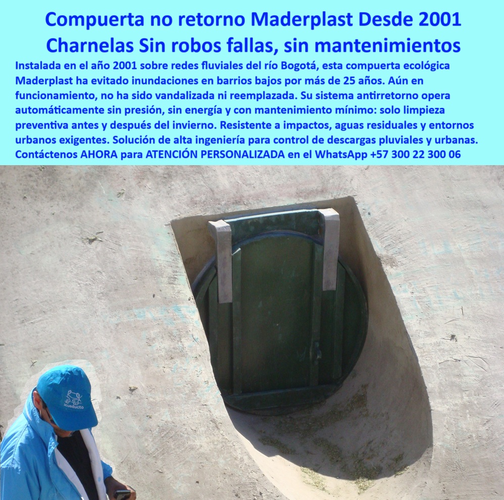 Charnela Para Canales Anti Retorno Instalación Charnelas Anti Inundaciones Maderplast 0 La imagen muestra la charnela número 30 instalada en el río Fucha y canales de Bogotá desde el año 2001, una obra de ingeniería ejemplar que, aún hoy, sigue operativa con mínimo de mantenimientos antes de las lluvias y las inundaciones del canal, y que desde su instalación ha evitado que el río Fucha vuelva a inundar las casas y los barrios aledaños por devolución de agua. Las charnelas Maderplast no solo han demostrado ser funcionales, sino que son la solución definitiva. - Esta charnela para canales anti retorno es una compuerta ecológica para control de descargas urbanas, parte de un sistema antirretorno de agua con compuerta hidráulica automatizada. Está completamente integrada en un canal de concreto curvo, operando de forma autónoma, gracias a su diseño que permite apertura y cierre sin energía, sin presión y sin mantenimiento intensivo. - Esta compuerta plástica canal fluvial Bogotá ha operado más de 25 años sin ser vandalizada, sin necesitar reemplazos y siempre con cierre hermético en sentido contrario al flujo, incluso en tormentas. Es una verdadera compuerta hidráulica activa de más de 20 años, fabricada con polímero técnico que la hace resistente a impactos, corrosión, rayos UV y condiciones urbanas agresivas. Se comporta como una compuerta ecológica para desagüe urbano, evitando el reflujo que provoca inundaciones, especialmente en barrios bajos. - Por sus características, es reconocida como charnela antirretorno sin mantenimiento, charnela duradera sin oxidación, válvula redonda antirretorno concreto, y forma parte esencial de un sistema de control de retorno fluvial. No solo es una compuerta eficiente contra reflujo urbano, también es una compuerta sin mantenimiento intensivo que funciona como compuerta automática para drenajes. - Maderplast ofrece esta tecnología como parte de un sistema hidráulico-pluvial y responde claramente a la pregunta: ¿Qué compuerta evita reflujo en lluvias urbanas? Esta es una charnela-antireflujo-urbano comprobada. Funciona como válvula de control para caudal urbano, instalada incluso en pendiente canal fluvial como se ve en esta imagen. - La compuerta compacta sin fallos que aquí se observa también es una compuerta sin mantenimiento desde 2001, una charnela hidráulica autosellante, con desempeño sobresaliente como compuerta verde en canal urbano curvo de concreto, y compuerta-hidráulica-antioxidante con sello hermético. Es la mejor opción cuando se busca una compuerta contra rebose en barrios bajos, una tapa ecológica para canalización urbana, o una compuerta contra inundaciones en canales. - Su funcionalidad la define como una tapa antirretorno con mínima intervención, ideal para canal con tapa plástica sellada hidráulicamente, y para quienes se preguntan ¿Dónde compro válvulas antirretorno duraderas?, aquí está la respuesta. Maderplast fabrica esta válvula inteligente para canales pluviales, pensada para ser una charnela hidráulica urbana sin presión, una válvula plástica para control pluvial, y ¿Qué tapa hidráulica sirve sin energía ni presión?, esta. - Además, es perfecta como compuerta para redes fluviales urbanas, como parte de una solución plástica para zonas inundables, una válvula de control pluvial antigua pero funcional, una válvula-para-canal-fluvial, una compuerta-antirretorno-sin-presión, y una compuerta antirretorno antigua en operación. Y lo mejor, sigue siendo una compuerta plástica fluvial sin fugas, una compuerta de alcantarillado eficiente, una tapa-plástica-sin-fugas, y para quienes se preguntan ¿Cómo prevenir inundaciones con compuerta?, esta imagen lo responde todo. - En resumen, esta es la válvula ideal para cualquier sistema antirretorno para lluvias intensas, válvula de drenaje urbano resistente, y si te preguntas ¿Cuál es la mejor compuerta plástica para canales?, la respuesta está aquí: Maderplast. - Contáctenos AHORA para ATENCIÓN PERSONALIZADA en el WhatsApp +57 300 22 300 06 y reciba asesoría directa del equipo de ingeniería Maderplast. compuerta ecológica para control de descargas urbanas, - sistema antirretorno de agua con compuerta hidráulica automatizada Charnela Canal Charnela Para Canales Anti Retorno Instalación Charnelas Anti Inundaciones Maderplast 0 compuerta ecológica para control de descargas urbanas sistema antirretorno de agua con compuerta hidráulica automatizada Charnela Canal 01 La imagen muestra la charnela número 30 instalada en el río Fucha y canales de Bogotá desde el año 2001, una obra de ingeniería ejemplar que, aún hoy, sigue operativa con mínimo de mantenimientos antes de las lluvias y las inundaciones del canal, y que desde su instalación ha evitado que el río Fucha vuelva a inundar las casas y los barrios aledaños por devolución de agua. Las charnelas Maderplast no solo han demostrado ser funcionales, sino que son la solución definitiva. - Esta charnela para canales anti retorno es una compuerta ecológica para control de descargas urbanas, parte de un sistema antirretorno de agua con compuerta hidráulica automatizada. Está completamente integrada en un canal de concreto curvo, operando de forma autónoma, gracias a su diseño que permite apertura y cierre sin energía, sin presión y sin mantenimiento intensivo. - Esta compuerta plástica canal fluvial Bogotá ha operado más de 25 años sin ser vandalizada, sin necesitar reemplazos y siempre con cierre hermético en sentido contrario al flujo, incluso en tormentas. Es una verdadera compuerta hidráulica activa de más de 20 años, fabricada con polímero técnico que la hace resistente a impactos, corrosión, rayos UV y condiciones urbanas agresivas. Se comporta como una compuerta ecológica para desagüe urbano, evitando el reflujo que provoca inundaciones, especialmente en barrios bajos. - Por sus características, es reconocida como charnela antirretorno sin mantenimiento, charnela duradera sin oxidación, válvula redonda antirretorno concreto, y forma parte esencial de un sistema de control de retorno fluvial. No solo es una compuerta eficiente contra reflujo urbano, también es una compuerta sin mantenimiento intensivo que funciona como compuerta automática para drenajes. - Maderplast ofrece esta tecnología como parte de un sistema hidráulico-pluvial y responde claramente a la pregunta: ¿Qué compuerta evita reflujo en lluvias urbanas? Esta es una charnela-antireflujo-urbano comprobada. Funciona como válvula de control para caudal urbano, instalada incluso en pendiente canal fluvial como se ve en esta imagen. - La compuerta compacta sin fallos que aquí se observa también es una compuerta sin mantenimiento desde 2001, una charnela hidráulica autosellante, con desempeño sobresaliente como compuerta verde en canal urbano curvo de concreto, y compuerta-hidráulica-antioxidante con sello hermético. Es la mejor opción cuando se busca una compuerta contra rebose en barrios bajos, una tapa ecológica para canalización urbana, o una compuerta contra inundaciones en canales. - Su funcionalidad la define como una tapa antirretorno con mínima intervención, ideal para canal con tapa plástica sellada hidráulicamente, y para quienes se preguntan ¿Dónde compro válvulas antirretorno duraderas?, aquí está la respuesta. Maderplast fabrica esta válvula inteligente para canales pluviales, pensada para ser una charnela hidráulica urbana sin presión, una válvula plástica para control pluvial, y ¿Qué tapa hidráulica sirve sin energía ni presión?, esta. - Además, es perfecta como compuerta para redes fluviales urbanas, como parte de una solución plástica para zonas inundables, una válvula de control pluvial antigua pero funcional, una válvula-para-canal-fluvial, una compuerta-antirretorno-sin-presión, y una compuerta antirretorno antigua en operación. Y lo mejor, sigue siendo una compuerta plástica fluvial sin fugas, una compuerta de alcantarillado eficiente, una tapa-plástica-sin-fugas, y para quienes se preguntan ¿Cómo prevenir inundaciones con compuerta?, esta imagen lo responde todo. - En resumen, esta es la válvula ideal para cualquier sistema antirretorno para lluvias intensas, válvula de drenaje urbano resistente, y si te preguntas ¿Cuál es la mejor compuerta plástica para canales?, la respuesta está aquí: Maderplast. - Contáctenos AHORA para ATENCIÓN PERSONALIZADA en el WhatsApp +57 300 22 300 06 y reciba asesoría directa del equipo de ingeniería Maderplast. Charnela Para Canales Anti Retorno Instalación Charnelas Anti Inundaciones Maderplast 0 compuerta ecológica para control de descargas urbanas, - sistema antirretorno de agua con compuerta hidráulica automatizada Charnela Canal