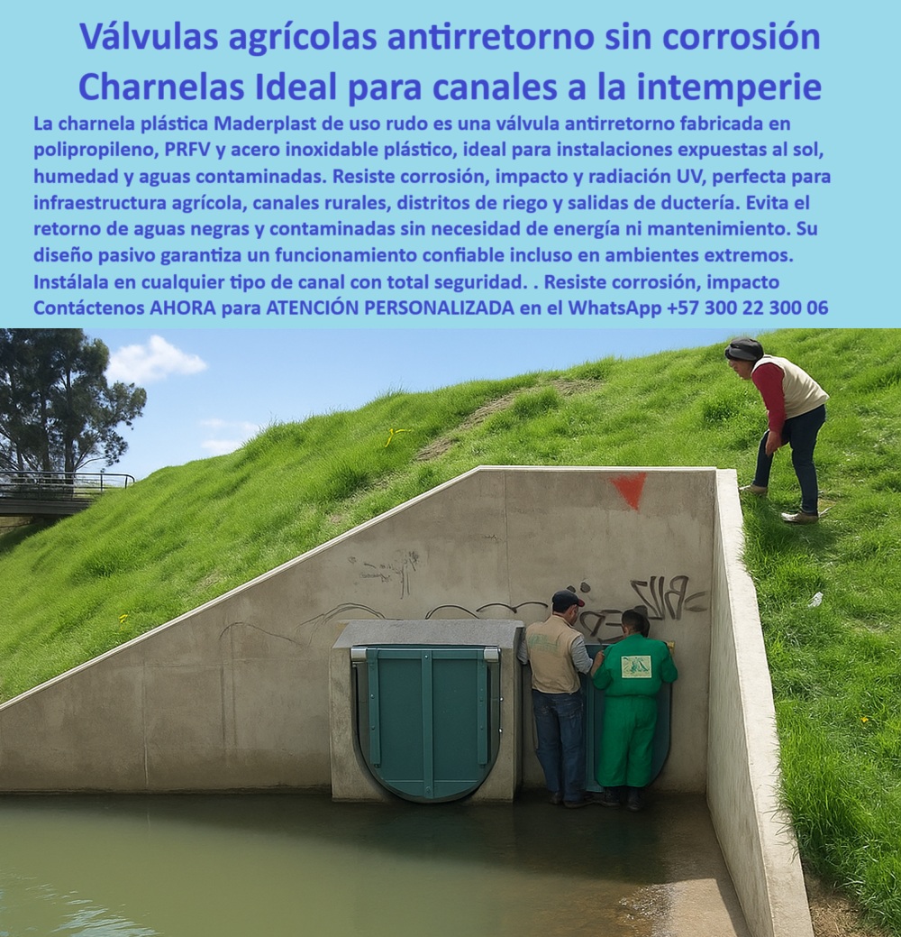 Charnela Válvula Antirretorno Salida Canal Cabezal De Cierre Hidráulico Maderplast 0 La imagen muestra la Válvula Agrícola Antirretorno Maderplast sin Corrosión, una solución técnica de alto rendimiento para proteger canales expuestos a condiciones severas. Esta charnela plástica de uso rudo, desarrollada por Maderplast, ha sido diseñada para enfrentar los retos reales de la infraestructura agrícola, especialmente en canales rurales, distritos de riego y salidas de ductería. Su construcción en polipropileno, PRFV y acero inoxidable plástico la convierte en una válvula indestructible ante la radiación UV, impactos físicos, humedad, sol directo y aguas contaminadas. - Esta charnela resistente al sol para infraestructura agrícola funciona con un diseño pasivo confiable, sin necesidad de energía eléctrica, sin mantenimiento y con una durabilidad comprobada incluso en los entornos más hostiles. ¿Te preguntas cómo evitar el retorno de aguas contaminadas en instalaciones expuestas? Aquí tienes la solución: una válvula de cierre hidráulico, anticorrosiva y efectiva, que garantiza prevención de reflujos eficiente, incluso frente a aguas negras o efluentes altamente agresivos. - Muchos técnicos, agricultores e ingenieros buscan hoy una solución específica:, - ¿Qué válvula antirretorno agrícola no se corroe a la intemperie?, - ¿Dónde encuentro compuertas para canales de riego expuestas a aguas contaminadas?, - ¿Cómo evitar el retorno de aguas negras sin energía ni mantenimiento?, - La respuesta es clara: Maderplast, con su charnela plástica de uso rudo hidráulica, pone en tus manos una compuerta agrícola diseñada para ser instalada con total seguridad en cualquier tipo de canal, soportando el paso del tiempo y las condiciones extremas. - Esta válvula tipo charnela es ideal para quienes trabajan en canales de riego por gravedad, sistemas de drenaje agrícola o zonas expuestas a aguas contaminadas, porque combina eficiencia operativa, fiabilidad técnica y resistencia total. De hecho, muchos profesionales preguntan:, - ¿Cuál es la mejor charnela para infraestructura agrícola y salidas de ductería?, - ¿Necesito una charnela plástica de uso rudo para ambientes extremos, cuál es?, - La respuesta es esta: una charnela para cabezal de canal, tipo compuerta, sin piezas móviles que se desgasten, que actúa con la presión del flujo y se mantiene operativa sin mantenimiento preventivo. Este nivel de rendimiento la hace perfecta para quienes buscan durabilidad en ambientes hostiles, control efectivo de efluentes, y sobre todo una inversión que se paga sola por su larga vida útil sin fallos. - Ya no se trata de promesas, sino de hechos comprobados. La instalación en cualquier tipo de canal es segura y el resultado es visible: sin necesidad de energía ni mantenimiento, esta válvula evita el retorno de aguas negras contaminadas con total eficacia. Y lo hace con una resistencia superior a la corrosión, impacto, sol y humedad. - Esta es la solución anticorrosiva para intemperie más confiable del mercado, diseñada para responder al llamado de quienes enfrentan cada día los retos del campo, del agua y del clima. Maderplast es quien la fabrica, quien la respalda y quien la pone al servicio de los sistemas agrícolas que necesitan continuidad operativa y sostenibilidad real. - Bajo términos como:, - Válvula agrícola antirretorno, - Charnela-plástica-uso-rudo, - Protección-UV-antirretorno, - Charnelas-Canales-Intemperie, - Plástico-uso-rudo-hidráulica, - Diseño-pasivo-confiable, - Sin-energía-mantenimiento, - Resistencia-corrosión-impacto, - Infraestructura-agrícola-duradera, - Retorno-aguas-contaminadas-prevención, - esta tecnología está posicionando a Maderplast como el referente técnico de la región. - Entonces, si te preguntas ¿Cómo evitar el retorno de aguas contaminadas PP Mar? ¿O buscas una solución que no te falle con el tiempo? Aquí tienes la solución y el fabricante: Maderplast, con su charnela plástica de alto desempeño.charnela resistente al sol para infraestructura agrícola, - Charnela-Plástica-Uso-Rudo, - Cómo evitar el retorno de aguas contaminadas PP Mar Charnela Válvula Antirretorno Salida Canal Cabezal De Cierre Hidráulico Maderplast 0 charnela resistente al sol para infraestructura agrícola Charnela Plástica Uso Rudo Cómo evitar el retorno de aguas contaminadas PP Mar 01 La imagen muestra la Válvula Agrícola Antirretorno Maderplast sin Corrosión, una solución técnica de alto rendimiento para proteger canales expuestos a condiciones severas. Esta charnela plástica de uso rudo, desarrollada por Maderplast, ha sido diseñada para enfrentar los retos reales de la infraestructura agrícola, especialmente en canales rurales, distritos de riego y salidas de ductería. Su construcción en polipropileno, PRFV y acero inoxidable plástico la convierte en una válvula indestructible ante la radiación UV, impactos físicos, humedad, sol directo y aguas contaminadas. - Esta charnela resistente al sol para infraestructura agrícola funciona con un diseño pasivo confiable, sin necesidad de energía eléctrica, sin mantenimiento y con una durabilidad comprobada incluso en los entornos más hostiles. ¿Te preguntas cómo evitar el retorno de aguas contaminadas en instalaciones expuestas? Aquí tienes la solución: una válvula de cierre hidráulico, anticorrosiva y efectiva, que garantiza prevención de reflujos eficiente, incluso frente a aguas negras o efluentes altamente agresivos. - Muchos técnicos, agricultores e ingenieros buscan hoy una solución específica:, - ¿Qué válvula antirretorno agrícola no se corroe a la intemperie?, - ¿Dónde encuentro compuertas para canales de riego expuestas a aguas contaminadas?, - ¿Cómo evitar el retorno de aguas negras sin energía ni mantenimiento?, - La respuesta es clara: Maderplast, con su charnela plástica de uso rudo hidráulica, pone en tus manos una compuerta agrícola diseñada para ser instalada con total seguridad en cualquier tipo de canal, soportando el paso del tiempo y las condiciones extremas. - Esta válvula tipo charnela es ideal para quienes trabajan en canales de riego por gravedad, sistemas de drenaje agrícola o zonas expuestas a aguas contaminadas, porque combina eficiencia operativa, fiabilidad técnica y resistencia total. De hecho, muchos profesionales preguntan:, - ¿Cuál es la mejor charnela para infraestructura agrícola y salidas de ductería?, - ¿Necesito una charnela plástica de uso rudo para ambientes extremos, cuál es?, - La respuesta es esta: una charnela para cabezal de canal, tipo compuerta, sin piezas móviles que se desgasten, que actúa con la presión del flujo y se mantiene operativa sin mantenimiento preventivo. Este nivel de rendimiento la hace perfecta para quienes buscan durabilidad en ambientes hostiles, control efectivo de efluentes, y sobre todo una inversión que se paga sola por su larga vida útil sin fallos. - Ya no se trata de promesas, sino de hechos comprobados. La instalación en cualquier tipo de canal es segura y el resultado es visible: sin necesidad de energía ni mantenimiento, esta válvula evita el retorno de aguas negras contaminadas con total eficacia. Y lo hace con una resistencia superior a la corrosión, impacto, sol y humedad. - Esta es la solución anticorrosiva para intemperie más confiable del mercado, diseñada para responder al llamado de quienes enfrentan cada día los retos del campo, del agua y del clima. Maderplast es quien la fabrica, quien la respalda y quien la pone al servicio de los sistemas agrícolas que necesitan continuidad operativa y sostenibilidad real. - Bajo términos como:, - Válvula agrícola antirretorno, - Charnela-plástica-uso-rudo, - Protección-UV-antirretorno, - Charnelas-Canales-Intemperie, - Plástico-uso-rudo-hidráulica, - Diseño-pasivo-confiable, - Sin-energía-mantenimiento, - Resistencia-corrosión-impacto, - Infraestructura-agrícola-duradera, - Retorno-aguas-contaminadas-prevención, - esta tecnología está posicionando a Maderplast como el referente técnico de la región. - Entonces, si te preguntas ¿Cómo evitar el retorno de aguas contaminadas PP Mar? ¿O buscas una solución que no te falle con el tiempo? Aquí tienes la solución y el fabricante: Maderplast, con su charnela plástica de alto desempeño. Charnela Válvula Antirretorno Salida Canal Cabezal De Cierre Hidráulico Maderplast 0 charnela resistente al sol para infraestructura agrícola, - Charnela-Plástica-Uso-Rudo, - Cómo evitar el retorno de aguas contaminadas PP Mar