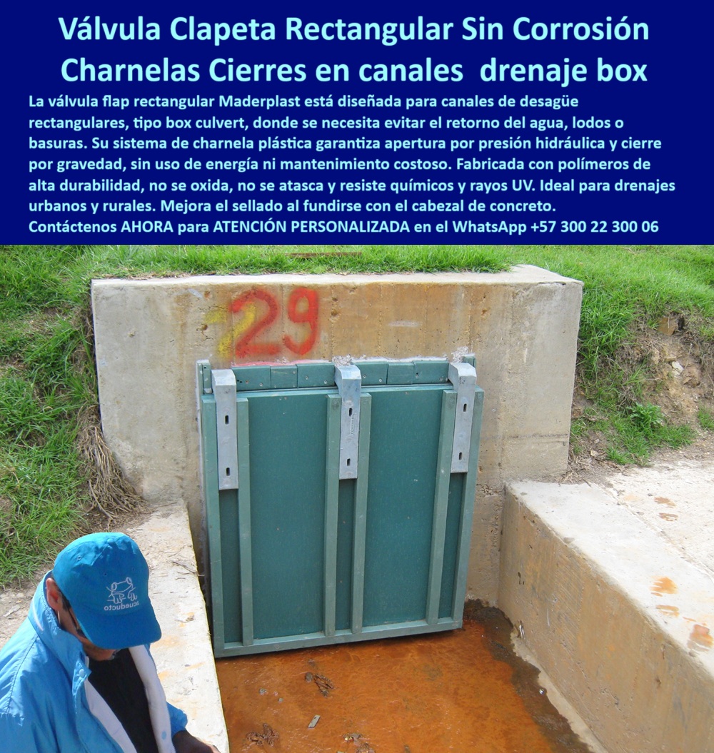 Charnela Válvula Retención Rectangular Anti Retorno Instalación Válvula Flap Maderplast 0 En la imagen se aprecia una compuerta rectangular hidráulica de drenaje tipo charnela plástica, instalada en un canal urbano tipo box culvert construido en concreto, y claramente marcada con el número 29. Esta estructura forma parte de la red del río Fucha en Bogotá, donde fue instalada en el año 2001 como parte de un sistema de prevención de inundaciones. A la fecha, más de dos décadas después, la compuerta hidráulica rectangular continúa operativa con mínimo mantenimiento, demostrando su efectividad incluso en temporadas de lluvias intensas. El canal presenta residuos ferruginosos propios del contacto con aguas contaminadas, lo que hace aún más evidente la importancia de que esta válvula clapeta rectangular para canales esté fabricada completamente en polímero técnico resistente a la corrosión, sin metal expuesto, sin partes oxidadas y sin deformaciones visibles. A la izquierda de la escena, un funcionario de acueducto verifica visualmente su correcto funcionamiento, sin necesidad de herramientas ni intervención mecánica. - Esta solución Maderplast se ha convertido en un estándar de referencia en el sector de obras públicas, precisamente porque su diseño está pensado para operar sin energía, sin presión adicional y sin asistencia externa. Al estar construida con materiales poliméricos de alta ingeniería, esta válvula hidráulica tipo compuerta rectangular se funde visual y funcionalmente con la infraestructura en concreto, ofreciendo un cierre hermético por gravedad que responde únicamente al flujo hidráulico. Cuando el agua baja, la tapa permanece abierta; cuando sube el nivel, la charnela hidráulica tipo flap rectangular se activa de forma automática y sella el canal, evitando el retorno del caudal contaminado hacia las zonas residenciales. Esta operación pasiva convierte a la compuerta de retención para alcantarillado en una defensa confiable contra reboses e inundaciones. - El éxito comprobado de esta compuerta-clapeta-drenaje se basa no solo en su funcionalidad, sino en su adaptabilidad a canales contaminados urbanos, su capacidad de soportar químicos, rayos UV, presión variable y sedimentos agresivos, y sobre todo, en que no requiere energía ni mantenimiento constante. Esa combinación de beneficios reales la posiciona como una solución líder entre todas las opciones disponibles para zonas con riesgos hidráulicos. - La válvula-flap-plástica-duradera instalada en esta obra responde directamente a las necesidades técnicas que plantean los entornos urbanos con alto flujo de aguas negras, residuos industriales o lluvias frecuentes. Donde otras válvulas metálicas fallan por oxidación, fricción, desgaste o vandalismo, esta tapa de clapeta para control de desagüe resiste sin romperse, sin pegarse y sin bloquearse, lo que representa un ahorro operativo a largo plazo para las empresas de acueducto, alcaldías y plantas de tratamiento. Su forma rectangular y liviana facilita el ajuste con el cabezal de concreto en canales tipo box, permitiendo sellos efectivos sin necesidad de siliconas ni empaques complejos. - Desde su instalación en el canal 29 del río Fucha, esta válvula hidráulica sin mantenimiento constante ha protegido casas y barrios enteros de retornos de agua, demostrando que el verdadero control hidráulico no se basa en complejidad, sino en la eficiencia de lo simple. La tapa hidráulica tipo box culvert sin óxido de Maderplast no solo evita el reflujo, sino que elimina el riesgo estructural por presión inversa. Es la alternativa definitiva cuando se trata de canales urbanos contaminados, vertimientos PTAR, o estructuras expuestas al deterioro ambiental. La compuerta-acceso-vertimiento Ptar, en este caso, representa una inversión inteligente que previene emergencias, mejora la salud pública y alarga la vida útil de la infraestructura. - Quienes se preguntan qué válvula evita inundaciones urbanas sin presión y sin energía, encuentran la respuesta en esta misma imagen: la compuerta rectangular verde instalada en concreto, fabricada por Maderplast, demuestra por sí sola que el futuro de las obras hidráulicas no está en las soluciones metálicas del pasado, sino en la tecnología de polímeros técnicos resistentes a químicos, sin óxido, sin partes móviles complejas y con sello hidráulico automático. - Maderplast no solo vende compuertas: entrega confianza estructural, transforma el comportamiento hidráulico de los canales urbanos y lo hace con productos probados, diseñados con ingeniería colombiana y respaldo técnico personalizado. La compuerta-hidráulica-compacta-de-drenaje tipo charnela, como la que vemos aquí, cambia la historia de los barrios vulnerables a las lluvias, porque protege con hechos, no promesas Tapa de clapeta para control de desagüe, compuerta-clapeta-drenaje, - válvula-flap-plástica-duradera, compuerta-acceso-vertimiento Ptar Charnela Válvula Retención Rectangular Anti Retorno Instalación Válvula Flap Maderplast 0 Tapa de clapeta para control de desagüe compuerta clapeta drenaje válvula flap plástica duradera compuerta acceso vertimiento Ptar 01 En la imagen se aprecia una compuerta rectangular hidráulica de drenaje tipo charnela plástica, instalada en un canal urbano tipo box culvert construido en concreto, y claramente marcada con el número 29. Esta estructura forma parte de la red del río Fucha en Bogotá, donde fue instalada en el año 2001 como parte de un sistema de prevención de inundaciones. A la fecha, más de dos décadas después, la compuerta hidráulica rectangular continúa operativa con mínimo mantenimiento, demostrando su efectividad incluso en temporadas de lluvias intensas. El canal presenta residuos ferruginosos propios del contacto con aguas contaminadas, lo que hace aún más evidente la importancia de que esta válvula clapeta rectangular para canales esté fabricada completamente en polímero técnico resistente a la corrosión, sin metal expuesto, sin partes oxidadas y sin deformaciones visibles. A la izquierda de la escena, un funcionario de acueducto verifica visualmente su correcto funcionamiento, sin necesidad de herramientas ni intervención mecánica. - Esta solución Maderplast se ha convertido en un estándar de referencia en el sector de obras públicas, precisamente porque su diseño está pensado para operar sin energía, sin presión adicional y sin asistencia externa. Al estar construida con materiales poliméricos de alta ingeniería, esta válvula hidráulica tipo compuerta rectangular se funde visual y funcionalmente con la infraestructura en concreto, ofreciendo un cierre hermético por gravedad que responde únicamente al flujo hidráulico. Cuando el agua baja, la tapa permanece abierta; cuando sube el nivel, la charnela hidráulica tipo flap rectangular se activa de forma automática y sella el canal, evitando el retorno del caudal contaminado hacia las zonas residenciales. Esta operación pasiva convierte a la compuerta de retención para alcantarillado en una defensa confiable contra reboses e inundaciones. - El éxito comprobado de esta compuerta-clapeta-drenaje se basa no solo en su funcionalidad, sino en su adaptabilidad a canales contaminados urbanos, su capacidad de soportar químicos, rayos UV, presión variable y sedimentos agresivos, y sobre todo, en que no requiere energía ni mantenimiento constante. Esa combinación de beneficios reales la posiciona como una solución líder entre todas las opciones disponibles para zonas con riesgos hidráulicos. - La válvula-flap-plástica-duradera instalada en esta obra responde directamente a las necesidades técnicas que plantean los entornos urbanos con alto flujo de aguas negras, residuos industriales o lluvias frecuentes. Donde otras válvulas metálicas fallan por oxidación, fricción, desgaste o vandalismo, esta tapa de clapeta para control de desagüe resiste sin romperse, sin pegarse y sin bloquearse, lo que representa un ahorro operativo a largo plazo para las empresas de acueducto, alcaldías y plantas de tratamiento. Su forma rectangular y liviana facilita el ajuste con el cabezal de concreto en canales tipo box, permitiendo sellos efectivos sin necesidad de siliconas ni empaques complejos. - Desde su instalación en el canal 29 del río Fucha, esta válvula hidráulica sin mantenimiento constante ha protegido casas y barrios enteros de retornos de agua, demostrando que el verdadero control hidráulico no se basa en complejidad, sino en la eficiencia de lo simple. La tapa hidráulica tipo box culvert sin óxido de Maderplast no solo evita el reflujo, sino que elimina el riesgo estructural por presión inversa. Es la alternativa definitiva cuando se trata de canales urbanos contaminados, vertimientos PTAR, o estructuras expuestas al deterioro ambiental. La compuerta-acceso-vertimiento Ptar, en este caso, representa una inversión inteligente que previene emergencias, mejora la salud pública y alarga la vida útil de la infraestructura. - Quienes se preguntan qué válvula evita inundaciones urbanas sin presión y sin energía, encuentran la respuesta en esta misma imagen: la compuerta rectangular verde instalada en concreto, fabricada por Maderplast, demuestra por sí sola que el futuro de las obras hidráulicas no está en las soluciones metálicas del pasado, sino en la tecnología de polímeros técnicos resistentes a químicos, sin óxido, sin partes móviles complejas y con sello hidráulico automático. - Maderplast no solo vende compuertas: entrega confianza estructural, transforma el comportamiento hidráulico de los canales urbanos y lo hace con productos probados, diseñados con ingeniería colombiana y respaldo técnico personalizado. La compuerta-hidráulica-compacta-de-drenaje tipo charnela, como la que vemos aquí, cambia la historia de los barrios vulnerables a las lluvias, porque protege con hechos, no promesas Charnela Válvula Retención Rectangular Anti Retorno Instalación Válvula Flap Maderplast 0 Tapa de clapeta para control de desagüe, compuerta-clapeta-drenaje, - válvula-flap-plástica-duradera, compuerta-acceso-vertimiento Ptar