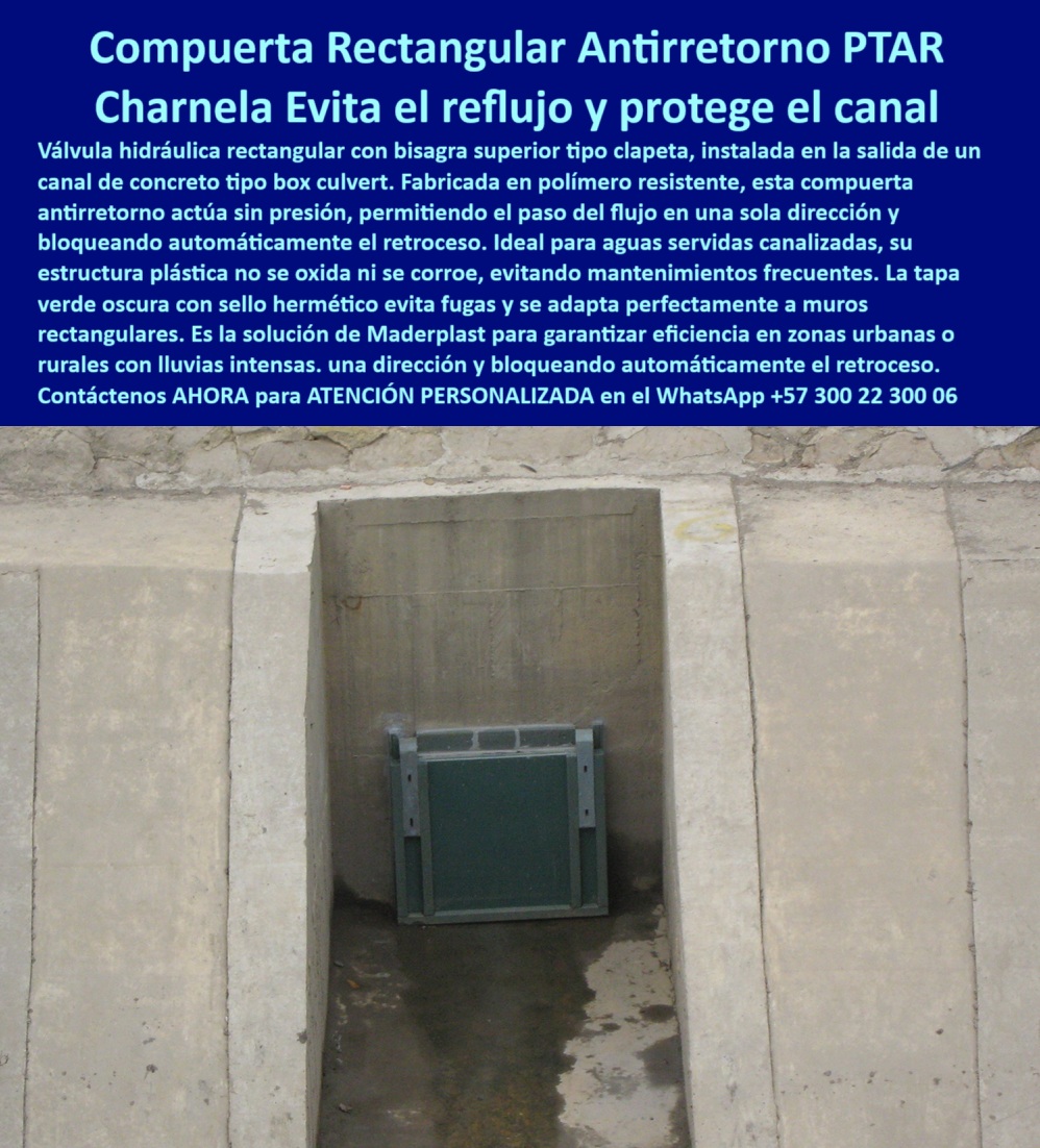 Charnela Válvula Retención Rectangular Anti Retorno Instalación Válvula Flap Maderplast 0 La imagen muestra la válvula hidráulica rectangular con bisagra superior, una charnela tipo flap Maderplast diseñada para el control del reflujo en canales box culvert, sistemas PTAR y redes urbanas de alcantarillado pluvial. Esta válvula-rectangular-antirretorno ha sido instalada en el canal del río Fucha en Bogotá desde el año 2001, como parte de un sistema integral de protección contra inundaciones. Desde entonces, la charnela plástica urbana ha operado sin fallos, sin reemplazos y con mínimo mantenimiento, siendo testigo silencioso del paso del agua y guardián efectivo contra su retroceso. - La charnela plástica de tapa rectangular que aparece encajada perfectamente en el muro de concreto actúa sin presión hidráulica, sin componentes eléctricos ni sistemas de automatización. ¿Cómo se llama la tapa para box culvert? Se llama válvula de retención de polímero tapa PTAR, y funciona por gravedad, abriéndose al paso del flujo y cerrándose automáticamente al detectar cualquier intento de retorno. Este sistema inteligente convierte un canal pasivo en una línea activa de defensa hídrica. ¿Dónde instalo válvula rectangular sin presión? En cada punto donde el riesgo de retorno, contaminación o inundación pueda poner en peligro la infraestructura o la comunidad. - El sistema hidráulico rectangular antirretorno de Maderplast está fabricado en polímero técnico de ingeniería avanzada, con estructura sin partes metálicas, libre de óxido, sin necesidad de pintura, totalmente resistente a los rayos UV, los químicos, los gases residuales y los cambios bruscos de temperatura. Por eso, la válvula rectangular antirretorno sin presión hidráulica no solo se adapta a sistemas urbanos, sino también a aguas servidas canalizadas, sistemas rurales, zonas vulnerables a lluvias intensas, o cualquier lugar donde el control de flujo debe ser confiable y constante. - ¿Y qué compuerta rectangular evita el reflujo? Esta. La compuerta rectangular instalada en canal box culvert que aquí vemos protege a las casas y barrios aledaños al canal desde hace más de 20 años. Gracias a su tapa hidráulica de retención encajada en concreto, el sistema de retención en muros de concreto bloquea completamente el paso del agua cuando hay crecidas o tormentas, evitando devoluciones y reboses. Esta válvula sin presión con cierre automático ha demostrado que no se necesita complejidad para lograr eficiencia: se necesita ingeniería enfocada en soluciones reales. - ¿Dónde instalar una válvula hidráulica rectangular para canal urbano? En cada punto crítico del sistema. ¿Cuál es la mejor charnela para canal urbano? La charnela unidireccional de canal con cuerpo polimérico, como esta, que garantiza sellado hermético, cero mantenimiento y máxima eficiencia operativa. ¿Qué válvula sirve en muros de concreto? La que se adapta, se fija sin grúas, y permanece activa año tras año: la válvula antirretorno para aguas servidas canalizadas. - La tapa-rectangular-hidráulica en esta fotografía evidencia su capacidad para pasar desapercibida, pero jamás inactiva. Su color se camufla con el entorno, pero su funcionamiento es determinante. Esta compuerta rectangular para canal urbano Fucha no solo resiste el agua, resiste el tiempo, el abandono, la lluvia, el vandalismo. Su presencia es testimonio de que la ingeniería bien hecha sí transforma ciudades. - Instalada desde el año 2001 en Bogotá, esta válvula rectangular con bisagra superior demuestra que una decisión bien tomada en infraestructura puede proteger a generaciones completas de eventos climáticos cada vez más frecuentes. Maderplast ha instalado cientos de estas charnelas unidireccionales rectangulares para reflujo en redes pluviales, PTAR, bocatomas, obras de drenaje urbano y rural. ¿Cuál compuerta evita reflujo en canal de lluvia? La que se instala una vez y se olvida porque simplemente funciona. Esa es la compuerta-de-retención-urbana que hoy seguimos viendo operativa. - Contáctenos AHORA para ATENCIÓN PERSONALIZADA en el WhatsApp +57 300 22 300 06 y reciba acompañamiento directo del equipo técnico de Maderplast. Porque proteger su canal, su barrio o su obra no debe ser un experimento. Debe ser una garantía. Y esa garantía se llama Maderplast. Ingeniería plástica que no falla. válvula hidráulica libre de presión, - válvula antirretorno para aguas servidas canalizadas, Válvula de retención de polímero tapa Ptar Charnela Válvula Retención Rectangular Anti Retorno Instalación Válvula Flap Maderplast 0 válvula hidráulica libre de presión válvula antirretorno para aguas servidas canalizadas Válvula de retención de polímero tapa Ptar 01 La imagen muestra la válvula hidráulica rectangular con bisagra superior, una charnela tipo flap Maderplast diseñada para el control del reflujo en canales box culvert, sistemas PTAR y redes urbanas de alcantarillado pluvial. Esta válvula-rectangular-antirretorno ha sido instalada en el canal del río Fucha en Bogotá desde el año 2001, como parte de un sistema integral de protección contra inundaciones. Desde entonces, la charnela plástica urbana ha operado sin fallos, sin reemplazos y con mínimo mantenimiento, siendo testigo silencioso del paso del agua y guardián efectivo contra su retroceso. - La charnela plástica de tapa rectangular que aparece encajada perfectamente en el muro de concreto actúa sin presión hidráulica, sin componentes eléctricos ni sistemas de automatización. ¿Cómo se llama la tapa para box culvert? Se llama válvula de retención de polímero tapa PTAR, y funciona por gravedad, abriéndose al paso del flujo y cerrándose automáticamente al detectar cualquier intento de retorno. Este sistema inteligente convierte un canal pasivo en una línea activa de defensa hídrica. ¿Dónde instalo válvula rectangular sin presión? En cada punto donde el riesgo de retorno, contaminación o inundación pueda poner en peligro la infraestructura o la comunidad. - El sistema hidráulico rectangular antirretorno de Maderplast está fabricado en polímero técnico de ingeniería avanzada, con estructura sin partes metálicas, libre de óxido, sin necesidad de pintura, totalmente resistente a los rayos UV, los químicos, los gases residuales y los cambios bruscos de temperatura. Por eso, la válvula rectangular antirretorno sin presión hidráulica no solo se adapta a sistemas urbanos, sino también a aguas servidas canalizadas, sistemas rurales, zonas vulnerables a lluvias intensas, o cualquier lugar donde el control de flujo debe ser confiable y constante. - ¿Y qué compuerta rectangular evita el reflujo? Esta. La compuerta rectangular instalada en canal box culvert que aquí vemos protege a las casas y barrios aledaños al canal desde hace más de 20 años. Gracias a su tapa hidráulica de retención encajada en concreto, el sistema de retención en muros de concreto bloquea completamente el paso del agua cuando hay crecidas o tormentas, evitando devoluciones y reboses. Esta válvula sin presión con cierre automático ha demostrado que no se necesita complejidad para lograr eficiencia: se necesita ingeniería enfocada en soluciones reales. - ¿Dónde instalar una válvula hidráulica rectangular para canal urbano? En cada punto crítico del sistema. ¿Cuál es la mejor charnela para canal urbano? La charnela unidireccional de canal con cuerpo polimérico, como esta, que garantiza sellado hermético, cero mantenimiento y máxima eficiencia operativa. ¿Qué válvula sirve en muros de concreto? La que se adapta, se fija sin grúas, y permanece activa año tras año: la válvula antirretorno para aguas servidas canalizadas. - La tapa-rectangular-hidráulica en esta fotografía evidencia su capacidad para pasar desapercibida, pero jamás inactiva. Su color se camufla con el entorno, pero su funcionamiento es determinante. Esta compuerta rectangular para canal urbano Fucha no solo resiste el agua, resiste el tiempo, el abandono, la lluvia, el vandalismo. Su presencia es testimonio de que la ingeniería bien hecha sí transforma ciudades. - Instalada desde el año 2001 en Bogotá, esta válvula rectangular con bisagra superior demuestra que una decisión bien tomada en infraestructura puede proteger a generaciones completas de eventos climáticos cada vez más frecuentes. Maderplast ha instalado cientos de estas charnelas unidireccionales rectangulares para reflujo en redes pluviales, PTAR, bocatomas, obras de drenaje urbano y rural. ¿Cuál compuerta evita reflujo en canal de lluvia? La que se instala una vez y se olvida porque simplemente funciona. Esa es la compuerta-de-retención-urbana que hoy seguimos viendo operativa. - Contáctenos AHORA para ATENCIÓN PERSONALIZADA en el WhatsApp +57 300 22 300 06 y reciba acompañamiento directo del equipo técnico de Maderplast. Porque proteger su canal, su barrio o su obra no debe ser un experimento. Debe ser una garantía. Y esa garantía se llama Maderplast. Ingeniería plástica que no falla. Charnela Válvula Retención Rectangular Anti Retorno Instalación Válvula Flap Maderplast 0 válvula hidráulica libre de presión, - válvula antirretorno para aguas servidas canalizadas, Válvula de retención de polímero tapa Ptar 01 Charnela Válvula Retención Rectangular Anti Retorno Instalación Válvula Flap Maderplast 0 válvula hidráulica libre de presión, - válvula antirretorno para aguas servidas canalizadas, Válvula de retención de polímero tapa Ptar