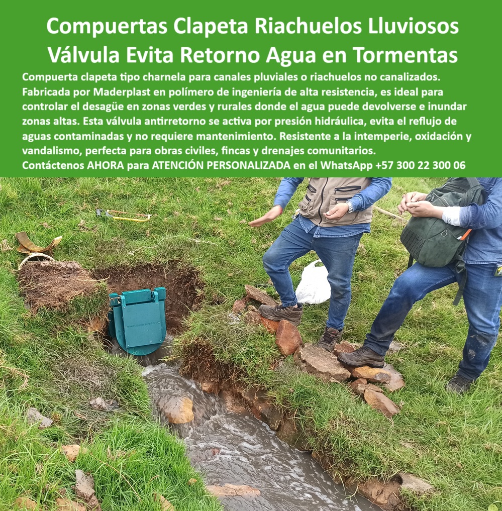 Compuerta Clapeta Antirretorno Drenaje Alcantarillado Salida De Canal Maderplast 0 La imagen muestra una compuerta clapeta para riachuelos pluviales instalada directamente sobre el cauce de un canal natural en zona rural, diseñada como una solución eficaz para evitar el retorno del agua en caso de lluvias intensas. Esta compuerta tipo charnela para drenaje en finca funciona como válvula antirretorno activada por presión hidráulica, sin necesidad de energía, electricidad ni intervención humana, lo que garantiza operación continua incluso en eventos climáticos severos. Fabricada por Maderplast, esta compuerta-plástica-automática está diseñada para resistir la intemperie, el desgaste por caudal turbulento y la acción de contaminantes presentes en aguas lluvias. Su composición en polímero de ingeniería la convierte en una válvula resistente a vandalismo y corrosión, ideal para zonas apartadas donde el mantenimiento periódico no es viable, como en fincas rurales, comunidades periféricas, drenajes pluviales o zonas verdes de difícil acceso. - Esta clapeta hidráulica para salida rural, también conocida como clapeta reforzada para aguas contaminadas, se instala sin necesidad de estructura de concreto, lo que la hace compatible con canales no canalizados, riachuelos naturales y obras de mitigación en desarrollo. Su función como válvula anti contaminación para obras civiles evita el reflujo de aguas servidas o pluviales contaminadas hacia fuentes de captación, cultivos o viviendas en zonas bajas. La activación automática por presión convierte esta tecnología en una válvula sin energía para tormentas, perfecta para garantizar evacuación efectiva del caudal sin colapsos ni bloqueos en el sistema. Su uso como compuerta salida agua lluvia asegura un flujo unidireccional que protege tanto la infraestructura como el entorno ambiental. - El diseño tipo charnela-salida-canal responde con rapidez cuando se requiere desfogue pluvial, comportándose como una válvula plástica contra retorno en tormentas que no se oxida, no se traba y no requiere intervención humana. En la imagen se observa la instalación de compuerta en canal natural de finca, validando su adaptación a terrenos irregulares y su funcionamiento autónomo durante una jornada de inspección en campo. Esta compuerta automática para salida de canal, al estar construida con materiales de alta durabilidad, forma parte de los sistemas de drenaje más eficientes en la protección contra crecientes repentinos. - Es una solución avanzada dentro del sistema-pluvial-pasivo, pensada para condiciones rurales y lluvias intensas, cumpliendo los principios de sostenibilidad y bajo mantenimiento. Por su eficiencia demostrada, esta clapeta plástica en salida de drenaje rural se posiciona como la mejor opción para quienes se preguntan ¿Qué válvula sirve para evitar retorno en riachuelos?, ¿Cuál compuerta usar en canal sin concreto? o ¿Dónde comprar compuerta para drenaje en finca?. Su aplicación como compuerta antirretorno rural también incluye uso en canales de aguas lluvias, zonas sin urbanizar, alcantarillado rural, obras de saneamiento comunitario y canales abiertos de alta pendiente donde la velocidad del agua podría devolver el flujo si no se controla correctamente. - Este desarrollo de Maderplast combina innovación, resistencia y simplicidad, representando una respuesta ecológica y funcional ante el desafío de controlar flujos naturales en áreas sensibles. La clapeta canal abierto sin concreto, junto con la tecnología de válvula tipo charnela sin energía, transforma la manera en que se ejecutan los drenajes rurales, ya que elimina los riesgos de retorno en tormentas y mejora el manejo del agua en cada obra civil. - Para más información sobre esta compuerta charnela para alcantarillado rural, sus beneficios y su correcta implementación, comuníquese hoy mismo para ATENCIÓN PERSONALIZADA a través del WhatsApp +57 300 22 300 06, donde Maderplast ofrece asesoría técnica profesional y soluciones confiables adaptadas a cada proyecto. Alta Durabilidad compuerta para canales de aguas lluvias, compuerta tipo charnela para desagüe en concreto compuerta antirretorno canales Ptar Compuerta Clapeta Antirretorno Drenaje Alcantarillado Salida De Canal Maderplast 0 Alta Durabilidad compuerta para canales de aguas lluvias compuerta tipo charnela para desagüe en concreto compuerta antirretorno canales Ptar 01 La imagen muestra una compuerta clapeta para riachuelos pluviales instalada directamente sobre el cauce de un canal natural en zona rural, diseñada como una solución eficaz para evitar el retorno del agua en caso de lluvias intensas. Esta compuerta tipo charnela para drenaje en finca funciona como válvula antirretorno activada por presión hidráulica, sin necesidad de energía, electricidad ni intervención humana, lo que garantiza operación continua incluso en eventos climáticos severos. Fabricada por Maderplast, esta compuerta-plástica-automática está diseñada para resistir la intemperie, el desgaste por caudal turbulento y la acción de contaminantes presentes en aguas lluvias. Su composición en polímero de ingeniería la convierte en una válvula resistente a vandalismo y corrosión, ideal para zonas apartadas donde el mantenimiento periódico no es viable, como en fincas rurales, comunidades periféricas, drenajes pluviales o zonas verdes de difícil acceso. - Esta clapeta hidráulica para salida rural, también conocida como clapeta reforzada para aguas contaminadas, se instala sin necesidad de estructura de concreto, lo que la hace compatible con canales no canalizados, riachuelos naturales y obras de mitigación en desarrollo. Su función como válvula anti contaminación para obras civiles evita el reflujo de aguas servidas o pluviales contaminadas hacia fuentes de captación, cultivos o viviendas en zonas bajas. La activación automática por presión convierte esta tecnología en una válvula sin energía para tormentas, perfecta para garantizar evacuación efectiva del caudal sin colapsos ni bloqueos en el sistema. Su uso como compuerta salida agua lluvia asegura un flujo unidireccional que protege tanto la infraestructura como el entorno ambiental. - El diseño tipo charnela-salida-canal responde con rapidez cuando se requiere desfogue pluvial, comportándose como una válvula plástica contra retorno en tormentas que no se oxida, no se traba y no requiere intervención humana. En la imagen se observa la instalación de compuerta en canal natural de finca, validando su adaptación a terrenos irregulares y su funcionamiento autónomo durante una jornada de inspección en campo. Esta compuerta automática para salida de canal, al estar construida con materiales de alta durabilidad, forma parte de los sistemas de drenaje más eficientes en la protección contra crecientes repentinos. - Es una solución avanzada dentro del sistema-pluvial-pasivo, pensada para condiciones rurales y lluvias intensas, cumpliendo los principios de sostenibilidad y bajo mantenimiento. Por su eficiencia demostrada, esta clapeta plástica en salida de drenaje rural se posiciona como la mejor opción para quienes se preguntan ¿Qué válvula sirve para evitar retorno en riachuelos?, ¿Cuál compuerta usar en canal sin concreto? o ¿Dónde comprar compuerta para drenaje en finca?. Su aplicación como compuerta antirretorno rural también incluye uso en canales de aguas lluvias, zonas sin urbanizar, alcantarillado rural, obras de saneamiento comunitario y canales abiertos de alta pendiente donde la velocidad del agua podría devolver el flujo si no se controla correctamente. - Este desarrollo de Maderplast combina innovación, resistencia y simplicidad, representando una respuesta ecológica y funcional ante el desafío de controlar flujos naturales en áreas sensibles. La clapeta canal abierto sin concreto, junto con la tecnología de válvula tipo charnela sin energía, transforma la manera en que se ejecutan los drenajes rurales, ya que elimina los riesgos de retorno en tormentas y mejora el manejo del agua en cada obra civil. - Para más información sobre esta compuerta charnela para alcantarillado rural, sus beneficios y su correcta implementación, comuníquese hoy mismo para ATENCIÓN PERSONALIZADA a través del WhatsApp +57 300 22 300 06, donde Maderplast ofrece asesoría técnica profesional y soluciones confiables adaptadas a cada proyecto. Compuerta Clapeta Antirretorno Drenaje Alcantarillado Salida De Canal Maderplast 0 Alta Durabilidad compuerta para canales de aguas lluvias, compuerta tipo charnela para desagüe en concreto compuerta antirretorno canales Ptar