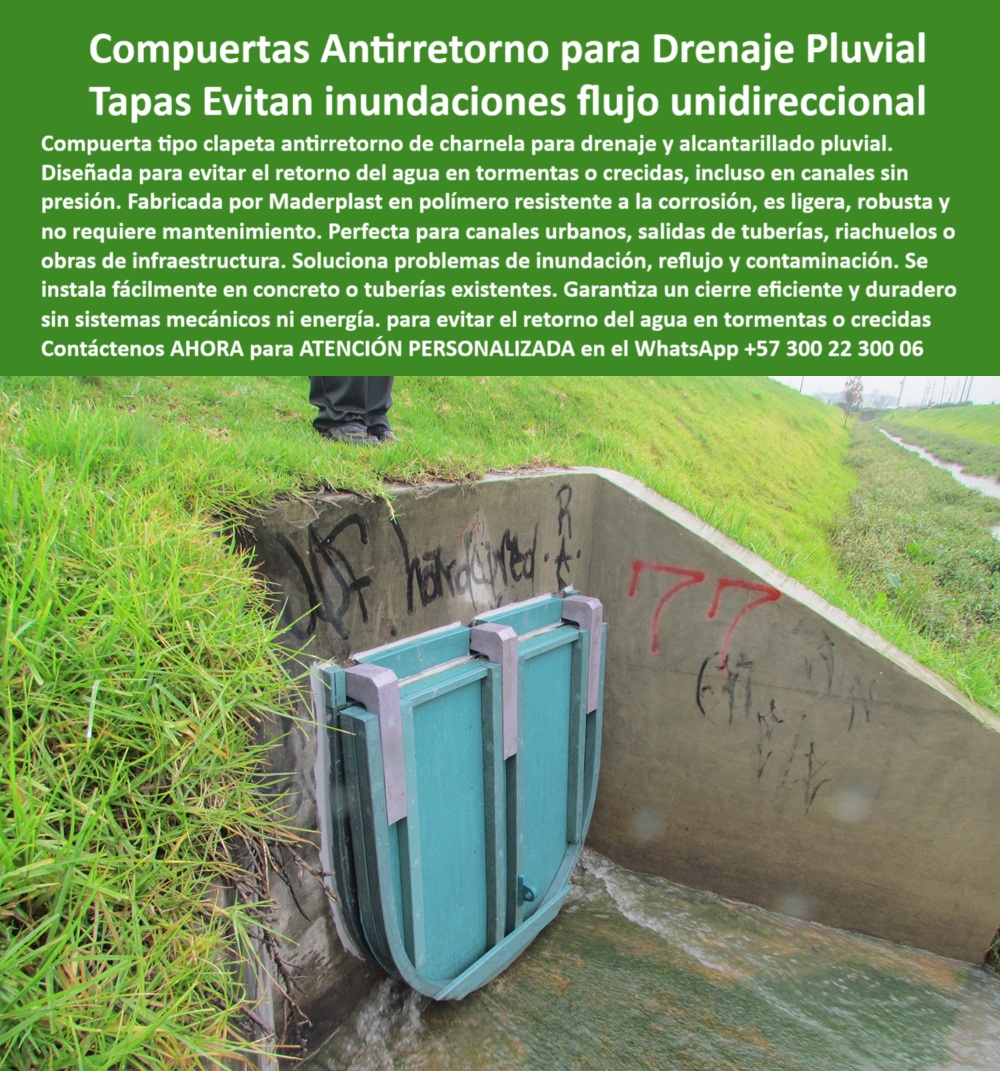 Compuerta Clapeta Antirretorno Drenaje Alcantarillado Salida De Canal Maderplast 0 La imagen muestra la compuerta clapeta plástica rectangular para salida de canal número 77, instalada desde el año 2001 en un canal del río Fucha en Bogotá. Esta válvula antirretorno tipo charnela está firmemente anclada sobre un muro de concreto inclinado, en la intersección con un canal de drenaje pluvial urbano. La estructura demuestra signos de uso continuo, pero también de integridad técnica total: más de dos décadas en servicio sin energía, sin mantenimiento y sin reemplazo. En el entorno se observa vegetación natural y evidencias del paso del tiempo, pero la compuerta sigue allí, activa, confiable, cumpliendo. - Y aquí se responde la primera pregunta crítica que hacen los ingenieros municipales:, - ¿Qué compuerta evita retorno de agua en canal sin presión?, - La respuesta es clara: la compuerta hidráulica tipo charnela Maderplast. - Esta solución, fabricada en polímero técnico, está diseñada específicamente como tapa antirretorno para salida de canal, evitando de forma automática el retorno de aguas contaminadas durante tormentas, lluvias intensas o crecidas repentinas. Es un sistema de retención sin energía activado por presión de agua, que se abre solo cuando hay flujo y se cierra por gravedad y diferencia de presión, sin necesidad de sistemas eléctricos o hidráulicos complejos. Por eso, cuando se pregunta:, - ¿Cuál es la mejor válvula sin mantenimiento para lluvias?. - la respuesta es simple: la que sigue operando 25 años después de instalada. - Maderplast. - Esta válvula plástica sin presión hidráulica, también conocida como compuerta tipo charnela retorno cero, ha demostrado en Bogotá su resistencia a la corrosión, vandalismo, químicos y rayos UV, sin necesidad de pintura, sin oxidación y sin mecanismos expuestos que fallen. Su uso ha evitado que el canal del río Fucha devuelva aguas residuales a barrios vulnerables, evitando inundaciones, reflujos y contaminación. Así responde otra gran pregunta:, - ¿Qué compuerta funciona sin energía en alcantarillado?, - La que se ve aquí: válvula plástica antirretorno con sistema de presión hidráulica. - Este es un verdadero ejemplo de infraestructura urbana eficiente y ecológica, con una charnela resistente a la corrosión y al vandalismo, instalada en canal inclinado con pasto y muro lateral, capaz de resistir décadas sin intervención. - ¿Qué tapa hidráulica se usa en canales urbanos?, - La que está probada, no la que promete. - La que tiene nombre y respaldo: Maderplast. - Esta tapa hidráulica verde sujetada con bisagras laterales metálicas forma parte de un sistema mayor: el sistema antirretorno para canales sin presión, diseñado para responder a la pregunta:, - ¿Qué válvula plástica sirve para tormentas urbanas?, - La que bloquea el retorno antes de que ocurra. - La que evita tragedias. - La que protege barrios. - La tapa hidráulica pluvial en estructura de concreto que aquí se destaca es una válvula de una vía para canal de lluvias, parte esencial del control de inundaciones en redes urbanas de Bogotá. Es una tapa tipo clapeta que bloquea retorno por reflujo, también llamada compuerta hidráulica canal urbano o válvula unidireccional canal lluvias, y representa la ingeniería pasiva más efectiva del mercado. - Con más de 25 años operativa, esta compuerta responde también a otra inquietud:, - ¿Qué válvula sirve en caso de tormentas sin presión constante?, - La que fue instalada en 2001, sigue allí, no ha sido reemplazada y ha protegido a miles de habitantes. - La válvula de drenaje antirretorno instalada en salida de canal, hecha por Maderplast. - Contáctenos AHORA para ATENCIÓN PERSONALIZADA en el WhatsApp +57 300 22 300 06 y reciba acompañamiento directo del equipo técnico de Maderplast. - Porque la mejor válvula no es la que está en catálogo, sino la que está en obra, trabajando. La que sigue funcionando cuando el cielo cae. La que protege a su ciudad sin pedir nada a cambio. Maderplast: cierre automático, protección permanente. Tapa antirretorno para salida de canal, Compuerta Antirretorno tipo Charnela para Drenaje Pluvial Maderplast válvula antirretorno canales Ptap Compuerta Clapeta Antirretorno Drenaje Alcantarillado Salida De Canal Maderplast 0 Tapa antirretorno para salida de canal Compuerta Antirretorno tipo Charnela para Drenaje Pluvial Maderplast válvula antirretorno canales Ptap 01 La imagen muestra la compuerta clapeta plástica rectangular para salida de canal número 77, instalada desde el año 2001 en un canal del río Fucha en Bogotá. Esta válvula antirretorno tipo charnela está firmemente anclada sobre un muro de concreto inclinado, en la intersección con un canal de drenaje pluvial urbano. La estructura demuestra signos de uso continuo, pero también de integridad técnica total: más de dos décadas en servicio sin energía, sin mantenimiento y sin reemplazo. En el entorno se observa vegetación natural y evidencias del paso del tiempo, pero la compuerta sigue allí, activa, confiable, cumpliendo. - Y aquí se responde la primera pregunta crítica que hacen los ingenieros municipales:, - ¿Qué compuerta evita retorno de agua en canal sin presión?, - La respuesta es clara: la compuerta hidráulica tipo charnela Maderplast. - Esta solución, fabricada en polímero técnico, está diseñada específicamente como tapa antirretorno para salida de canal, evitando de forma automática el retorno de aguas contaminadas durante tormentas, lluvias intensas o crecidas repentinas. Es un sistema de retención sin energía activado por presión de agua, que se abre solo cuando hay flujo y se cierra por gravedad y diferencia de presión, sin necesidad de sistemas eléctricos o hidráulicos complejos. Por eso, cuando se pregunta:, - ¿Cuál es la mejor válvula sin mantenimiento para lluvias?. - la respuesta es simple: la que sigue operando 25 años después de instalada. - Maderplast. - Esta válvula plástica sin presión hidráulica, también conocida como compuerta tipo charnela retorno cero, ha demostrado en Bogotá su resistencia a la corrosión, vandalismo, químicos y rayos UV, sin necesidad de pintura, sin oxidación y sin mecanismos expuestos que fallen. Su uso ha evitado que el canal del río Fucha devuelva aguas residuales a barrios vulnerables, evitando inundaciones, reflujos y contaminación. Así responde otra gran pregunta:, - ¿Qué compuerta funciona sin energía en alcantarillado?, - La que se ve aquí: válvula plástica antirretorno con sistema de presión hidráulica. - Este es un verdadero ejemplo de infraestructura urbana eficiente y ecológica, con una charnela resistente a la corrosión y al vandalismo, instalada en canal inclinado con pasto y muro lateral, capaz de resistir décadas sin intervención. - ¿Qué tapa hidráulica se usa en canales urbanos?, - La que está probada, no la que promete. - La que tiene nombre y respaldo: Maderplast. - Esta tapa hidráulica verde sujetada con bisagras laterales metálicas forma parte de un sistema mayor: el sistema antirretorno para canales sin presión, diseñado para responder a la pregunta:, - ¿Qué válvula plástica sirve para tormentas urbanas?, - La que bloquea el retorno antes de que ocurra. - La que evita tragedias. - La que protege barrios. - La tapa hidráulica pluvial en estructura de concreto que aquí se destaca es una válvula de una vía para canal de lluvias, parte esencial del control de inundaciones en redes urbanas de Bogotá. Es una tapa tipo clapeta que bloquea retorno por reflujo, también llamada compuerta hidráulica canal urbano o válvula unidireccional canal lluvias, y representa la ingeniería pasiva más efectiva del mercado. - Con más de 25 años operativa, esta compuerta responde también a otra inquietud:, - ¿Qué válvula sirve en caso de tormentas sin presión constante?, - La que fue instalada en 2001, sigue allí, no ha sido reemplazada y ha protegido a miles de habitantes. - La válvula de drenaje antirretorno instalada en salida de canal, hecha por Maderplast. - Contáctenos AHORA para ATENCIÓN PERSONALIZADA en el WhatsApp +57 300 22 300 06 y reciba acompañamiento directo del equipo técnico de Maderplast. - Porque la mejor válvula no es la que está en catálogo, sino la que está en obra, trabajando. La que sigue funcionando cuando el cielo cae. La que protege a su ciudad sin pedir nada a cambio. Maderplast: cierre automático, protección permanente. Compuerta Clapeta Antirretorno Drenaje Alcantarillado Salida De Canal Maderplast 0 Tapa antirretorno para salida de canal, Compuerta Antirretorno tipo Charnela para Drenaje Pluvial Maderplast válvula antirretorno canales Ptap