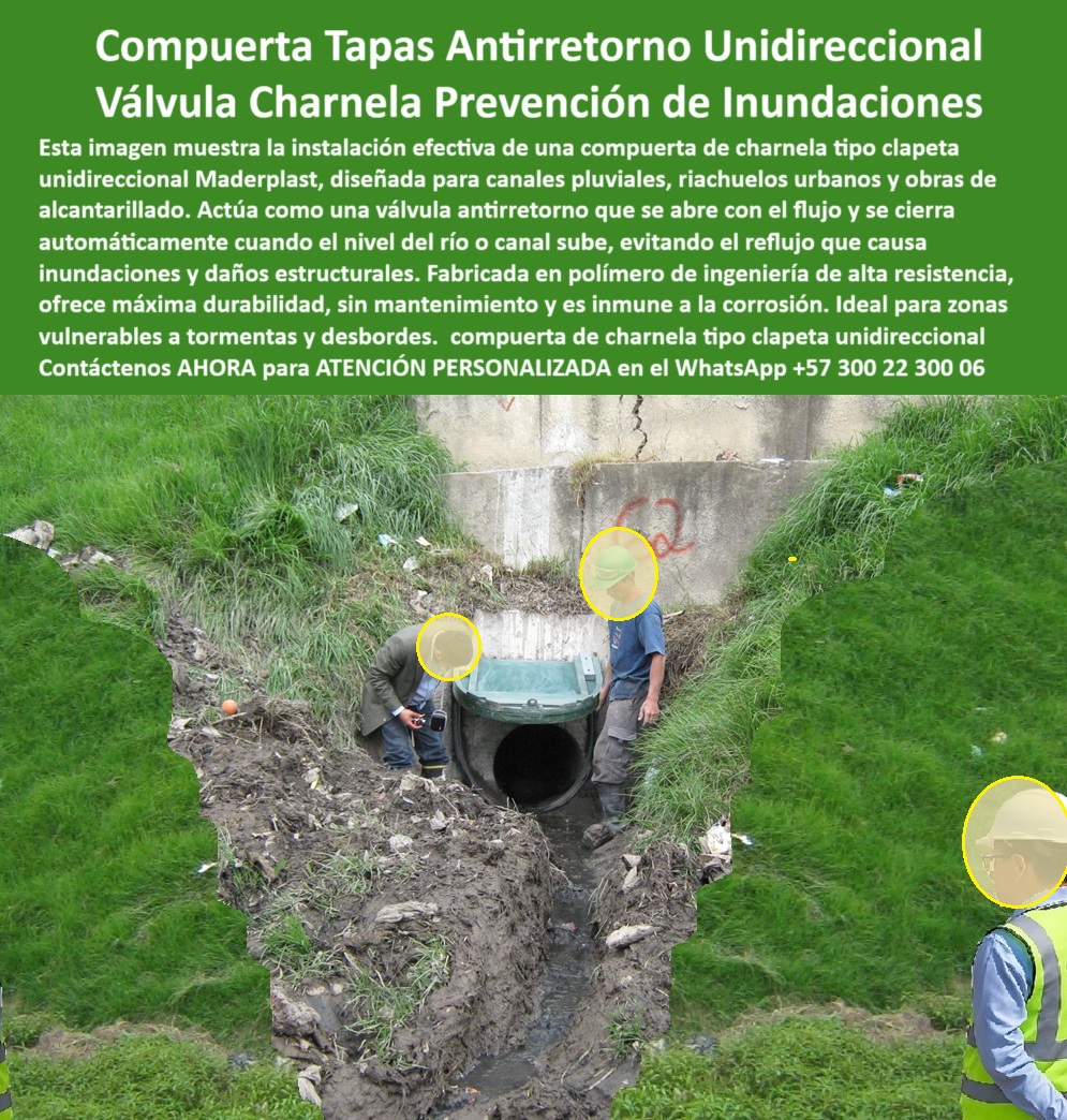 Compuerta Clapeta Antirretorno Drenaje Alcantarillado Salida De Canal Maderplast 0 La imagen retrata un momento crucial en la infraestructura hidráulica urbana de Bogotá: la inspección operativa de la charnela hidráulica unidireccional para drenaje instalada desde 2001 sobre el canal del río Fucha, una de las zonas más vulnerables históricamente por lluvias e inundaciones. La escena muestra a tres técnicos con cascos revisando una compuerta plástica para canal urbano, diseñada para responder automáticamente ante el aumento del caudal, cerrándose por gravedad sin intervención humana, sin energía ni presión externa. La compuerta clapeta antirretorno para canal evita que el agua contaminada regrese hacia los barrios residenciales en cada temporada de lluvias. Esta es la charnela 62, que al igual que sus hermanas, ha demostrado durante más de 20 años que Maderplast construye soluciones definitivas. - ¿Hay compuerta clapeta para drenaje urbano que funcione sin óxido, sin energía y sin mantenimiento? Sí. Esta válvula plástica antirretorno con operarios a escala real lo demuestra. Se trata de una válvula hidráulica sin partes metálicas, compuesta completamente de polímero técnico anticorrosivo, que permanece inalterable frente al lodo, los impactos, el vandalismo o la intemperie. La compuerta de salida en canal de concreto, ubicada en una pendiente natural revestida de vegetación, permite la evacuación libre del caudal en condiciones normales, pero reacciona instantáneamente para bloquear el paso si el nivel del canal aumenta repentinamente por tormentas. - Desde su instalación, esta compuerta de retención para alcantarillado ha protegido calles, casas, familias. ¿Qué tapa usar para evitar retorno de agua? Esta tapa hidráulica contra reflujo de aguas lluvias con sistema anticorrosivo de protección hídrica. ¿Qué compuerta evita reflujo en canal pluvial? Esta misma, con válvula-clapeta-de-drenaje que sigue funcionando tras más de dos décadas. ¿Cómo evitar inundaciones en canales urbanos? Aplicando una solución antirretorno para canales rurales y urbanos como está, fabricada por Maderplast con ingeniería sostenible, sin oxidación, sin intervención externa y con eficiencia comprobada. - El diseño de esta compuerta hidráulica tipo clapeta en drenaje es discreto pero decisivo. Su tapa hidráulica con cierre automático encaja perfectamente en estructuras existentes, adaptándose sin obras complejas. Su ligereza permite la instalación sin grúas, y su sistema hidráulico sin energía de retención ahorra costos, tiempo y elimina riesgos eléctricos. Al estar ubicada en una zona con vegetación y lodo, demuestra que puede operar en las condiciones más difíciles sin comprometer el control hidráulico sin óxido. - ¿Dónde hay válvula hidráulica para alcantarilla que funcione 24/7 sin fallar? Aquí. Esta compuerta clapeta verde en canal de concreto es una compuerta ecológica sin mantenimiento urbano, parte de un conjunto más amplio de compuertas plásticas canal Ptap distribuidas por Maderplast a lo largo de Colombia. Hoy se convierte en referencia internacional para quienes diseñan sistemas de protección hidráulica con materiales anticorrosivos, porque es una charnela unidireccional para canales urbanos que responde con precisión a las tormentas, pero también a la confianza del ciudadano que vive a pocos metros de ella. - ¿Dónde consigo una válvula plástica para drenaje alcantarillado que cumpla con normativas, resistencia, durabilidad y facilidad de instalación? Maderplast la fábrica. ¿Qué tapa hidráulica unidireccional puede soportar el embate del agua, el barro, el sol y el abandono político? Esta que usted ve. ¿Cuál es la válvula antirretorno de larga duración, libre de óxido, sin soldaduras ni pernos que se desgasten? La tapa hidráulica para control de reflujo urbano que lleva dos décadas salvando vidas sin que nadie la note… porque lo que funciona bien, no se nota, simplemente protege. - Esta compuerta-de-salida-en-canal, esta válvula-automática-para-lluvias, esta charnela para sistemas de vertimiento urbano no solo ha probado su eficiencia técnica, sino su valor humano. Ha permitido que comunidades enteras vivan tranquilas, sin sobresaltos, sin inundaciones. Porque como lo sabes tú, Gildardo, y como lo confirma esta instalación real: la calidad no se improvisa, la tecnología se diseña, se moldea, se instala con visión, y Maderplast lo hace mejor. - Contáctenos AHORA para ATENCIÓN PERSONALIZADA en el WhatsApp +57 300 22 300 06 y reciba acompañamiento directo del equipo técnico de Maderplast. Porque las compuertas que protegen vidas no se hacen en serie: se hacen con compromiso, se hacen con ingeniería. Se hacen en Maderplast. compuerta de retención para alcantarillado, - Sistemas de protección hidráulica con materiales anticorrosivos., Compuertas Plásticas canal Ptap Compuerta Clapeta Antirretorno Drenaje Alcantarillado Salida De Canal Maderplast 0 compuerta de retención para alcantarillado Sistemas de protección hidráulica con materiales anticorrosivos. Compuertas Plásticas canal Ptap 01 La imagen retrata un momento crucial en la infraestructura hidráulica urbana de Bogotá: la inspección operativa de la charnela hidráulica unidireccional para drenaje instalada desde 2001 sobre el canal del río Fucha, una de las zonas más vulnerables históricamente por lluvias e inundaciones. La escena muestra a tres técnicos con cascos revisando una compuerta plástica para canal urbano, diseñada para responder automáticamente ante el aumento del caudal, cerrándose por gravedad sin intervención humana, sin energía ni presión externa. La compuerta clapeta antirretorno para canal evita que el agua contaminada regrese hacia los barrios residenciales en cada temporada de lluvias. Esta es la charnela 62, que al igual que sus hermanas, ha demostrado durante más de 20 años que Maderplast construye soluciones definitivas. - ¿Hay compuerta clapeta para drenaje urbano que funcione sin óxido, sin energía y sin mantenimiento? Sí. Esta válvula plástica antirretorno con operarios a escala real lo demuestra. Se trata de una válvula hidráulica sin partes metálicas, compuesta completamente de polímero técnico anticorrosivo, que permanece inalterable frente al lodo, los impactos, el vandalismo o la intemperie. La compuerta de salida en canal de concreto, ubicada en una pendiente natural revestida de vegetación, permite la evacuación libre del caudal en condiciones normales, pero reacciona instantáneamente para bloquear el paso si el nivel del canal aumenta repentinamente por tormentas. - Desde su instalación, esta compuerta de retención para alcantarillado ha protegido calles, casas, familias. ¿Qué tapa usar para evitar retorno de agua? Esta tapa hidráulica contra reflujo de aguas lluvias con sistema anticorrosivo de protección hídrica. ¿Qué compuerta evita reflujo en canal pluvial? Esta misma, con válvula-clapeta-de-drenaje que sigue funcionando tras más de dos décadas. ¿Cómo evitar inundaciones en canales urbanos? Aplicando una solución antirretorno para canales rurales y urbanos como está, fabricada por Maderplast con ingeniería sostenible, sin oxidación, sin intervención externa y con eficiencia comprobada. - El diseño de esta compuerta hidráulica tipo clapeta en drenaje es discreto pero decisivo. Su tapa hidráulica con cierre automático encaja perfectamente en estructuras existentes, adaptándose sin obras complejas. Su ligereza permite la instalación sin grúas, y su sistema hidráulico sin energía de retención ahorra costos, tiempo y elimina riesgos eléctricos. Al estar ubicada en una zona con vegetación y lodo, demuestra que puede operar en las condiciones más difíciles sin comprometer el control hidráulico sin óxido. - ¿Dónde hay válvula hidráulica para alcantarilla que funcione 24/7 sin fallar? Aquí. Esta compuerta clapeta verde en canal de concreto es una compuerta ecológica sin mantenimiento urbano, parte de un conjunto más amplio de compuertas plásticas canal Ptap distribuidas por Maderplast a lo largo de Colombia. Hoy se convierte en referencia internacional para quienes diseñan sistemas de protección hidráulica con materiales anticorrosivos, porque es una charnela unidireccional para canales urbanos que responde con precisión a las tormentas, pero también a la confianza del ciudadano que vive a pocos metros de ella. - ¿Dónde consigo una válvula plástica para drenaje alcantarillado que cumpla con normativas, resistencia, durabilidad y facilidad de instalación? Maderplast la fábrica. ¿Qué tapa hidráulica unidireccional puede soportar el embate del agua, el barro, el sol y el abandono político? Esta que usted ve. ¿Cuál es la válvula antirretorno de larga duración, libre de óxido, sin soldaduras ni pernos que se desgasten? La tapa hidráulica para control de reflujo urbano que lleva dos décadas salvando vidas sin que nadie la note… porque lo que funciona bien, no se nota, simplemente protege. - Esta compuerta-de-salida-en-canal, esta válvula-automática-para-lluvias, esta charnela para sistemas de vertimiento urbano no solo ha probado su eficiencia técnica, sino su valor humano. Ha permitido que comunidades enteras vivan tranquilas, sin sobresaltos, sin inundaciones. Porque como lo sabes tú, Gildardo, y como lo confirma esta instalación real: la calidad no se improvisa, la tecnología se diseña, se moldea, se instala con visión, y Maderplast lo hace mejor. - Contáctenos AHORA para ATENCIÓN PERSONALIZADA en el WhatsApp +57 300 22 300 06 y reciba acompañamiento directo del equipo técnico de Maderplast. Porque las compuertas que protegen vidas no se hacen en serie: se hacen con compromiso, se hacen con ingeniería. Se hacen en Maderplast. Compuerta Clapeta Antirretorno Drenaje Alcantarillado Salida De Canal Maderplast 0 compuerta de retención para alcantarillado, - Sistemas de protección hidráulica con materiales anticorrosivos., Compuertas Plásticas canal Ptap