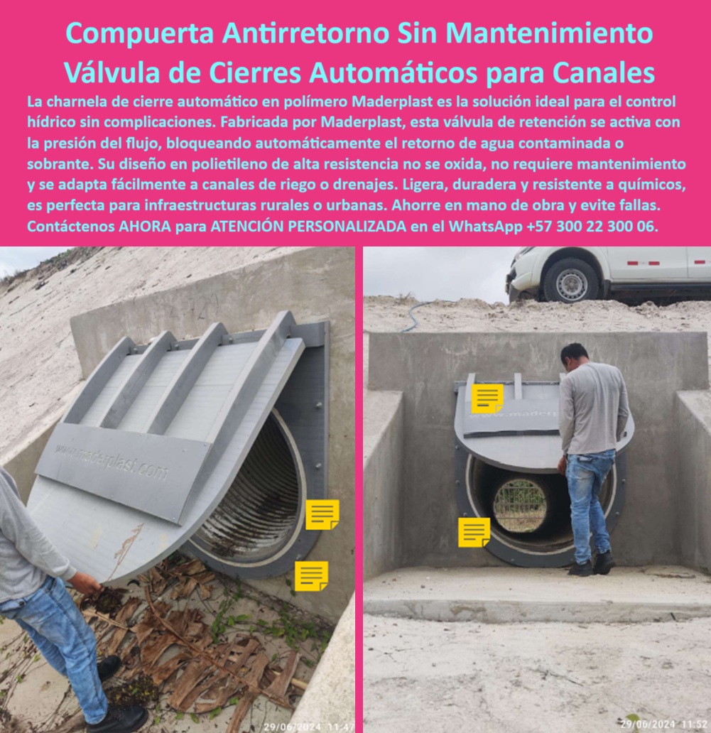 Fábrica De Charnelas Catálogo Tipos Modelos Tamaños Medidas Precios Apu Maderplast 0 La imagen presenta una compuerta tipo charnela circular instalada en la salida de un canal abierto de concreto, diseñada para operar con un sistema de cierre automático activado únicamente por la presión del flujo. Dos técnicos inspeccionan su funcionalidad, evidenciando su facilidad de operación y resistencia estructural. Esta válvula plástica tipo charnela para canal, fabricada por Maderplast en polietileno de alta resistencia, es la respuesta definitiva a una pregunta frecuente en el sector rural:, - ¿Qué compuerta sirve para cerrar automáticamente canales de riego? Respuesta Esta. - No requiere energía, no necesita mantenimiento, no lleva partes metálicas, y no se oxida. Es una válvula-de-retención-sin-presión, funcional incluso en climas agresivos o zonas alejadas de la infraestructura urbana. Su diseño en polímero técnico garantiza operación continua, liviana, con sistema antirretorno agrícola, perfecta para canales de riego, redes pluviales, PTAR, o drenajes por gravedad. Aquí no hay fallas, hay eficiencia. - ¿Qué es una charnela de cierre automático? Respuesta Es una compuerta hidráulica automática que se abre sola con la presión del agua y se cierra sola cuando el flujo cesa, bloqueando el reflujo de aguas contaminadas sin intervención humana. - ¿Cuál es la mejor válvula sin mantenimiento? Respuesta: La que lleva años funcionando sin una sola falla en campo, como esta de Maderplast. - ¿Sirve esta tapa para canal agrícola? Respuesta: No solo sirve, lo transforma. - Su forma redondeada se adapta a bocatomas, canales curvos, salidas de desagüe, sin grúas, sin soldadura, sin costos extra. Es una compuerta de cierre automático para canal, también llamada tapa-de-control-hídrico o tapa plástica anticorrosiva para drenaje, diseñada para durar décadas, resistiendo químicos, rayos UV, agua estancada y residuos. Su sistema es pasivo, pero su impacto es activo: mejora el flujo, protege la infraestructura y evita reflujo hidráulico incluso en épocas de lluvia intensa. - No se atasca, no se pega, no se rompe. Su bisagra tipo clapeta trabaja con precisión en cada ciclo de flujo. Es una válvula plástica unidireccional, la mejor aliada para proyectos agrícolas, redes rurales, canales de drenaje o zonas ambientalmente sensibles. No importa el caudal ni el terreno: su sistema hidráulico sin retorno polietileno actúa con lógica natural y eficiencia comprobada. - Es la válvula con bisagra tipo clapeta ideal para control de reflujo, cierre automático canal de riego, y sistemas unidireccionales para control de agua. Ya está disponible en distintos modelos, medidas y formatos según el catálogo técnico de Maderplast. - ¿Qué válvula evita reflujo en canales? Respuesta La que aparece en esta imagen. - ¿Qué compuerta funciona sin energía? Respuesta Maderplast. - ¿Qué compuerta funciona sin mantenimiento técnico? Respuesta: La que ves instalada y activa, sin óxido, sin pintura, sin quejas. - La válvula de retención en polímero que destaca en esta obra, responde a años de investigación en campo, siendo parte de los productos más solicitados del catálogo Maderplast, por su fiabilidad, bajo peso, larga vida útil y respuesta ante condiciones reales. - Contáctenos AHORA para ATENCIÓN PERSONALIZADA en el WhatsApp +57 300 22 300 06 y reciba acompañamiento directo del equipo técnico de Maderplast. - Porque no hay mejor garantía que la compuerta que no falla. No una vez, sino nunca. Y esa compuerta tiene nombre: Maderplast. Cierre pasivo, confianza activa. válvula de retención en polímero, - Qué compuerta sirve para cerrar automáticamente canales de riego, - charnela de cierre automático Ptar PP Fábrica De Charnelas Catálogo Tipos Modelos Tamaños Medidas Precios Apu Maderplast 0 válvula de retención en polímero Qué compuerta sirve para cerrar automáticamente canales de riego charnela de cierre automático Ptar PP 01 La imagen presenta una compuerta tipo charnela circular instalada en la salida de un canal abierto de concreto, diseñada para operar con un sistema de cierre automático activado únicamente por la presión del flujo. Dos técnicos inspeccionan su funcionalidad, evidenciando su facilidad de operación y resistencia estructural. Esta válvula plástica tipo charnela para canal, fabricada por Maderplast en polietileno de alta resistencia, es la respuesta definitiva a una pregunta frecuente en el sector rural:, - ¿Qué compuerta sirve para cerrar automáticamente canales de riego? Respuesta Esta. - No requiere energía, no necesita mantenimiento, no lleva partes metálicas, y no se oxida. Es una válvula-de-retención-sin-presión, funcional incluso en climas agresivos o zonas alejadas de la infraestructura urbana. Su diseño en polímero técnico garantiza operación continua, liviana, con sistema antirretorno agrícola, perfecta para canales de riego, redes pluviales, PTAR, o drenajes por gravedad. Aquí no hay fallas, hay eficiencia. - ¿Qué es una charnela de cierre automático? Respuesta Es una compuerta hidráulica automática que se abre sola con la presión del agua y se cierra sola cuando el flujo cesa, bloqueando el reflujo de aguas contaminadas sin intervención humana. - ¿Cuál es la mejor válvula sin mantenimiento? Respuesta: La que lleva años funcionando sin una sola falla en campo, como esta de Maderplast. - ¿Sirve esta tapa para canal agrícola? Respuesta: No solo sirve, lo transforma. - Su forma redondeada se adapta a bocatomas, canales curvos, salidas de desagüe, sin grúas, sin soldadura, sin costos extra. Es una compuerta de cierre automático para canal, también llamada tapa-de-control-hídrico o tapa plástica anticorrosiva para drenaje, diseñada para durar décadas, resistiendo químicos, rayos UV, agua estancada y residuos. Su sistema es pasivo, pero su impacto es activo: mejora el flujo, protege la infraestructura y evita reflujo hidráulico incluso en épocas de lluvia intensa. - No se atasca, no se pega, no se rompe. Su bisagra tipo clapeta trabaja con precisión en cada ciclo de flujo. Es una válvula plástica unidireccional, la mejor aliada para proyectos agrícolas, redes rurales, canales de drenaje o zonas ambientalmente sensibles. No importa el caudal ni el terreno: su sistema hidráulico sin retorno polietileno actúa con lógica natural y eficiencia comprobada. - Es la válvula con bisagra tipo clapeta ideal para control de reflujo, cierre automático canal de riego, y sistemas unidireccionales para control de agua. Ya está disponible en distintos modelos, medidas y formatos según el catálogo técnico de Maderplast. - ¿Qué válvula evita reflujo en canales? Respuesta La que aparece en esta imagen. - ¿Qué compuerta funciona sin energía? Respuesta Maderplast. - ¿Qué compuerta funciona sin mantenimiento técnico? Respuesta: La que ves instalada y activa, sin óxido, sin pintura, sin quejas. - La válvula de retención en polímero que destaca en esta obra, responde a años de investigación en campo, siendo parte de los productos más solicitados del catálogo Maderplast, por su fiabilidad, bajo peso, larga vida útil y respuesta ante condiciones reales. - Contáctenos AHORA para ATENCIÓN PERSONALIZADA en el WhatsApp +57 300 22 300 06 y reciba acompañamiento directo del equipo técnico de Maderplast. - Porque no hay mejor garantía que la compuerta que no falla. No una vez, sino nunca. Y esa compuerta tiene nombre: Maderplast. Cierre pasivo, confianza activa. Fábrica De Charnelas Catálogo Tipos Modelos Tamaños Medidas Precios Apu Maderplast 0 válvula de retención en polímero, - Qué compuerta sirve para cerrar automáticamente canales de riego, - charnela de cierre automático Ptar PP