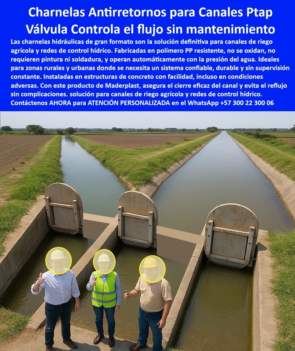 Instalación Charnela Compuertas Hidráulicas Canal De Riego Agrícola Maderplast 0 La imagen documenta un momento histórico en la ingeniería del riego en Colombia: las charnelas hidráulicas Maderplast instaladas en el canal de riego agrícola del Río Prado en Tolima han operado sin fallos por más de dos décadas y media. Frente a estas compuertas hidráulicas de gran formato, tres ingenieros del Distrito de Riego del sistema del Río Prado posan con orgullo. El testimonio es claro, directo y conmovedor: más de 25 años sin fallos, sin oxidación, sin soldadura, sin mantenimiento, pero con cierre perfecto y confiabilidad total. Esta obra demuestra por qué las soluciones Maderplast no envejecen: maduran con dignidad técnica y superan la prueba del tiempo. - Cada una de estas charnelas antirretornos para canales Ptap está instalada en una estructura de concreto, diseñada para soportar caudales importantes en canales de riego agrícola. Su diseño de tapa redonda resistente en canal de Tolima Colombia, fabricada en PP de alto rendimiento, permite un control de flujo sin mantenimiento, garantizando funcionamiento automático solo con la presión del agua. No se requiere energía externa, ni intervención técnica continua. Son válvulas antirretorno tipo clapeta que controlan el flujo sin energía, sin óxido y sin complicaciones. - ¿Y qué tipo de válvula se puede instalar en zonas rurales de alta demanda hidráulica? La respuesta está en la imagen: una compuerta redonda PP para canales rurales, una charnela plástica para canal agrícola Tolima, una válvula sin mantenimiento para canales rurales, diseñada especialmente para cultivos sensibles como el arroz. Su estructura resistente a aguas estancadas, sedimentación y cambios térmicos funciona incluso después de dos décadas de exposición al sol, lluvia y lodo. - Estas charnelas grandes instaladas en canal de riego agrícola eliminan por completo el riesgo de reflujo y la necesidad de mantenimiento constante. Su diseño de válvula unidireccional de canal concreto agrícola permite una operación confiable en zonas donde la intervención técnica no siempre es posible. Con una tapa plástica de gran diámetro para red hídrica, fabricada por Maderplast, el sistema funciona automáticamente, como debe hacerlo una válvula hidráulica sin óxido para riego por gravedad. - La comunidad agrícola lo sabe. Lo dicen los testimonios de quienes operan el canal: no hubo necesidad de reparar, ni de hacer soldadura, ni de reemplazar piezas. Las charnelas duraderas para riego por gravedad se convirtieron en parte estructural del canal, y siguen funcionando como el primer día. Estas compuertas, además de permitir paso unidireccional, bloquean eficazmente el retorno en épocas de lluvias o picos de caudal. Son la solución cuando se pregunta: ¿Cuál es la válvula para canales de riego agrícolas?, o ¿Dónde consigo charnelas para canal de arroz?. - Maderplast diseñó estas compuertas para durar. Y lo han logrado. Su bajo peso, resistencia química, facilidad de instalación sin soldadura y eficiencia operativa en condiciones reales las convierten en el nuevo estándar de calidad. Un sistema así no solo controla el flujo sin mantenimiento, también protege las redes hídricas de grandes dimensiones, con una tapa plástica de Ptap PP sistema de control hídrico grandes dimensiones inoxidable que actúa como una muralla hidráulica silenciosa y eficiente. - Contáctenos AHORA para ATENCIÓN PERSONALIZADA en el WhatsApp +57 300 22 300 06 y reciba acompañamiento directo del equipo técnico de Maderplast. Porque lo que dura 25 años sin fallos, no es suerte: es ingeniería. Y esa ingeniería se llama Maderplast. Tecnología que riega la confianza. protección de redes hídricas grandes dimensiones inoxidable, - Tapa plástica de Ptap PP sistema de control hídrico grandes dimensiones inoxidable Instalación Charnela Compuertas Hidráulicas Canal De Riego Agrícola Maderplast 0 protección de redes hídricas grandes dimensiones inoxidable Tapa plástica de Ptap PP sistema de control hídrico grandes dimensiones inoxidable 01 La imagen documenta un momento histórico en la ingeniería del riego en Colombia: las charnelas hidráulicas Maderplast instaladas en el canal de riego agrícola del Río Prado en Tolima han operado sin fallos por más de dos décadas y media. Frente a estas compuertas hidráulicas de gran formato, tres ingenieros del Distrito de Riego del sistema del Río Prado posan con orgullo. El testimonio es claro, directo y conmovedor: más de 25 años sin fallos, sin oxidación, sin soldadura, sin mantenimiento, pero con cierre perfecto y confiabilidad total. Esta obra demuestra por qué las soluciones Maderplast no envejecen: maduran con dignidad técnica y superan la prueba del tiempo. - Cada una de estas charnelas antirretornos para canales Ptap está instalada en una estructura de concreto, diseñada para soportar caudales importantes en canales de riego agrícola. Su diseño de tapa redonda resistente en canal de Tolima Colombia, fabricada en PP de alto rendimiento, permite un control de flujo sin mantenimiento, garantizando funcionamiento automático solo con la presión del agua. No se requiere energía externa, ni intervención técnica continua. Son válvulas antirretorno tipo clapeta que controlan el flujo sin energía, sin óxido y sin complicaciones. - ¿Y qué tipo de válvula se puede instalar en zonas rurales de alta demanda hidráulica? La respuesta está en la imagen: una compuerta redonda PP para canales rurales, una charnela plástica para canal agrícola Tolima, una válvula sin mantenimiento para canales rurales, diseñada especialmente para cultivos sensibles como el arroz. Su estructura resistente a aguas estancadas, sedimentación y cambios térmicos funciona incluso después de dos décadas de exposición al sol, lluvia y lodo. - Estas charnelas grandes instaladas en canal de riego agrícola eliminan por completo el riesgo de reflujo y la necesidad de mantenimiento constante. Su diseño de válvula unidireccional de canal concreto agrícola permite una operación confiable en zonas donde la intervención técnica no siempre es posible. Con una tapa plástica de gran diámetro para red hídrica, fabricada por Maderplast, el sistema funciona automáticamente, como debe hacerlo una válvula hidráulica sin óxido para riego por gravedad. - La comunidad agrícola lo sabe. Lo dicen los testimonios de quienes operan el canal: no hubo necesidad de reparar, ni de hacer soldadura, ni de reemplazar piezas. Las charnelas duraderas para riego por gravedad se convirtieron en parte estructural del canal, y siguen funcionando como el primer día. Estas compuertas, además de permitir paso unidireccional, bloquean eficazmente el retorno en épocas de lluvias o picos de caudal. Son la solución cuando se pregunta: ¿Cuál es la válvula para canales de riego agrícolas?, o ¿Dónde consigo charnelas para canal de arroz?. - Maderplast diseñó estas compuertas para durar. Y lo han logrado. Su bajo peso, resistencia química, facilidad de instalación sin soldadura y eficiencia operativa en condiciones reales las convierten en el nuevo estándar de calidad. Un sistema así no solo controla el flujo sin mantenimiento, también protege las redes hídricas de grandes dimensiones, con una tapa plástica de Ptap PP sistema de control hídrico grandes dimensiones inoxidable que actúa como una muralla hidráulica silenciosa y eficiente. - Contáctenos AHORA para ATENCIÓN PERSONALIZADA en el WhatsApp +57 300 22 300 06 y reciba acompañamiento directo del equipo técnico de Maderplast. Porque lo que dura 25 años sin fallos, no es suerte: es ingeniería. Y esa ingeniería se llama Maderplast. Tecnología que riega la confianza. Instalación Charnela Compuertas Hidráulicas Canal De Riego Agrícola Maderplast 0 protección de redes hídricas grandes dimensiones inoxidable, - Tapa plástica de Ptap PP sistema de control hídrico grandes dimensiones inoxidable