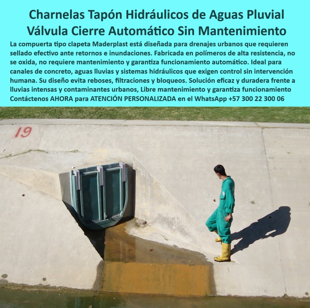 Válvulas Charnela En Canales De Aguas Instalación Control Hidráulico Maderplast 0 La imagen muestra la charnela número 19, instalada en el año 2001 como parte del plan de mitigación implementado por el Distrito para evitar las inundaciones que históricamente afectaron los barrios del sur de Bogotá. Esta válvula tipo clapeta, fabricada por Maderplast, se encuentra ubicada sobre el canal del río Fucha, uno de los principales afluentes urbanos que, en temporadas de lluvias intensas, solía desbordarse y provocar emergencias hídricas recurrentes. - Tras las inundaciones de ese año, Bogotá implementó una solución técnica basada en charnelas hidráulicas de control automático, instalando más de 125 unidades en los canales del Fucha y otras vertientes del río Bogotá. Estas válvulas funcionan de forma completamente pasiva: se cierran automáticamente mediante presión hidráulica inversa, sin necesidad de electricidad, sistemas mecánicos ni intervención humana. Gracias a su diseño inteligente, se han convertido en la solución preferida para drenaje urbano con compuerta tipo clapeta sin mantenimiento, permitiendo proteger zonas vulnerables sin generar costos operativos elevados. - Esta compuerta, con más de dos décadas de funcionamiento ininterrumpido, representa una de las válvulas hidráulicas urbanas de mayor efectividad comprobada en Colombia. Está fabricada en polímero técnico de alta resistencia, un material que no se oxida, no se corroe y resiste sin desgaste la exposición continua a químicos, aguas contaminadas y radiación UV. Su desempeño operativo ha sido tan estable que el único mantenimiento que requiere es una revisión preventiva antes y después de la temporada de lluvias, evidenciando su confiabilidad incluso en condiciones exigentes. - El sistema completo de tapones hidráulicos para aguas pluviales instalado en Bogotá permite controlar el reflujo en canales de concreto, evitando el retorno del agua hacia barrios enteros, calles, viviendas y redes internas de saneamiento. Gracias a este diseño, los barrios del sur que antes sufrían reboses constantes, hoy se mantienen libres de inundaciones incluso en los eventos más severos. - Este modelo de válvula urbana automática para control pluvial, diseñado por Maderplast, ofrece un funcionamiento silencioso y continuo, adaptado a zonas urbanas densamente pobladas. La charnela se activa únicamente por la presión del agua, cerrándose de inmediato en caso de subida de nivel, y volviendo a abrirse cuando el flujo normal se restablece. Su estructura compacta, robusta y estéticamente discreta se instala en muros de concreto con mínimo impacto visual, y su desempeño ha sido elogiado tanto por ingenieros como por técnicos de mantenimiento de la ciudad. - Actualmente, el sistema urbano de compuertas tipo charnela instalado en Bogotá se considera una de las soluciones más exitosas de infraestructura hidráulica urbana implementadas en América Latina. Esta compuerta instalada en canal del sur de Bogotá tras las inundaciones no sólo sigue funcionando sin fallas después de más de 20 años, sino que representa un modelo replicable para otras ciudades que enfrentan problemas similares con aguas lluvias, canales de desagüe o vertimientos urbanos. - Gracias a su diseño tipo charnela urbana contra inundaciones, este sistema ha reducido la exposición de la ciudad a emergencias pluviales y ha optimizado la operación de canales concretos mediante un control automático, sin presión y sin energía. Hoy, Bogotá puede afirmar con respaldo técnico que su solución antirretorno para barrios del sur fue efectiva, económica y duradera. - Si deseas implementar un sistema similar en tu municipio, empresa de servicios públicos o proyecto de control de lluvias urbanas, contáctanos ahora a través de WhatsApp +57 300 22 300 06 y accede a ATENCIÓN PERSONALIZADA con respaldo directo del equipo de ingeniería Maderplast. Te brindamos acompañamiento desde el diseño hasta la instalación, con compuertas hidráulicas que han demostrado su capacidad técnica en campo, frente a más de 20 años de servicio sin interrupciones. Drenaje urbano con compuerta tipo clapeta, - tapón de agua pluvial, - drenaje con tapa automática, - Sistema hidráulico con charnela, Tapa Ptar Válvulas Charnela En Canales De Aguas Instalación Control Hidráulico Maderplast 0 Drenaje urbano con compuerta tipo clapeta tapón de agua pluvial drenaje con tapa automática Sistema hidráulico con charnela Tapa Ptar 01 La imagen muestra la charnela número 19, instalada en el año 2001 como parte del plan de mitigación implementado por el Distrito para evitar las inundaciones que históricamente afectaron los barrios del sur de Bogotá. Esta válvula tipo clapeta, fabricada por Maderplast, se encuentra ubicada sobre el canal del río Fucha, uno de los principales afluentes urbanos que, en temporadas de lluvias intensas, solía desbordarse y provocar emergencias hídricas recurrentes. - Tras las inundaciones de ese año, Bogotá implementó una solución técnica basada en charnelas hidráulicas de control automático, instalando más de 125 unidades en los canales del Fucha y otras vertientes del río Bogotá. Estas válvulas funcionan de forma completamente pasiva: se cierran automáticamente mediante presión hidráulica inversa, sin necesidad de electricidad, sistemas mecánicos ni intervención humana. Gracias a su diseño inteligente, se han convertido en la solución preferida para drenaje urbano con compuerta tipo clapeta sin mantenimiento, permitiendo proteger zonas vulnerables sin generar costos operativos elevados. - Esta compuerta, con más de dos décadas de funcionamiento ininterrumpido, representa una de las válvulas hidráulicas urbanas de mayor efectividad comprobada en Colombia. Está fabricada en polímero técnico de alta resistencia, un material que no se oxida, no se corroe y resiste sin desgaste la exposición continua a químicos, aguas contaminadas y radiación UV. Su desempeño operativo ha sido tan estable que el único mantenimiento que requiere es una revisión preventiva antes y después de la temporada de lluvias, evidenciando su confiabilidad incluso en condiciones exigentes. - El sistema completo de tapones hidráulicos para aguas pluviales instalado en Bogotá permite controlar el reflujo en canales de concreto, evitando el retorno del agua hacia barrios enteros, calles, viviendas y redes internas de saneamiento. Gracias a este diseño, los barrios del sur que antes sufrían reboses constantes, hoy se mantienen libres de inundaciones incluso en los eventos más severos. - Este modelo de válvula urbana automática para control pluvial, diseñado por Maderplast, ofrece un funcionamiento silencioso y continuo, adaptado a zonas urbanas densamente pobladas. La charnela se activa únicamente por la presión del agua, cerrándose de inmediato en caso de subida de nivel, y volviendo a abrirse cuando el flujo normal se restablece. Su estructura compacta, robusta y estéticamente discreta se instala en muros de concreto con mínimo impacto visual, y su desempeño ha sido elogiado tanto por ingenieros como por técnicos de mantenimiento de la ciudad. - Actualmente, el sistema urbano de compuertas tipo charnela instalado en Bogotá se considera una de las soluciones más exitosas de infraestructura hidráulica urbana implementadas en América Latina. Esta compuerta instalada en canal del sur de Bogotá tras las inundaciones no sólo sigue funcionando sin fallas después de más de 20 años, sino que representa un modelo replicable para otras ciudades que enfrentan problemas similares con aguas lluvias, canales de desagüe o vertimientos urbanos. - Gracias a su diseño tipo charnela urbana contra inundaciones, este sistema ha reducido la exposición de la ciudad a emergencias pluviales y ha optimizado la operación de canales concretos mediante un control automático, sin presión y sin energía. Hoy, Bogotá puede afirmar con respaldo técnico que su solución antirretorno para barrios del sur fue efectiva, económica y duradera. - Si deseas implementar un sistema similar en tu municipio, empresa de servicios públicos o proyecto de control de lluvias urbanas, contáctanos ahora a través de WhatsApp +57 300 22 300 06 y accede a ATENCIÓN PERSONALIZADA con respaldo directo del equipo de ingeniería Maderplast. Te brindamos acompañamiento desde el diseño hasta la instalación, con compuertas hidráulicas que han demostrado su capacidad técnica en campo, frente a más de 20 años de servicio sin interrupciones. Válvulas Charnela En Canales De Aguas Instalación Control Hidráulico Maderplast 0 Drenaje urbano con compuerta tipo clapeta, - tapón de agua pluvial, - drenaje con tapa automática, - Sistema hidráulico con charnela, Tapa Ptar