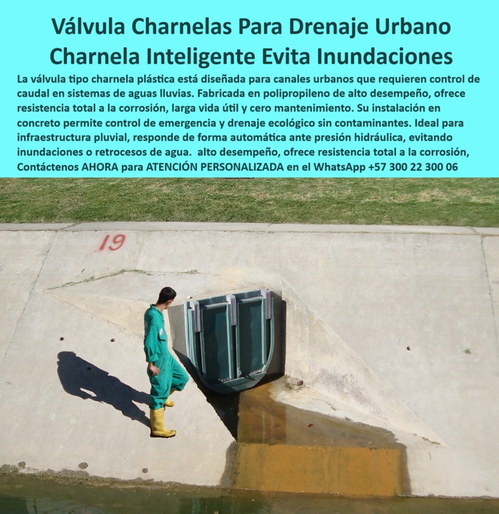 Válvulas Charnela En Canales De Aguas Instalación Control Hidráulico Maderplast 0 Válvula Charnela Inteligente para Drenaje Urbano: Control Hidráulico Ecológico Sin Energía ni Mantenimiento, - La imagen muestra una válvula charnela para canal urbano fabricada por Maderplast, instalada sobre un canal de concreto como parte de un sistema de drenaje-urbano-inteligente. Esta válvula charnela para drenaje urbano forma parte de una solución ecológica, eficiente y duradera, diseñada especialmente para el control hídrico de emergencia en sistemas urbanos de aguas lluvias. - El dispositivo, hecho en polipropileno técnico de alto desempeño, cumple con los requisitos de una válvula ecológica de canal: no contiene partes metálicas, es inmune a la corrosión, y opera de manera pasiva. Su acción de cierre por presión hidráulica convierte esta charnela-concreto-pluvial en una barrera automática contra inundaciones, lo que la clasifica como una auténtica válvula anti reflujo para canal de concreto, ideal en infraestructura hidráulica pluvial sin necesidad de energía ni supervisión continua. - Esta compuerta automática para lluvia urbana está firmemente anclada a una estructura de concreto, como se ve en la imagen, donde un operario inspecciona su estado, lo cual da escala y contexto al funcionamiento de esta solución. La válvula sin motor ni mantenimiento responde automáticamente al aumento del nivel del agua, activándose como parte de un sistema hidráulico sin energía para canales, lo que permite la instalación de charnela urbana para control hídrico en proyectos sostenibles. - El diseño de esta compuerta hidráulica ecológica urbana cumple funciones múltiples: sirve como válvula inteligente sin partes metálicas, como clapeta de drenaje pluvial sin energía, y como compuerta urbana para aguas lluvias de reacción inmediata. Funciona también como compuerta plástica automática urbana, evitando fallas mecánicas o eléctricas, lo que reduce drásticamente los costos de operación a largo plazo. - La compuerta ecológica para aguas lluvias es ideal para sistemas de recolección en zonas urbanas, parques, canales viales, avenidas pluviales, pasos vehiculares o peatonales. Esta solución-hidráulica-urbana responde a necesidades reales de ingenieros municipales y contratistas que se preguntan: ¿Qué compuerta usar en canal urbano sin motor?, ¿Qué tapa sirve para evitar inundaciones?, ¿Dónde venden válvulas para aguas lluvias?, o ¿Qué compuerta resiste químicos y no se oxida?, - Este sistema funciona como una charnela hidráulica para zonas urbanas, integrándose en el sistema de charnela para tapar el reflujo sin necesidad de electricidad. Su eficiencia comprobada la hace perfecta como válvula pasiva de alta resistencia, brindando soluciones a largo plazo. Si se requiere una válvula de control de agua en ciudad que opere sin fallos, esta es la opción adecuada. - El producto también se reconoce como charnela de control hidráulico, aplicada en compuerta-ecológica-ciudad, como válvula plástica automática sin energía en canal y en obras con compuerta plástica para canales de lluvia, donde el control hídrico urbano es crítico. Esta compuerta-control-pluvial es parte esencial en proyectos de infraestructura de mitigación hídrica, donde la presión del agua activa el mecanismo de forma eficiente, sin desgaste. - Al ser parte del catálogo de Maderplast, esta válvula-hidráulica-urbana también actúa como charnela para control ecológico de drenajes, ideal en zonas de alto tráfico, humedales urbanos o áreas de expansión urbana. Se integra como compuerta urbana de polipropileno técnico en sistemas de canalización y drenaje urbano, asegurando operación continua incluso en condiciones extremas. - Y si buscas una respuesta a: ¿Cuál es la mejor válvula pasiva urbana?, esta solución de Maderplast es la más confiable y rentable del mercado. - Para más información o cotizaciones personalizadas, contáctanos directamente por WhatsApp +57 300 22 300 06 y descubre la solución definitiva para el sistema-anti-inundaciones urbano que tu proyecto necesita. drenaje urbano controlado, - válvula ecológica de canal, - infraestructura hidráulica pluvial, - control hídrico de emergencia, tapa de Ptar pp Válvulas Charnela En Canales De Aguas Instalación Control Hidráulico Maderplast 0 drenaje urbano controlado válvula ecológica de canal infraestructura hidráulica pluvial control hídrico de emergencia tapa de Ptar pp 01 Válvula Charnela Inteligente para Drenaje Urbano: Control Hidráulico Ecológico Sin Energía ni Mantenimiento, - La imagen muestra una válvula charnela para canal urbano fabricada por Maderplast, instalada sobre un canal de concreto como parte de un sistema de drenaje-urbano-inteligente. Esta válvula charnela para drenaje urbano forma parte de una solución ecológica, eficiente y duradera, diseñada especialmente para el control hídrico de emergencia en sistemas urbanos de aguas lluvias. - El dispositivo, hecho en polipropileno técnico de alto desempeño, cumple con los requisitos de una válvula ecológica de canal: no contiene partes metálicas, es inmune a la corrosión, y opera de manera pasiva. Su acción de cierre por presión hidráulica convierte esta charnela-concreto-pluvial en una barrera automática contra inundaciones, lo que la clasifica como una auténtica válvula anti reflujo para canal de concreto, ideal en infraestructura hidráulica pluvial sin necesidad de energía ni supervisión continua. - Esta compuerta automática para lluvia urbana está firmemente anclada a una estructura de concreto, como se ve en la imagen, donde un operario inspecciona su estado, lo cual da escala y contexto al funcionamiento de esta solución. La válvula sin motor ni mantenimiento responde automáticamente al aumento del nivel del agua, activándose como parte de un sistema hidráulico sin energía para canales, lo que permite la instalación de charnela urbana para control hídrico en proyectos sostenibles. - El diseño de esta compuerta hidráulica ecológica urbana cumple funciones múltiples: sirve como válvula inteligente sin partes metálicas, como clapeta de drenaje pluvial sin energía, y como compuerta urbana para aguas lluvias de reacción inmediata. Funciona también como compuerta plástica automática urbana, evitando fallas mecánicas o eléctricas, lo que reduce drásticamente los costos de operación a largo plazo. - La compuerta ecológica para aguas lluvias es ideal para sistemas de recolección en zonas urbanas, parques, canales viales, avenidas pluviales, pasos vehiculares o peatonales. Esta solución-hidráulica-urbana responde a necesidades reales de ingenieros municipales y contratistas que se preguntan: ¿Qué compuerta usar en canal urbano sin motor?, ¿Qué tapa sirve para evitar inundaciones?, ¿Dónde venden válvulas para aguas lluvias?, o ¿Qué compuerta resiste químicos y no se oxida?, - Este sistema funciona como una charnela hidráulica para zonas urbanas, integrándose en el sistema de charnela para tapar el reflujo sin necesidad de electricidad. Su eficiencia comprobada la hace perfecta como válvula pasiva de alta resistencia, brindando soluciones a largo plazo. Si se requiere una válvula de control de agua en ciudad que opere sin fallos, esta es la opción adecuada. - El producto también se reconoce como charnela de control hidráulico, aplicada en compuerta-ecológica-ciudad, como válvula plástica automática sin energía en canal y en obras con compuerta plástica para canales de lluvia, donde el control hídrico urbano es crítico. Esta compuerta-control-pluvial es parte esencial en proyectos de infraestructura de mitigación hídrica, donde la presión del agua activa el mecanismo de forma eficiente, sin desgaste. - Al ser parte del catálogo de Maderplast, esta válvula-hidráulica-urbana también actúa como charnela para control ecológico de drenajes, ideal en zonas de alto tráfico, humedales urbanos o áreas de expansión urbana. Se integra como compuerta urbana de polipropileno técnico en sistemas de canalización y drenaje urbano, asegurando operación continua incluso en condiciones extremas. - Y si buscas una respuesta a: ¿Cuál es la mejor válvula pasiva urbana?, esta solución de Maderplast es la más confiable y rentable del mercado. - Para más información o cotizaciones personalizadas, contáctanos directamente por WhatsApp +57 300 22 300 06 y descubre la solución definitiva para el sistema-anti-inundaciones urbano que tu proyecto necesita. Válvulas Charnela En Canales De Aguas Instalación Control Hidráulico Maderplast 0 drenaje urbano controlado, - válvula ecológica de canal, - infraestructura hidráulica pluvial, - control hídrico de emergencia, tapa de Ptar pp