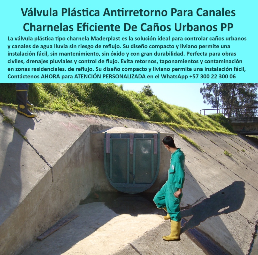Válvulas Charnela En Canales De Aguas Instalación Control Hidráulico Maderplast 0 Válvula Plástica Antirretorno Maderplast para Caños Urbanos: charnela eficiente, sin óxido, sin mantenimiento, instalada desde 2001 en Bogotá y aún operativa, - La imagen documenta la compuerta número 78, una de las válvulas plásticas tipo charnela Maderplast instaladas en los canales urbanos del río Fucha en Bogotá desde el año 2001. Su instalación respondió a una necesidad urgente: controlar los reflujos de aguas contaminadas durante lluvias intensas que afectaron viviendas, barrios enteros y sistemas de drenaje público. Desde ese momento y hasta hoy, más de dos décadas después, esta solución sigue funcionando sin interrupciones ni fallos, convirtiéndose en una referencia confiable de infraestructura hidráulica urbana. - Esta válvula plástica para caños ha probado su efectividad gracias a su diseño compacto, robusto y fabricado en polímero técnico de ingeniería, lo que le da una durabilidad superior sin presentar oxidación, corrosión o deformaciones. Su forma rectangular tipo tapa hidráulica se adapta perfectamente al canal de concreto inclinado, como se observa en la imagen. Un operario técnico realiza inspección visual de rutina, algo que se hace exclusivamente antes y después de las temporadas de lluvias, siendo ese el único mantenimiento requerido en más de 20 años de servicio continuo. - Al tratarse de una compuerta hidráulica compacta, su funcionamiento es completamente automático: abre al paso del agua por presión hidráulica y se cierra inmediatamente al cesar el flujo, sin necesidad de electricidad, operadores, ni partes móviles metálicas. Esta compuerta tipo charnela para alcantarillas urbanas es ideal para caños urbanos con inclinación, canales pluviales, drenajes secundarios y salidas de alcantarillado expuestas. El control de caudal urbano es inmediato, pasivo y libre de intervención. - En el caso puntual de la charnela-antireflujo-urbano, su ligereza no compromete su resistencia: soporta impacto, presión variable, taponamientos por sedimentos o residuos, y su sellado hermético impide tanto el reflujo de líquidos contaminados como el ingreso de gases, plagas y olores al sistema. Es una solución ecológica y económica, que supera por mucho a válvulas metálicas u obsoletas. Su eficiencia ha evitado por completo que el río Fucha se desborde o inunde las casas vecinas, manteniendo el sistema de drenaje funcional, seguro y libre de devoluciones desde el 2001. - Esta compuerta plástica verde instalada en canal urbano de concreto se activa sin presión interna, por simple diferencia hidráulica, y es usada ampliamente en caños urbanos con sedimentos, canales sin presión, pendientes canalizadas, y redes secundarias de desagüe en sectores residenciales. Su perfil bajo y diseño optimizado permiten instalación en espacios reducidos, como se aprecia en este canal estrecho donde su acople fue exacto. La tapa hidráulica ligera evita obstáculos al paso del flujo natural, se cierra herméticamente sin asistencia externa y previene taponamientos en canales abiertos. - Cuando se habla de control sin intervención, esta válvula representa lo mejor de la infraestructura urbana sin mantenimiento intensivo, respaldada por una historia de más de 20 años de funcionamiento constante. No solo resiste lluvias torrenciales, sino que elimina el riesgo de inundaciones en épocas críticas. Esta válvula plástica antirretorno para caños urbanos ha sido preferida por ingenieros civiles y planeadores urbanos por ser una tecnología sostenible, ligera y libre de mantenimiento, que responde con eficiencia a fenómenos climáticos severos y a la variabilidad hidráulica de la ciudad. - El sistema de charnela eficiente en caños con sedimentos, permite que incluso residuos como arena, hojas o residuos flotantes sean empujados sin crear bloqueos. Su forma de tapa antirretorno caño urbano inclinación se adapta a diferentes geometrías sin riesgo de filtración, deformación ni oxidación. - Contáctenos AHORA para ATENCIÓN PERSONALIZADA en el WhatsApp +57 300 22 300 06 y reciba asesoría directa del equipo técnico de Maderplast. Le ofrecemos la solución antirretorno más confiable y duradera del mercado para canales urbanos, pluviales o rurales, con entrega inmediata, soporte profesional y sin mantenimiento por décadas. válvula plástica para caños, - compuerta hidráulica compacta, - Caño urbano con válvula plástica control, -Tapa de agua pluvial para canal Ptar Válvulas Charnela En Canales De Aguas Instalación Control Hidráulico Maderplast 0 válvula plástica para caños compuerta hidráulica compacta Caño urbano con válvula plástica control Tapa de agua pluvial para canal Ptar 01 Válvula Plástica Antirretorno Maderplast para Caños Urbanos: charnela eficiente, sin óxido, sin mantenimiento, instalada desde 2001 en Bogotá y aún operativa, - La imagen documenta la compuerta número 78, una de las válvulas plásticas tipo charnela Maderplast instaladas en los canales urbanos del río Fucha en Bogotá desde el año 2001. Su instalación respondió a una necesidad urgente: controlar los reflujos de aguas contaminadas durante lluvias intensas que afectaron viviendas, barrios enteros y sistemas de drenaje público. Desde ese momento y hasta hoy, más de dos décadas después, esta solución sigue funcionando sin interrupciones ni fallos, convirtiéndose en una referencia confiable de infraestructura hidráulica urbana. - Esta válvula plástica para caños ha probado su efectividad gracias a su diseño compacto, robusto y fabricado en polímero técnico de ingeniería, lo que le da una durabilidad superior sin presentar oxidación, corrosión o deformaciones. Su forma rectangular tipo tapa hidráulica se adapta perfectamente al canal de concreto inclinado, como se observa en la imagen. Un operario técnico realiza inspección visual de rutina, algo que se hace exclusivamente antes y después de las temporadas de lluvias, siendo ese el único mantenimiento requerido en más de 20 años de servicio continuo. - Al tratarse de una compuerta hidráulica compacta, su funcionamiento es completamente automático: abre al paso del agua por presión hidráulica y se cierra inmediatamente al cesar el flujo, sin necesidad de electricidad, operadores, ni partes móviles metálicas. Esta compuerta tipo charnela para alcantarillas urbanas es ideal para caños urbanos con inclinación, canales pluviales, drenajes secundarios y salidas de alcantarillado expuestas. El control de caudal urbano es inmediato, pasivo y libre de intervención. - En el caso puntual de la charnela-antireflujo-urbano, su ligereza no compromete su resistencia: soporta impacto, presión variable, taponamientos por sedimentos o residuos, y su sellado hermético impide tanto el reflujo de líquidos contaminados como el ingreso de gases, plagas y olores al sistema. Es una solución ecológica y económica, que supera por mucho a válvulas metálicas u obsoletas. Su eficiencia ha evitado por completo que el río Fucha se desborde o inunde las casas vecinas, manteniendo el sistema de drenaje funcional, seguro y libre de devoluciones desde el 2001. - Esta compuerta plástica verde instalada en canal urbano de concreto se activa sin presión interna, por simple diferencia hidráulica, y es usada ampliamente en caños urbanos con sedimentos, canales sin presión, pendientes canalizadas, y redes secundarias de desagüe en sectores residenciales. Su perfil bajo y diseño optimizado permiten instalación en espacios reducidos, como se aprecia en este canal estrecho donde su acople fue exacto. La tapa hidráulica ligera evita obstáculos al paso del flujo natural, se cierra herméticamente sin asistencia externa y previene taponamientos en canales abiertos. - Cuando se habla de control sin intervención, esta válvula representa lo mejor de la infraestructura urbana sin mantenimiento intensivo, respaldada por una historia de más de 20 años de funcionamiento constante. No solo resiste lluvias torrenciales, sino que elimina el riesgo de inundaciones en épocas críticas. Esta válvula plástica antirretorno para caños urbanos ha sido preferida por ingenieros civiles y planeadores urbanos por ser una tecnología sostenible, ligera y libre de mantenimiento, que responde con eficiencia a fenómenos climáticos severos y a la variabilidad hidráulica de la ciudad. - El sistema de charnela eficiente en caños con sedimentos, permite que incluso residuos como arena, hojas o residuos flotantes sean empujados sin crear bloqueos. Su forma de tapa antirretorno caño urbano inclinación se adapta a diferentes geometrías sin riesgo de filtración, deformación ni oxidación. - Contáctenos AHORA para ATENCIÓN PERSONALIZADA en el WhatsApp +57 300 22 300 06 y reciba asesoría directa del equipo técnico de Maderplast. Le ofrecemos la solución antirretorno más confiable y duradera del mercado para canales urbanos, pluviales o rurales, con entrega inmediata, soporte profesional y sin mantenimiento por décadas. Válvulas Charnela En Canales De Aguas Instalación Control Hidráulico Maderplast 0 válvula plástica para caños, - compuerta hidráulica compacta, - Caño urbano con válvula plástica control, -Tapa de agua pluvial para canal Ptar