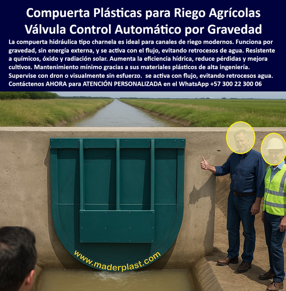 Válvulas Y Control Hidráulico Canales De Riego Compuertas Charnelas Maderplast 0 Compuerta Plástica Automática para Riego Agrícola por Gravedad, - Válvula tipo Charnela Maderplast: Control Eficiente de Agua sin Energía ni Mantenimiento, - En la imagen se observa una compuerta hidráulica plástica de gran diámetro instalada sobre un canal agrícola revestido en concreto, donde el control automático de agua en riego es esencial para garantizar el buen desempeño hídrico en el campo. Se trata de una válvula tipo charnela para uso agrícola, fabricada por Maderplast en polímero técnico anticorrosivo, diseñada para operar por gravedad sin necesidad de motores, bombas, sensores, ni electricidad. Esta tecnología ha revolucionado los sistemas de riego tecnificado al proporcionar un sistema de cierre por gravedad canal completamente autónomo, seguro y de alta eficiencia. - La compuerta plástica verde instalada en canal que se aprecia en la fotografía opera con una apertura automática sin motor, sincronizada con el flujo natural del agua. En su posición cerrada, evita el retroceso de agua hacia las fuentes de captación, mientras que al activarse por presión positiva, permite un flujo unidireccional continuo y sin turbulencias. Esta compuerta moderna de canal de riego automatizado cumple funciones de válvula antirretorno por gravedad, siendo fundamental para reducir pérdidas, controlar caudales y evitar anegamientos innecesarios en redes de cultivo. - Su estructura reforzada sin partes metálicas elimina completamente el riesgo de oxidación, lo que la convierte en una compuerta hidráulica anticorrosiva para riego, resistente a la radiación solar, químicos agrícolas, humedad y ciclos de sedimentación. El control de caudal agrícola con compuerta Maderplast se traduce en eficiencia hídrica, mejora de cultivos y menor gasto en mantenimiento. - Al costado derecho de la imagen, se observa a dos técnicos de obra y un ingeniero supervisor validando la instalación in situ, comprobando que el sistema de control hídrico agrícola funciona correctamente. Al fondo, el sistema hidráulico visible en canal de campo refleja el compromiso de Maderplast con la optimización del recurso hídrico en zonas rurales. Esta compuerta de agua por gravedad es ideal para zonas donde no se dispone de energía eléctrica confiable, permitiendo instalar válvulas inteligentes sin costos de operación a largo plazo. - Cada una de estas soluciones Maderplast ha sido pensada para proyectos agrícolas tecnificados, granjas y distritos de riego, donde la confiabilidad, la simplicidad operativa y la resistencia a las condiciones adversas del campo son fundamentales. La válvula actúa como charnela para proyectos de riego, compatible con inspección visual o por dron, facilitando el mantenimiento preventivo remoto sin intervenir físicamente la estructura. - Esta compuerta plástica de flujo controlado permite una instalación rápida para canales agrícolas gracias a su diseño liviano, modular y adaptable a distintas geometrías de canal, sin necesidad de maquinaria pesada. Con esto, Maderplast se consolida como el fabricante colombiano con visión global que ofrece válvulas plásticas resistentes a químicos de última generación para riego a gran escala. - La tapa de canal de riego automatizada observada en la imagen cumple con los más exigentes requisitos de las alcaldías rurales, secretarías de agricultura, ministerios de obras públicas, asociaciones de usuarios de riego, y operadores privados que buscan modernizar sus infraestructuras sin depender de recursos energéticos. - ¿Qué válvula evita reflujo en canales agrícolas sin presión ni mantenimiento?, - La respuesta está aquí, en cada charnela Maderplast por gravedad, desarrollada con ingeniería de punta y entregada llave en mano desde fábrica hasta su finca. - Contáctenos AHORA para ATENCIÓN PERSONALIZADA en el WhatsApp +57 300 22 300 06 y reciba asesoría técnica directa del equipo de ingeniería Maderplast para su proyecto agrícola. Con más de 25 años de experiencia, diseñamos e instalamos la solución exacta que su canal necesita compuerta para riego agrícola, - Compuerta moderna de canal de riego automatizado, - compuerta de agua por gravedad, Dron supervisa válvula Ptap Válvulas Y Control Hidráulico Canales De Riego Compuertas Charnelas Maderplast 0 compuerta para riego agrícola Compuerta moderna de canal de riego automatizado compuerta de agua por gravedad Dron supervisa válvula Ptap 01 Compuerta Plástica Automática para Riego Agrícola por Gravedad, - Válvula tipo Charnela Maderplast: Control Eficiente de Agua sin Energía ni Mantenimiento, - En la imagen se observa una compuerta hidráulica plástica de gran diámetro instalada sobre un canal agrícola revestido en concreto, donde el control automático de agua en riego es esencial para garantizar el buen desempeño hídrico en el campo. Se trata de una válvula tipo charnela para uso agrícola, fabricada por Maderplast en polímero técnico anticorrosivo, diseñada para operar por gravedad sin necesidad de motores, bombas, sensores, ni electricidad. Esta tecnología ha revolucionado los sistemas de riego tecnificado al proporcionar un sistema de cierre por gravedad canal completamente autónomo, seguro y de alta eficiencia. - La compuerta plástica verde instalada en canal que se aprecia en la fotografía opera con una apertura automática sin motor, sincronizada con el flujo natural del agua. En su posición cerrada, evita el retroceso de agua hacia las fuentes de captación, mientras que al activarse por presión positiva, permite un flujo unidireccional continuo y sin turbulencias. Esta compuerta moderna de canal de riego automatizado cumple funciones de válvula antirretorno por gravedad, siendo fundamental para reducir pérdidas, controlar caudales y evitar anegamientos innecesarios en redes de cultivo. - Su estructura reforzada sin partes metálicas elimina completamente el riesgo de oxidación, lo que la convierte en una compuerta hidráulica anticorrosiva para riego, resistente a la radiación solar, químicos agrícolas, humedad y ciclos de sedimentación. El control de caudal agrícola con compuerta Maderplast se traduce en eficiencia hídrica, mejora de cultivos y menor gasto en mantenimiento. - Al costado derecho de la imagen, se observa a dos técnicos de obra y un ingeniero supervisor validando la instalación in situ, comprobando que el sistema de control hídrico agrícola funciona correctamente. Al fondo, el sistema hidráulico visible en canal de campo refleja el compromiso de Maderplast con la optimización del recurso hídrico en zonas rurales. Esta compuerta de agua por gravedad es ideal para zonas donde no se dispone de energía eléctrica confiable, permitiendo instalar válvulas inteligentes sin costos de operación a largo plazo. - Cada una de estas soluciones Maderplast ha sido pensada para proyectos agrícolas tecnificados, granjas y distritos de riego, donde la confiabilidad, la simplicidad operativa y la resistencia a las condiciones adversas del campo son fundamentales. La válvula actúa como charnela para proyectos de riego, compatible con inspección visual o por dron, facilitando el mantenimiento preventivo remoto sin intervenir físicamente la estructura. - Esta compuerta plástica de flujo controlado permite una instalación rápida para canales agrícolas gracias a su diseño liviano, modular y adaptable a distintas geometrías de canal, sin necesidad de maquinaria pesada. Con esto, Maderplast se consolida como el fabricante colombiano con visión global que ofrece válvulas plásticas resistentes a químicos de última generación para riego a gran escala. - La tapa de canal de riego automatizada observada en la imagen cumple con los más exigentes requisitos de las alcaldías rurales, secretarías de agricultura, ministerios de obras públicas, asociaciones de usuarios de riego, y operadores privados que buscan modernizar sus infraestructuras sin depender de recursos energéticos. - ¿Qué válvula evita reflujo en canales agrícolas sin presión ni mantenimiento?, - La respuesta está aquí, en cada charnela Maderplast por gravedad, desarrollada con ingeniería de punta y entregada llave en mano desde fábrica hasta su finca. - Contáctenos AHORA para ATENCIÓN PERSONALIZADA en el WhatsApp +57 300 22 300 06 y reciba asesoría técnica directa del equipo de ingeniería Maderplast para su proyecto agrícola. Con más de 25 años de experiencia, diseñamos e instalamos la solución exacta que su canal necesita Válvulas Y Control Hidráulico Canales De Riego Compuertas Charnelas Maderplast 0 compuerta para riego agrícola, - Compuerta moderna de canal de riego automatizado, - compuerta de agua por gravedad, Dron supervisa válvula Ptap