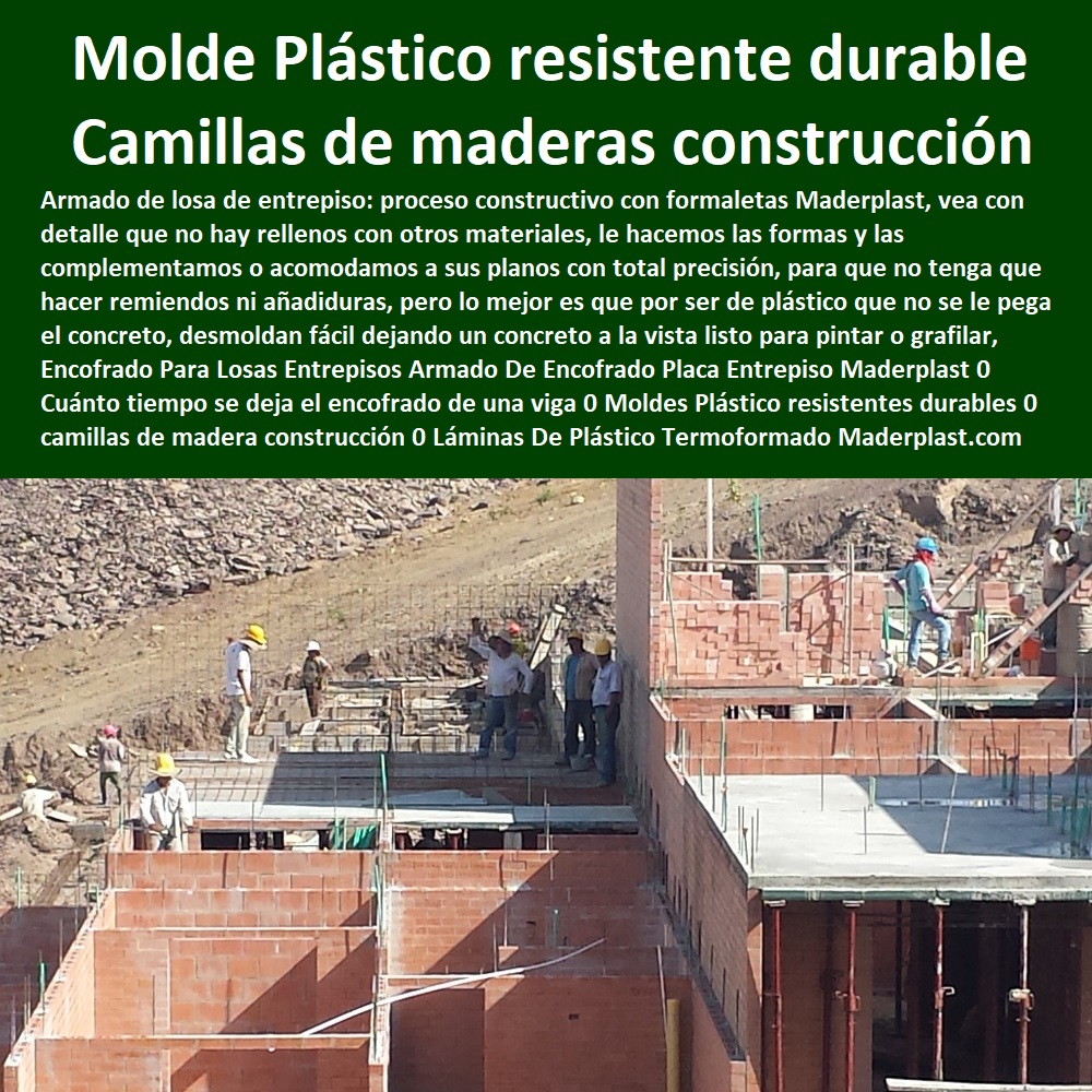 Encofrado Para Losas Entrepisos Armado De Encofrado Placa Entrepiso Maderplast 0 Cuánto tiempo se deja el encofrado de una viga 0 Moldes Plástico resistentes durables 0 camillas de madera para construcción 0 Láminas De Plástico Termo formado 0 Encofrado Para Losas Entrepisos Armado De Encofrado Placa Entrepiso Maderplast 0 Cuánto tiempo se deja el encofrado de una viga 0 Moldes Plástico resistentes durables 0 camillas de madera para construcción 0 Láminas De Plástico Termo formado 0 Encofrado Para Losas Entrepisos Armado De Encofrado Placa Entrepiso Maderplast 0 Cuánto tiempo se deja el encofrado de una viga 0 Moldes Plástico resistentes durables 0 camillas de madera para construcción 0 Láminas De Plástico Termo formado 0