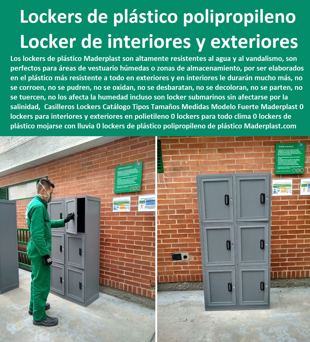 Casilleros Lockers Catálogo Tipos Tamaños Medidas Modelo Fuerte Maderplast 0 lockers para interiores y exteriores en polietileno 0 lockers para todo clima 0 lockers de plástico pueden mojarse con lluvia 0 lockers de plástico polipropileno 00 Casilleros Lockers Catálogo Tipos Tamaños Medidas Modelo Fuerte Maderplast 0 lockers para interiores y exteriores en polietileno 0 Casilleros Plásticos 0 Lockers Monederos 0 Lockers Metálicos 0 Guardarropa 0 Casillero Para Ropa 0 Locker Para Cascos 0 Locker Estéril 0 Locker Higiénico Lavable Ascético 0 Locker Con Puerta De Vidrio 0 Locker Acrílico 0 Lockers Puertas Transparentes 0 Lockers Con Puertas Maya 0 Lockers 0 Casilleros 0 Fabrica De Lockers Plásticos 0 Lockers Plásticos 0 lockers para todo clima 0 lockers de plástico pueden mojarse con lluvia 0 lockers de plástico polipropileno 00 Casilleros Lockers Catálogo Tipos Tamaños Medidas Modelo Fuerte Maderplast 0 lockers para interiores y exteriores en polietileno 0 lockers para todo clima 0 lockers de plástico pueden mojarse con lluvia 0 lockers de plástico polipropileno 00