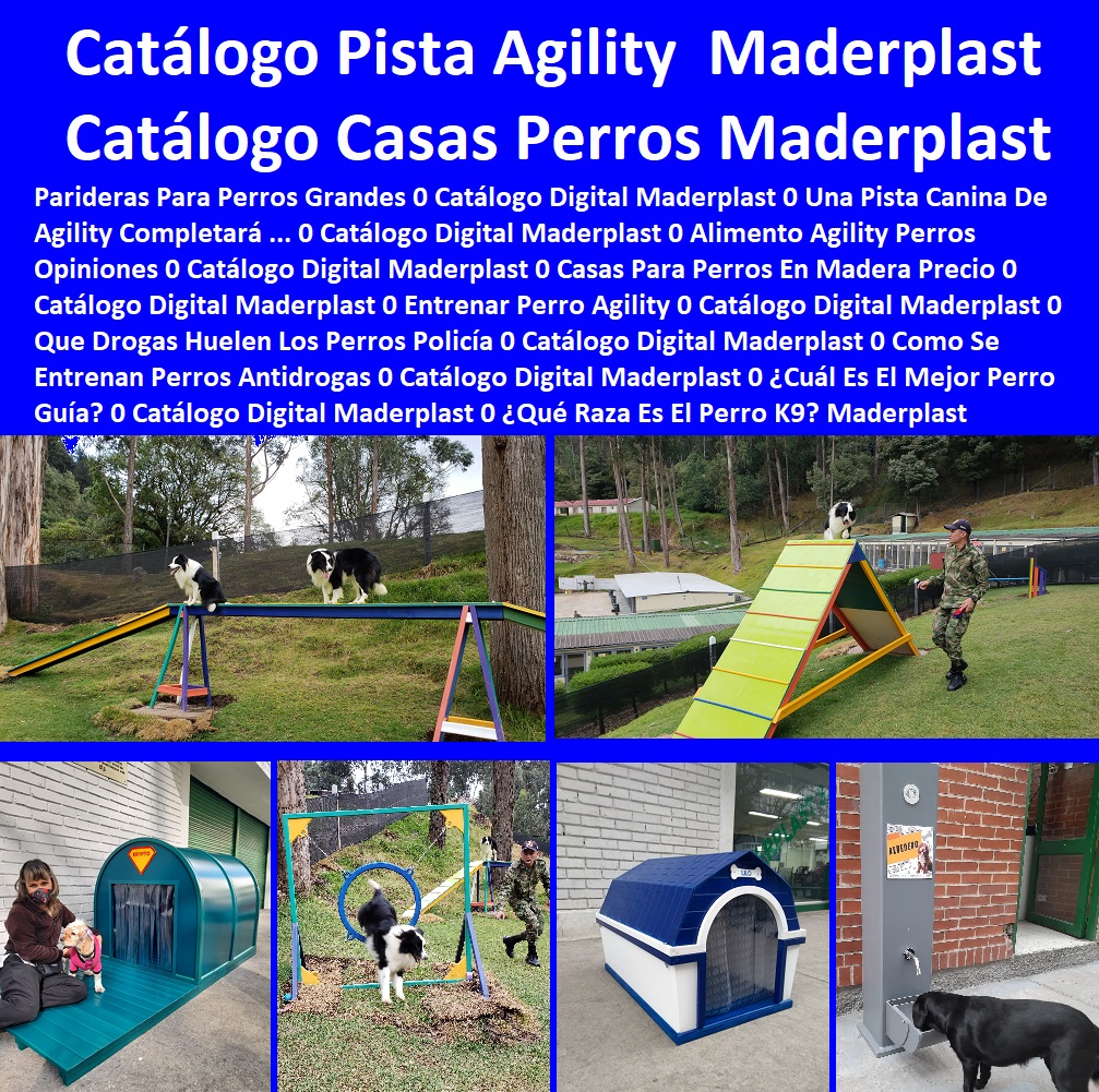Catálogo Digital Casas Para Perros Mascotas Pistas Agility Maderplast 0 Parideras Para Perros Grandes 0 Una Pista Canina De Agility Completa 0 Casas Para Perros En Madera Precio 0 Entrenar Perro Agility Catálogo Digital Maderplast 0 Catálogo Digital Casas Para Perros Mascotas Pistas Agility Maderplast 0 Parideras Para Perros Grandes 0 Una Pista Canina De Agility Completa 0 Casas Para Perros En Madera Precio 0 Entrenar Perro Agility Catálogo Digital Maderplast 0 Catálogo Digital Casas Para Perros Mascotas Pistas Agility Maderplast 0 Parideras Para Perros Grandes 0 Una Pista Canina De Agility Completa 0 Casas Para Perros En Madera Precio 0 Entrenar Perro Agility Catálogo Digital Maderplast 0