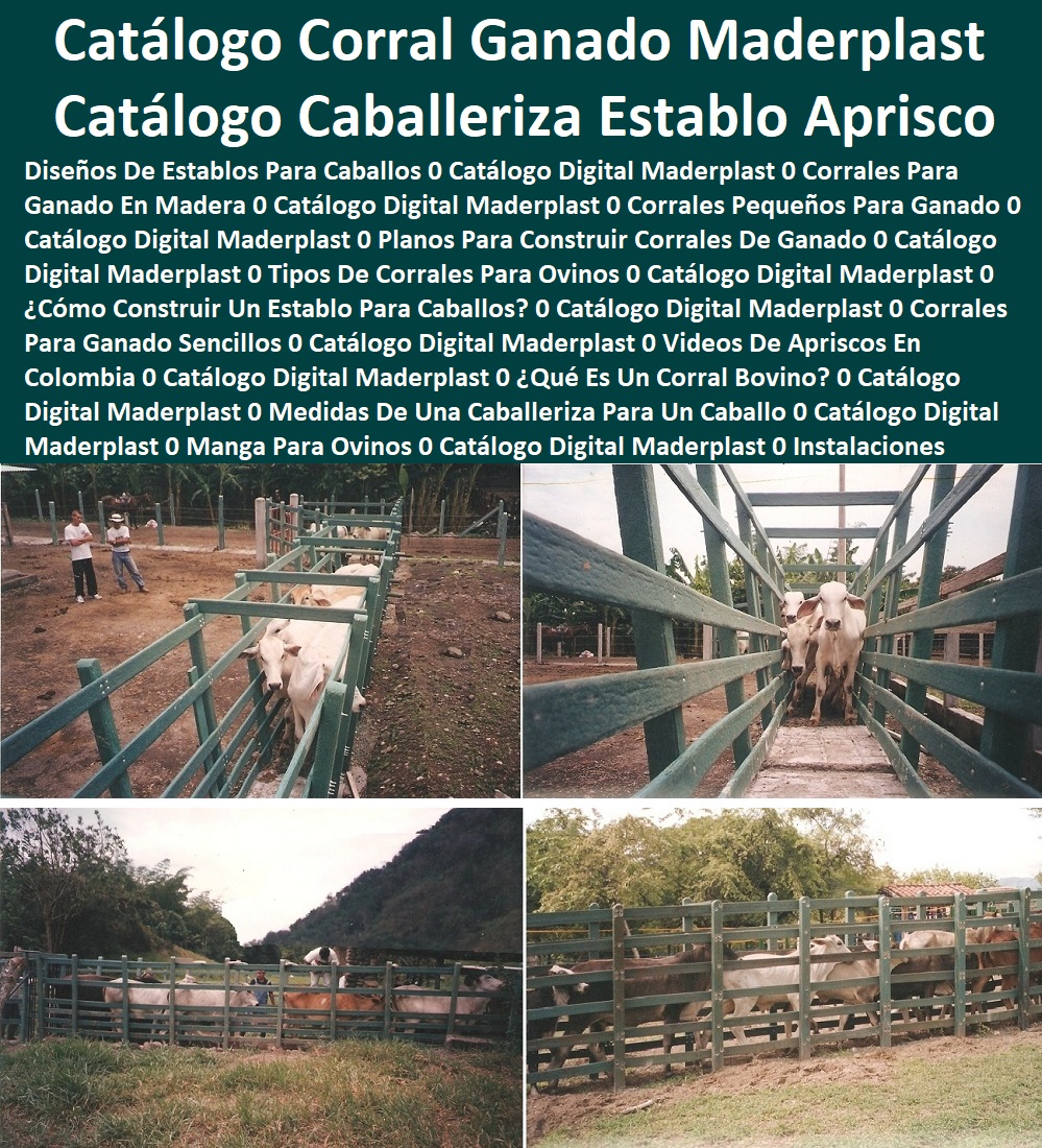 Catálogo Digital Corrales Para Ganado Caballerizas Establos Apriscos Maderplast 0 Diseños De Establos Para Caballos 0 Corrales Para Ganado En Madera 0 Corrales Pequeños Para Ganado Planos Para Construir Corrales Maderplast Tipos Catálogo Digital Corrales Para Ganado Caballerizas Establos Apriscos Maderplast 0 Diseños De Establos Para Caballos 0 Corrales Para Ganado En Madera 0 Corrales Pequeños Para Ganado Planos Para Construir Corrales Maderplast Tipos 0 Catálogo Digital Corrales Para Ganado Caballerizas Establos Apriscos Maderplast 0 Diseños De Establos Para Caballos 0 Corrales Para Ganado En Madera 0 Corrales Pequeños Para Ganado Planos Para Construir Corrales Maderplast Tipos
