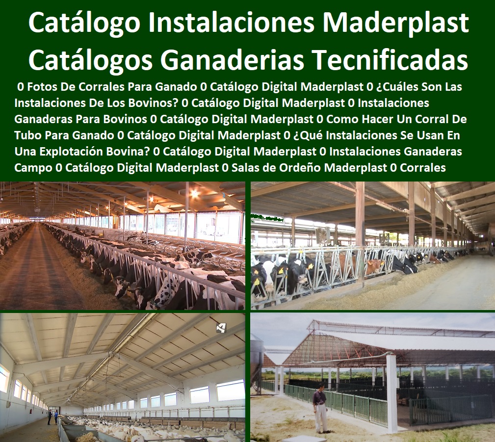 Catálogo Digital Instalaciones Ganaderas Tecnificadas Maderplast 0 Fotos De Corrales Para Ganado 0 Cuáles Son Las Instalaciones De Los Bovinos 0 Como Hacer Un Corral De Tubo Para Ganado 0 Qué Instalaciones Se Usan En Ganadería 00 Catálogo Digital Instalaciones Ganaderas Tecnificadas Maderplast 0 Fotos De Corrales Para Ganado 0 Cuáles Son Las Instalaciones De Los Bovinos 0 Como Hacer Un Corral De Tubo Para Ganado 0 Qué Instalaciones Se Usan En Ganadería 00 Catálogo Digital Instalaciones Ganaderas Tecnificadas Maderplast 0 Fotos De Corrales Para Ganado 0 Cuáles Son Las Instalaciones De Los Bovinos 0 Como Hacer Un Corral De Tubo Para Ganado 0 Qué Instalaciones Se Usan En Ganadería 00