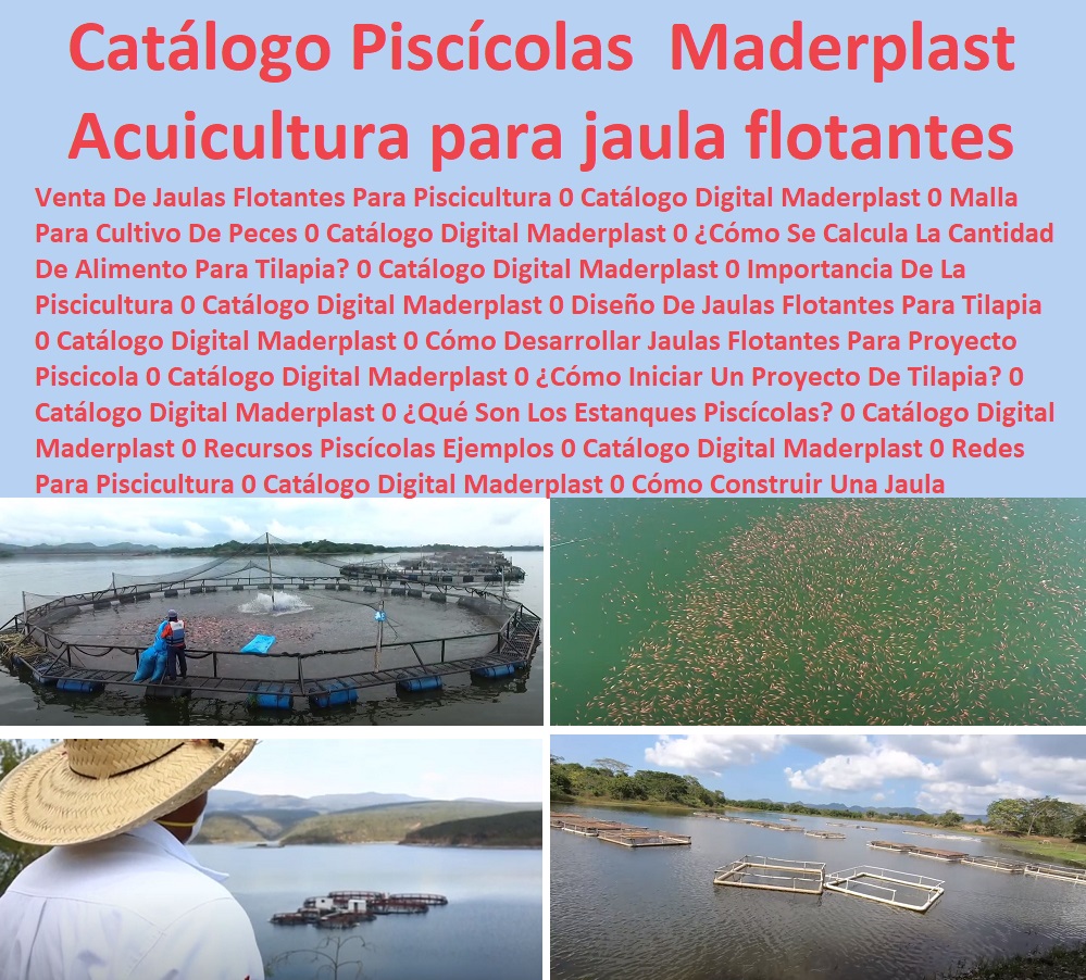 Catálogo Digital piscícolas acuicultura tecnificada estanques de pesca jaulas de pescados jaulas flotantes para piscicultura acuicultura Maderplast 0 Venta De Jaulas Flotantes Para Piscicultura 0 Cultivo Peces Maderplast Catálogo Catálogo Digital piscícolas acuicultura tecnificada estanques de pesca jaulas de pescados jaulas flotantes para piscicultura acuicultura Maderplast 0 Venta De Jaulas Flotantes Para Piscicultura 0 Cultivo Peces Maderplast Catálogo 0 Catálogo Digital piscícolas acuicultura tecnificada estanques de pesca jaulas de pescados jaulas flotantes para piscicultura acuicultura Maderplast 0 Venta De Jaulas Flotantes Para Piscicultura 0 Cultivo Peces Maderplast Catálogo