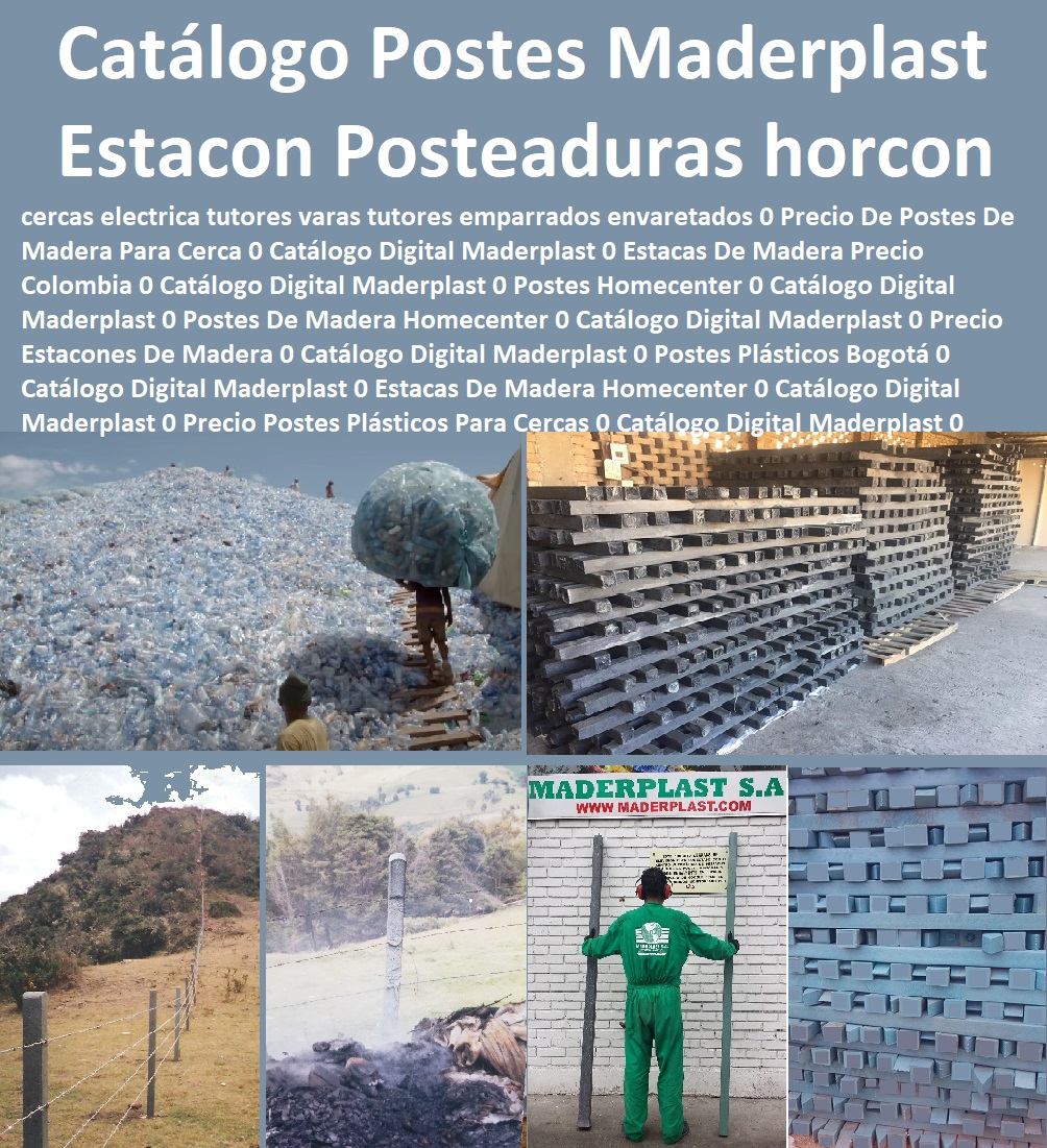 Catálogo Digital postes plásticos postes para cercas de púas estacones Posteaduras talanqueras horcones Maderplast 0 cercas eléctrica tutores varas tutores emparrados Envaretados 0 Precio De Postes De Madera Para Cerca 0 Catálogo 0 Catálogo Digital postes plásticos postes para cercas de púas estacones Posteaduras talanqueras horcones Maderplast 0 cercas eléctrica tutores varas tutores emparrados Envaretados 0 Precio De Postes De Madera Para Cerca 0 Catálogo 0 Catálogo Digital postes plásticos postes para cercas de púas estacones Posteaduras talanqueras horcones Maderplast 0 cercas eléctrica tutores varas tutores emparrados Envaretados 0 Precio De Postes De Madera Para Cerca 0 Catálogo 0 Catálogo Digital Maderplast 0 Precio Postes Madera Para Cercas 0 Catálogo Digital Maderplast 0 Intera Postes Plásticos Precios 0 Catálogo Digital Maderplast 0 Postes Para Cerca De Modelia 0 Catálogo Digital Maderplast 0 Postes Para Cerca De Madera 0 Catálogo Digital Maderplast 0 Precio Postes Plásticos Para Cercas 0 Catálogo Digital Maderplast 0 Postes De Madera De Segunda Mano 0 Catálogo Digital Maderplast 0 Postes Plásticos Para Cercas 0 Catálogo Digital Maderplast 0 Estacones De Madera Inmunizada Medellín 0 Catálogo Digital Maderplast 0 Postes Plásticos Para Cercas Precio 0
