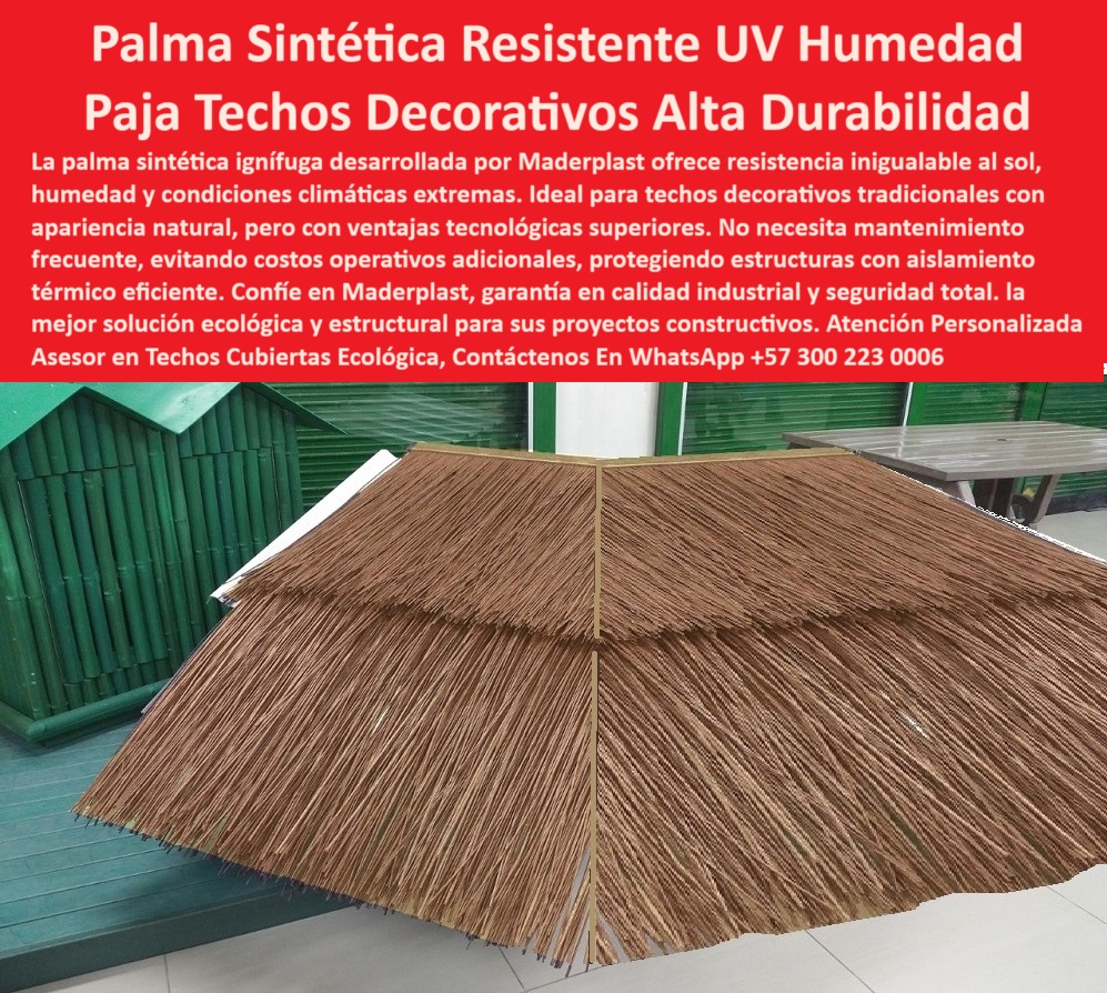 Cubiertas Típicas Impermeables Paja Palma Techos Decorativos Típicos Maderplast cubierta tipo paja sintética para kiosco, - cubierta aislante plástica, - cubierta estilo típico pero anticorrosiva, - cubierta-ecológica-decorativa, - techumbre decorativa libre de mantenimiento, - ¿Cuál es la mejor palma plástica ignífuga?, - paja-sintética-no-inflamable, - cubierta-aislante-turística, - palma ignífuga sintética, - solución térmica con estética tradicional, - Constructoras de kioscos, bohíos o zonas comunes abiertas, - techo-con-palma-para-hotel, - reemplazo moderno para techumbre de palma, - techos duraderos sin hongos ni moho, - ¿Cuál es la mejor cubierta ecológica para hoteles?, - techos típicos polímero, - techos tropicales con paja sintética, - cubierta plástica tipo palma natural, - palmas plásticas para cabañas turísticas, - paja plástica impermeable, - techo playa duradero, - Alternativas plásticas a techos de palma natural, - paja ignífuga para techos sostenibles, - palma sintética climas extremos, - ¿Qué usar para techos que parezcan de paja pero duren más?, - cubierta liviana con apariencia de palma, - Hoteles, glampings, hostales y restaurantes de playa, - Proyectos turísticos rurales o ecológicos, - ¿Qué techumbre rústica no se daña con el sol ni la lluvia?, - techumbre sintética para ambientes salinos, - materiales para techos de playa sin deterioro, - ¿Qué tipo de palma sintética sirve para techos sin mantenimiento?, - techo ecológico decorativo, - paja-plástica-sintética-techos, - Materiales resistentes para cubiertas tipo caribeño, - techo decorativo ecológico para hoteles, - techumbre tropical plástica, - Arquitectos que buscan cubiertas sostenibles, - paja sintética techos, - cubierta aislante resistente al calor, - material plástico para cubiertas estéticas, - paja decorativa para techos exteriores, - techumbre-tropical-resistente, - Gobierno o instituciones que requieren techos resistentes en climas extremos, - ¿Dónde venden techumbre con estilo tradicional pero moderna?, - techos-de-paja-polímero, - techo sintético estilo caribeño, - techos turísticos decorativos con polímero, - palma artificial para clima costero, - ¿Qué techumbre aguanta el sol y la humedad sin pudrirse?, - techo-decorativo-tipo-palma, - palma sintética resistente a rayos UV, - techo-estilo-caribeño-sin-mantenimiento, - techo ecológico con aislamiento térmico, - techo liviano y resistente a humedad, - Opciones sintéticas para cubiertas tropicales, - palma-sintética-impermeable, - La palma sintética de alta durabilidad de Maderplast ofrece una solución ecológica para techos decorativos tradicionales expuestos a humedad, salinidad y sol intenso. Diseñada con apariencia natural pero fabricada con polímero técnico, no requiere mantenimiento, no se oxida ni se pudre, y evita la acumulación de hongos. Esta cubierta Maderplast es perfecta para cabañas, hoteles o kioscos turísticos que buscan una estética típica con tecnología de protección térmica y resistencia superior. Su eficiencia y larga vida útil la convierten en la mejor opción en cubiertas sostenibles., - mantenimiento cero techo, - paja decorativa sintética reciclable, - diseño de techos con estética rústica0 cubiertas-plásticas-aislantes, - Cuál es la mejor palma sintética resistente al sol y la humedad, - techos-tradicionales-sintéticos, Paja sintética ignífuga palma Cubiertas Típicas Impermeables Paja Palma Techos Decorativos Típicos Maderplast 0 cubiertas plásticas aislantes Cuál es la mejor palma sintética resistente al sol y la humedad techos tradicionales sintéticos Paja sintética ignífuga palma cubierta tipo paja sintética para kiosco, - cubierta aislante plástica, - cubierta estilo típico pero anticorrosiva, - cubierta-ecológica-decorativa, - techumbre decorativa libre de mantenimiento, - ¿Cuál es la mejor palma plástica ignífuga?, - paja-sintética-no-inflamable, - cubierta-aislante-turística, - palma ignífuga sintética, - solución térmica con estética tradicional, - Constructoras de kioscos, bohíos o zonas comunes abiertas, - techo-con-palma-para-hotel, - reemplazo moderno para techumbre de palma, - techos duraderos sin hongos ni moho, - ¿Cuál es la mejor cubierta ecológica para hoteles?, - techos típicos polímero, - techos tropicales con paja sintética, - cubierta plástica tipo palma natural, - palmas plásticas para cabañas turísticas, - paja plástica impermeable, - techo playa duradero, - Alternativas plásticas a techos de palma natural, - paja ignífuga para techos sostenibles, - palma sintética climas extremos, - ¿Qué usar para techos que parezcan de paja pero duren más?, - cubierta liviana con apariencia de palma, - Hoteles, glampings, hostales y restaurantes de playa, - Proyectos turísticos rurales o ecológicos, - ¿Qué techumbre rústica no se daña con el sol ni la lluvia?, - techumbre sintética para ambientes salinos, - materiales para techos de playa sin deterioro, - ¿Qué tipo de palma sintética sirve para techos sin mantenimiento?, - techo ecológico decorativo, - paja-plástica-sintética-techos, - Materiales resistentes para cubiertas tipo caribeño, - techo decorativo ecológico para hoteles, - techumbre tropical plástica, - Arquitectos que buscan cubiertas sostenibles, - paja sintética techos, - cubierta aislante resistente al calor, - material plástico para cubiertas estéticas, - paja decorativa para techos exteriores, - techumbre-tropical-resistente, - Gobierno o instituciones que requieren techos resistentes en climas extremos, - ¿Dónde venden techumbre con estilo tradicional pero moderna?, - techos-de-paja-polímero, - techo sintético estilo caribeño, - techos turísticos decorativos con polímero, - palma artificial para clima costero, - ¿Qué techumbre aguanta el sol y la humedad sin pudrirse?, - techo-decorativo-tipo-palma, - palma sintética resistente a rayos UV, - techo-estilo-caribeño-sin-mantenimiento, - techo ecológico con aislamiento térmico, - techo liviano y resistente a humedad, - Opciones sintéticas para cubiertas tropicales, - palma-sintética-impermeable, - La palma sintética de alta durabilidad de Maderplast ofrece una solución ecológica para techos decorativos tradicionales expuestos a humedad, salinidad y sol intenso. Diseñada con apariencia natural pero fabricada con polímero técnico, no requiere mantenimiento, no se oxida ni se pudre, y evita la acumulación de hongos. Esta cubierta Maderplast es perfecta para cabañas, hoteles o kioscos turísticos que buscan una estética típica con tecnología de protección térmica y resistencia superior. Su eficiencia y larga vida útil la convierten en la mejor opción en cubiertas sostenibles., - mantenimiento cero techo, - paja decorativa sintética reciclable, - diseño de techos con estética rústica 0 Cubiertas Típicas Impermeables Paja Palma Techos Decorativos Típicos Maderplast 0 cubiertas-plásticas-aislantes, - Cuál es la mejor palma sintética resistente al sol y la humedad, - techos-tradicionales-sintéticos, Paja sintética ignífuga palma