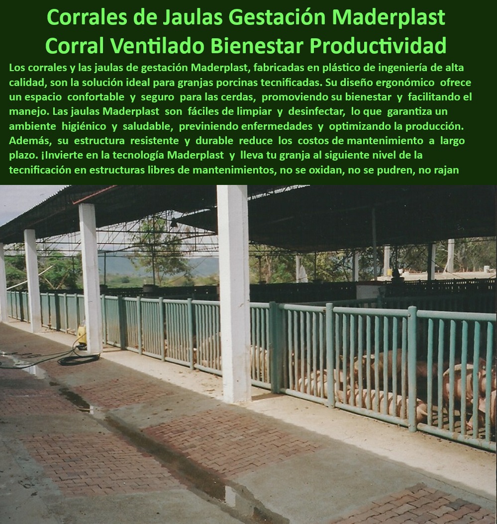 Corrales Para Granjas Porcinas Tipo Baranda Ventilada Maderplast Barandas-Higiénicas-Porcicultura - Barandas ajustables para optimización de espacios porcinos - Bioseguridad-Eficiente-Para-Porcinas - ¿Cuáles son los beneficios de los corrales de polipropileno? - Corrales fáciles de limpiar y desinfectar - Materiales higiénicos para granjas porcinas modernas, - Paneles-Plásticos-Para-Granjas - Paneles plásticos resistentes a la intemperie - Confinamiento-Seguro-Y-Eficiente - Reducción-Estrés-Animal-En-Cerdos - Corrales portátiles para granjas tecnificadas - Sistemas sostenibles para instalaciones porcinas - ¿Qué corrales son mejores para el control de patógenos porcinos? - Corrales-Duraderos-Sin-Mantenimiento - Soluciones higiénicas para reducción de enfermedades porcinas - Materiales reciclables para granjas porcinas eficientes - ¿Cómo elegir sistemas de confinamiento ajustables para granjas? - Sistemas de confinamiento sin mantenimiento para cerdos - Barandas resistentes para confinamiento porcino - Diseño modular para corrales eficientes en granjas, - Paneles plásticos que facilitan la limpieza en granjas - Corrales ventilados para granjas porcinas tecnificadas - Soluciones modulares para bioseguridad en cerdos - ¿Qué barandas reducen el estrés animal en los cerdos? - Materiales avanzados para estructuras porcinas, - Soluciones-Modulares-En-Granjas - Corrales-Ventilados-Para-Cerdos - Corrales innovadores para maximizar el bienestar animal, - Barandas plásticas para reducción del estrés animal, - Diseño-Ajustable-En-Porcicultura - Corrales de alto rendimiento para granjas tecnificadas - Divisiones higiénicas para manejo de cerdos - Sistemas de confinamiento ajustables para cerdos - Barandas de polipropileno con normativas sanitarias - ¿Dónde encontrar corrales portátiles para cerdos? - Sistemas-De-Confinamiento-Avanzados - Paneles plásticos resistentes para manejo porcino - Estructuras resistentes a la humedad y corrosión, - Sistemas de control de patógenos en granjas porcinas - Jaulas de gestación duraderas y resistentes a la corrosión - Corrales Fáciles de Limpiar - Barandas para Reducción de Estrés Animal en Cerdos - Corrales Portátiles - Sistemas de Confinamiento Control de Patógenos - Sistemas Ajustables Corrales Para Granjas Porcinas Tipo Baranda Ventilada Maderplast Corrales Fáciles de Limpiar Barandas para Reducción de Estrés Animal en Cerdos Corrales Portátiles Sistemas de Confinamiento Control de Patógenos Sistemas Ajustables Barandas-Higiénicas-Porcicultura - Barandas ajustables para optimización de espacios porcinos - Bioseguridad-Eficiente-Para-Porcinas - ¿Cuáles son los beneficios de los corrales de polipropileno? - Corrales fáciles de limpiar y desinfectar - Materiales higiénicos para granjas porcinas modernas, - Paneles-Plásticos-Para-Granjas - Paneles plásticos resistentes a la intemperie - Confinamiento-Seguro-Y-Eficiente - Reducción-Estrés-Animal-En-Cerdos - Corrales portátiles para granjas tecnificadas - Sistemas sostenibles para instalaciones porcinas - ¿Qué corrales son mejores para el control de patógenos porcinos? - Corrales-Duraderos-Sin-Mantenimiento - Soluciones higiénicas para reducción de enfermedades porcinas - Materiales reciclables para granjas porcinas eficientes - ¿Cómo elegir sistemas de confinamiento ajustables para granjas? - Sistemas de confinamiento sin mantenimiento para cerdos - Barandas resistentes para confinamiento porcino - Diseño modular para corrales eficientes en granjas, - Paneles plásticos que facilitan la limpieza en granjas - Corrales ventilados para granjas porcinas tecnificadas - Soluciones modulares para bioseguridad en cerdos - ¿Qué barandas reducen el estrés animal en los cerdos? - Materiales avanzados para estructuras porcinas, - Soluciones-Modulares-En-Granjas - Corrales-Ventilados-Para-Cerdos - Corrales innovadores para maximizar el bienestar animal, - Barandas plásticas para reducción del estrés animal, - Diseño-Ajustable-En-Porcicultura - Corrales de alto rendimiento para granjas tecnificadas - Divisiones higiénicas para manejo de cerdos - Sistemas de confinamiento ajustables para cerdos - Barandas de polipropileno con normativas sanitarias - ¿Dónde encontrar corrales portátiles para cerdos? - Sistemas-De-Confinamiento-Avanzados - Paneles plásticos resistentes para manejo porcino - Estructuras resistentes a la humedad y corrosión, - Sistemas de control de patógenos en granjas porcinas - Jaulas de gestación duraderas y resistentes a la corrosión Corrales Para Granjas Porcinas Tipo Baranda Ventilada Maderplast - Corrales Fáciles de Limpiar - Barandas para Reducción de Estrés Animal en Cerdos - Corrales Portátiles - Sistemas de Confinamiento Control de Patógenos - Sistemas Ajustables