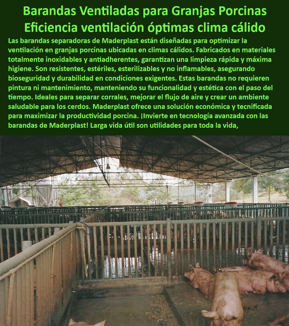 Corrales Para Granjas Porcinas Tipo Baranda Ventilada Maderplast Barandas diseñadas para maximizar la ventilación en corrales, - ¿Qué opciones de corrales sin mantenimiento existen para granjas porcinas? - Materiales plásticos antibacterianos para manejo porcino, - Corrales plásticos con diseño de flujo de aire eficiente, - Divisiones plásticas duraderas para maternidades porcinas, - Separadores modulares higiénicos para corrales de engorde, - Soluciones-Sostenibles-En-Porcicultura , - Sistemas-Modulares-Bioseguridad - Barandas ventiladas para granjas porcinas en clima cálido, - Barandas modulares de instalación rápida y segura, - ¿Cuáles son los mejores corrales plásticos para cerdos en clima cálido? , - Materiales-Antibacterianos-Para-Corrales - Sistemas de ventilación eficientes para corrales porcinos, - Corrales económicos para granjas porcinas tecnificadas, - Separadores-Duraderos-Porcicultura - Separadores porcinos resistentes y fáciles de esterilizar, - Barandas-Para-Ambientes-Corrosivos - Barandas flexibles y duraderas para porcicultura avanzada, - ¿Cómo mejorar la ventilación en corrales de engorde porcino? - Divisiones de corrales con certificación en bioseguridad, - Sistemas económicos y duraderos para granjas tecnificadas, - Corrales-Plásticos-Económicos - Barandas para corrales libres de mantenimiento continuo, - Soluciones en corrales para optimizar la ventilación, - ¿Dónde encontrar barandas resistentes para corrales porcinos? - Separadores higiénicos para optimizar la productividad animal, - Divisiones económicas para sistemas de engorde porcino, - Estructuras-Resistentes-Para-Granjas - Barandas para cerdos con resistencia a rayos UV, - Corrales-Con-Ventilación-Eficiente - Soluciones plásticas para bioseguridad en granjas tecnificadas, - Barandas-Modulares-Porcinas - Sistemas modulares para bioseguridad en porcicultura, - Corrales para cerdos diseñados para climas extremos, - Corrales anticorrosivos para granjas sostenibles, - ¿Qué barandas modulares son ideales para bioseguridad porcina? - Divisiones de corrales plásticos con superficie antibacteriana, - Divisiones-Higiénicas-Para-Cerdos - Materiales innovadores para instalaciones porcinas seguras, - Barandas resistentes a ambientes ácidos y corrosivos - Divisiones para Corrales - Barandas para granjas - Corrales Económicos - Corrales Porcinos con Separadores Flexibles y Duraderos - Barandas con Superficie Antibacteriana PP Corrales Para Granjas Porcinas Tipo Baranda Ventilada Maderplast Divisiones para Corrales Barandas para granjas Corrales Económicos Corrales Porcinos con Separadores Flexibles y Duraderos Barandas con Superficie Antibacteriana PP Barandas diseñadas para maximizar la ventilación en corrales, - ¿Qué opciones de corrales sin mantenimiento existen para granjas porcinas? - Materiales plásticos antibacterianos para manejo porcino, - Corrales plásticos con diseño de flujo de aire eficiente, - Divisiones plásticas duraderas para maternidades porcinas, - Separadores modulares higiénicos para corrales de engorde, - Soluciones-Sostenibles-En-Porcicultura , - Sistemas-Modulares-Bioseguridad - Barandas ventiladas para granjas porcinas en clima cálido, - Barandas modulares de instalación rápida y segura, - ¿Cuáles son los mejores corrales plásticos para cerdos en clima cálido? , - Materiales-Antibacterianos-Para-Corrales - Sistemas de ventilación eficientes para corrales porcinos, - Corrales económicos para granjas porcinas tecnificadas, - Separadores-Duraderos-Porcicultura - Separadores porcinos resistentes y fáciles de esterilizar, - Barandas-Para-Ambientes-Corrosivos - Barandas flexibles y duraderas para porcicultura avanzada, - ¿Cómo mejorar la ventilación en corrales de engorde porcino? - Divisiones de corrales con certificación en bioseguridad, - Sistemas económicos y duraderos para granjas tecnificadas, - Corrales-Plásticos-Económicos - Barandas para corrales libres de mantenimiento continuo, - Soluciones en corrales para optimizar la ventilación, - ¿Dónde encontrar barandas resistentes para corrales porcinos? - Separadores higiénicos para optimizar la productividad animal, - Divisiones económicas para sistemas de engorde porcino, - Estructuras-Resistentes-Para-Granjas - Barandas para cerdos con resistencia a rayos UV, - Corrales-Con-Ventilación-Eficiente - Soluciones plásticas para bioseguridad en granjas tecnificadas, - Barandas-Modulares-Porcinas - Sistemas modulares para bioseguridad en porcicultura, - Corrales para cerdos diseñados para climas extremos, - Corrales anticorrosivos para granjas sostenibles, - ¿Qué barandas modulares son ideales para bioseguridad porcina? - Divisiones de corrales plásticos con superficie antibacteriana, - Divisiones-Higiénicas-Para-Cerdos - Materiales innovadores para instalaciones porcinas seguras, - Barandas resistentes a ambientes ácidos y corrosivos Corrales Para Granjas Porcinas Tipo Baranda Ventilada Maderplast - Divisiones para Corrales - Barandas para granjas - Corrales Económicos - Corrales Porcinos con Separadores Flexibles y Duraderos - Barandas con Superficie Antibacteriana PP