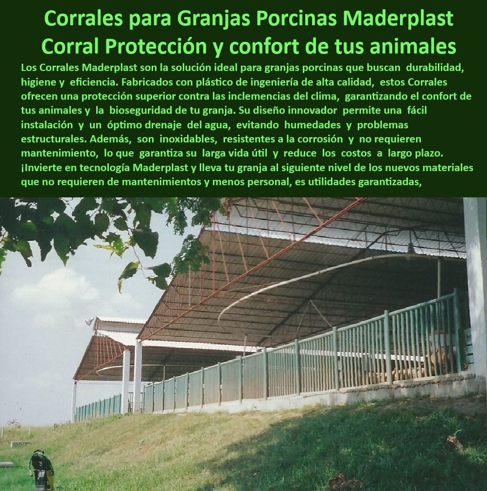 Corrales Para Granjas Porcinas Tipo Baranda Ventilada Maderplast ¿Cómo optimizar el espacio porcino con barandas modulares? - Sistemas higiénicos de corrales porcinos avanzados - ¿Dónde comprar corrales resistentes a la corrosión para cerdos? - ¿Qué corrales son ideales para granjas porcinas tecnificadas? - Diseño innovador en barandas de corrales porcinos, - Estructuras plásticas para bioseguridad en cerdos, - Paneles higiénicos para manejo de cerdos tecnificados - ¿Cómo elegir barandas de polipropileno para cerdos? - Construcción modular con materiales higiénicos y resistentes, - ¿Qué ventajas tienen los corrales ventilados en granjas de cerdos? - Sistemas de confinamiento tecnificado para granjas porcinas - Corrales sin mantenimiento para bioseguridad en cerdos - Construcción de corrales eficientes para cerdos de engorde, - Divisiones resistentes para granjas porcinas eficientes - Barandas-Ventiladas-Porcicultura - Innovación en barandas ventiladas para granjas porcinas - Construcción-Modular-Granjas-Porcinas - Soluciones modulares para optimizar el espacio porcino - Soluciones-Innovadoras-Porcinas - Paneles plásticos que optimizan la bioseguridad animal, - Sistemas de drenaje en corrales para evitar humedad, - Paneles-De-Polipropileno-Para-Granjas - Corrales-Modulares-Para-Cerdos - Barandas modulares de polipropileno para cerdos - Corrales-Sin-Mantenimiento-Duraderos - Materiales avanzados para estructuras porcinas duraderas - Barandas resistentes a la corrosión para cerdos - Corrales resistentes a climas extremos y uso intensivo, - Separadores-Higiénicos-Porcinos - Soluciones eficientes para manejo de cerdos en granjas - Diseño sostenible para espacios porcinos modernos, - Bioseguridad-Porcina-Eficiente - Materiales-Plásticos-Para-Corrales - Materiales plásticos en estructuras para granjas porcinas, - Corrales ventilados para granjas porcinas modernas - Separadores plásticos fáciles de limpiar y mantener - Separadores modulares con normativa sanitaria - Diseño-Sostenible-En-Porcicultura - Separadores de espacios para granjas tecnificadas - Corrales de polipropileno para reducir costos operativos - Paneles y Barandas para Optimización del Espacio Porcino - Barandas de Polipropileno Corrales de Cerdos - Sistemas de Separación Modulares con Normas Sanitarias - Divisiones Corrales Para Granjas Porcinas Tipo Baranda Ventilada Maderplast Paneles y Barandas para Optimización del Espacio Porcino Barandas de Polipropileno Corrales de Cerdos Sistemas de Separación Modulares con Normas Sanitarias Divisiones ¿Cómo optimizar el espacio porcino con barandas modulares? - Sistemas higiénicos de corrales porcinos avanzados - ¿Dónde comprar corrales resistentes a la corrosión para cerdos? - ¿Qué corrales son ideales para granjas porcinas tecnificadas? - Diseño innovador en barandas de corrales porcinos, - Estructuras plásticas para bioseguridad en cerdos, - Paneles higiénicos para manejo de cerdos tecnificados - ¿Cómo elegir barandas de polipropileno para cerdos? - Construcción modular con materiales higiénicos y resistentes, - ¿Qué ventajas tienen los corrales ventilados en granjas de cerdos? - Sistemas de confinamiento tecnificado para granjas porcinas - Corrales sin mantenimiento para bioseguridad en cerdos - Construcción de corrales eficientes para cerdos de engorde, - Divisiones resistentes para granjas porcinas eficientes - Barandas-Ventiladas-Porcicultura - Innovación en barandas ventiladas para granjas porcinas - Construcción-Modular-Granjas-Porcinas - Soluciones modulares para optimizar el espacio porcino - Soluciones-Innovadoras-Porcinas - Paneles plásticos que optimizan la bioseguridad animal, - Sistemas de drenaje en corrales para evitar humedad, - Paneles-De-Polipropileno-Para-Granjas - Corrales-Modulares-Para-Cerdos - Barandas modulares de polipropileno para cerdos - Corrales-Sin-Mantenimiento-Duraderos - Materiales avanzados para estructuras porcinas duraderas - Barandas resistentes a la corrosión para cerdos - Corrales resistentes a climas extremos y uso intensivo, - Separadores-Higiénicos-Porcinos - Soluciones eficientes para manejo de cerdos en granjas - Diseño sostenible para espacios porcinos modernos, - Bioseguridad-Porcina-Eficiente - Materiales-Plásticos-Para-Corrales - Materiales plásticos en estructuras para granjas porcinas, - Corrales ventilados para granjas porcinas modernas - Separadores plásticos fáciles de limpiar y mantener - Separadores modulares con normativa sanitaria - Diseño-Sostenible-En-Porcicultura - Separadores de espacios para granjas tecnificadas - Corrales de polipropileno para reducir costos operativos Corrales Para Granjas Porcinas Tipo Baranda Ventilada Maderplast - Paneles y Barandas para Optimización del Espacio Porcino - Barandas de Polipropileno Corrales de Cerdos - Sistemas de Separación Modulares con Normas Sanitarias - Divisiones