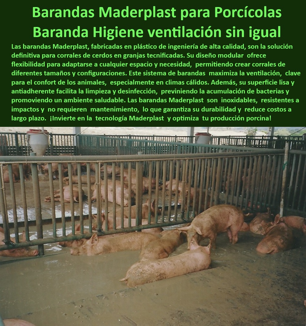 Corrales Para Granjas Porcinas Tipo Baranda Ventilada Maderplast Divisiones higiénicas para maximizar la productividad porcina, - Sistemas Modulares-Porcinos - ¿Dónde comprar sistemas modulares para engorde porcino? - Corrales con superficies antiadherentes y fáciles de limpiar, - Sistemas modulares para corrales de cerdos en granjas tecnificadas, - Barandas modulares sin mantenimiento para granjas tecnificadas, - Sistemas de separación de corrales resistentes a impactos, - Barandas de alta resistencia para ambientes húmedos y ácidos, - Corrales plásticos eficientes para engorde y reproducción porcina, - Sistemas de bioseguridad para producción porcina tecnificada, - Corrales para cerdos con diseño de ventilación óptima, - Corrales económicos para engorde de cerdos en clima cálido, - Materiales ecológicos para instalaciones sostenibles en porcicultura, - ¿Qué barandas higiénicas y duraderas recomiendan para granjas porcinas? - Soluciones duraderas para reducir costos operativos en granjas, - Sistemas-Adaptables-Granjas - Barandas para optimizar el flujo de aire en corrales porcinos, - ¿Cuáles son las mejores divisiones modulares para corrales de cerdos? , - Soluciones-Plásticas-Granjas - Divisiones económicas para manejo de cerdos en granjas modernas, - Materiales anticorrosivos para instalaciones porcinas modernas, - Barandas-Resistentes-Porcicultura , - Divisiones-Económicas-Porcinas - Divisiones porcinas con protección contra bacterias y hongos, - Barandas-Ventiladas-Cerdos - Divisiones de corrales plásticos resistentes y adaptables, - Barandas para granjas que cumplen normas sanitarias internacionales, - Barandas ventiladas para granjas porcinas con bioseguridad, - Soluciones plásticas para manejo eficiente en granjas porcinas, - Corrales-Con-Bioseguridad - Sistemas modulares de barandas para climas extremos, - Divisiones desmontables para instalaciones porcinas personalizadas, - ¿Cómo mejorar la ventilación en corrales de cerdos? , - Divisiones-Higiénicas-Cerdos , - Corrales-Antibacterianos - Sistemas adaptables para corrales de engorde en porcicultura, - Sistemas de barandas con superficies lisas antibacterianas, - Divisiones ligeras y resistentes para estructuras de porcicultura, - Estructuras-Porcinas-Modulares - ¿Qué materiales son ideales para corrales en climas cálidos? - Sistemas Modulares para Divisiones de Corrales de Cerdos - Divisiones para Granjas - Corrales de Engorde - Sistemas de Barandas Adaptables para Crecimiento Porcino - Baranda Corrales Para Granjas Porcinas Tipo Baranda Ventilada Maderplast Sistemas Modulares para Divisiones de Corrales de Cerdos Divisiones para Granjas Corrales de Engorde Sistemas de Barandas Adaptables para Crecimiento Porcino Baranda Divisiones higiénicas para maximizar la productividad porcina, - Sistemas Modulares-Porcinos - ¿Dónde comprar sistemas modulares para engorde porcino? - Corrales con superficies antiadherentes y fáciles de limpiar, - Sistemas modulares para corrales de cerdos en granjas tecnificadas, - Barandas modulares sin mantenimiento para granjas tecnificadas, - Sistemas de separación de corrales resistentes a impactos, - Barandas de alta resistencia para ambientes húmedos y ácidos, - Corrales plásticos eficientes para engorde y reproducción porcina, - Sistemas de bioseguridad para producción porcina tecnificada, - Corrales para cerdos con diseño de ventilación óptima, - Corrales económicos para engorde de cerdos en clima cálido, - Materiales ecológicos para instalaciones sostenibles en porcicultura, - ¿Qué barandas higiénicas y duraderas recomiendan para granjas porcinas? - Soluciones duraderas para reducir costos operativos en granjas, - Sistemas-Adaptables-Granjas - Barandas para optimizar el flujo de aire en corrales porcinos, - ¿Cuáles son las mejores divisiones modulares para corrales de cerdos? , - Soluciones-Plásticas-Granjas - Divisiones económicas para manejo de cerdos en granjas modernas, - Materiales anticorrosivos para instalaciones porcinas modernas, - Barandas-Resistentes-Porcicultura , - Divisiones-Económicas-Porcinas - Divisiones porcinas con protección contra bacterias y hongos, - Barandas-Ventiladas-Cerdos - Divisiones de corrales plásticos resistentes y adaptables, - Barandas para granjas que cumplen normas sanitarias internacionales, - Barandas ventiladas para granjas porcinas con bioseguridad, - Soluciones plásticas para manejo eficiente en granjas porcinas, - Corrales-Con-Bioseguridad - Sistemas modulares de barandas para climas extremos, - Divisiones desmontables para instalaciones porcinas personalizadas, - ¿Cómo mejorar la ventilación en corrales de cerdos? , - Divisiones-Higiénicas-Cerdos , - Corrales-Antibacterianos - Sistemas adaptables para corrales de engorde en porcicultura, - Sistemas de barandas con superficies lisas antibacterianas, - Divisiones ligeras y resistentes para estructuras de porcicultura, - Estructuras-Porcinas-Modulares - ¿Qué materiales son ideales para corrales en climas cálidos? Corrales Para Granjas Porcinas Tipo Baranda Ventilada Maderplast - Sistemas Modulares para Divisiones de Corrales de Cerdos - Divisiones para Granjas - Corrales de Engorde - Sistemas de Barandas Adaptables para Crecimiento Porcino - Baranda