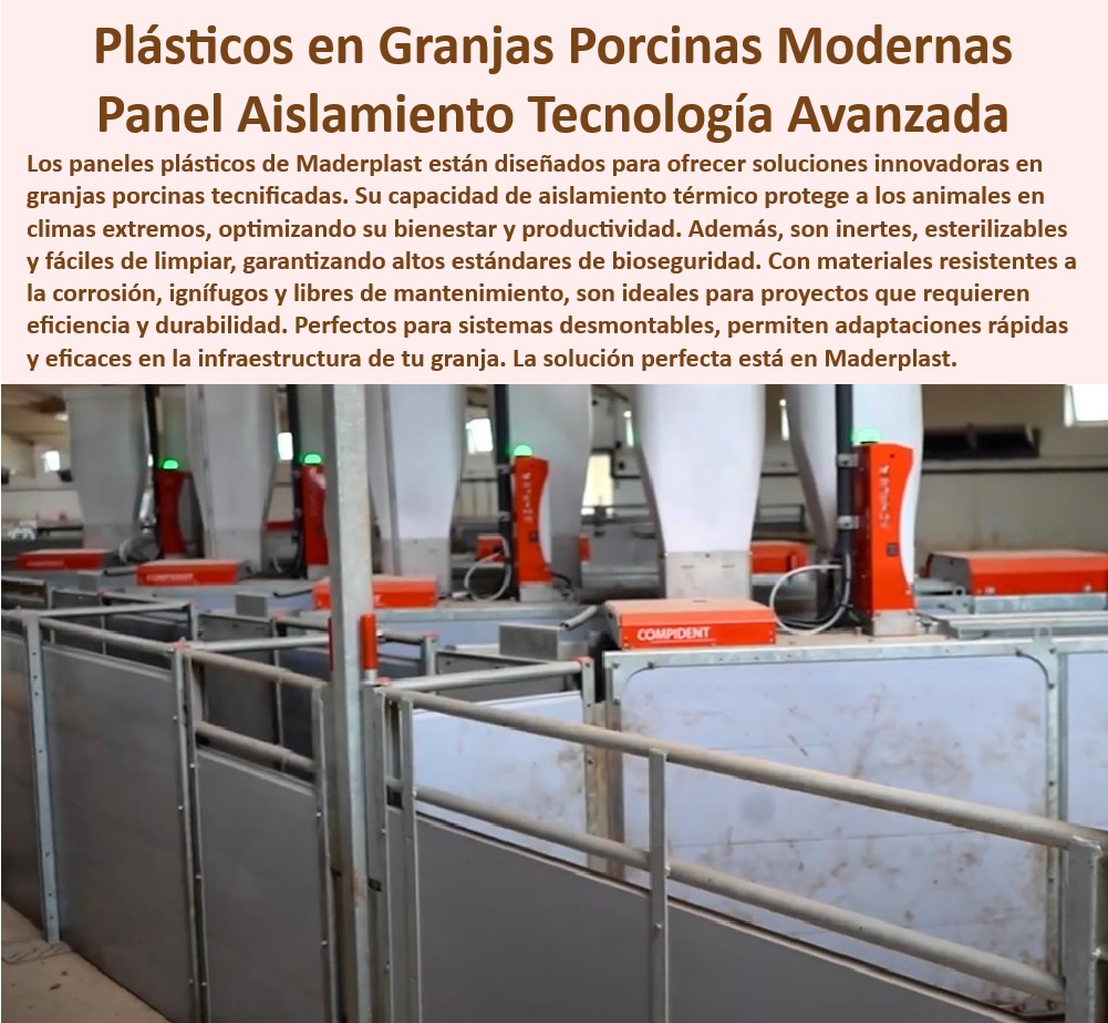 Diseño Infraestructuras Porcícolas División Corrales Placas Paneles Maderplast Estructuras anticorrosivas para granjas modernas, - Soluciones-Plásticas-Para-Bioseguridad - Diseño eficiente para corrales porcinos tecnificados, - Reducción de costos operativos con soluciones plásticas - Paneles plásticos impermeables para infraestructuras agrícolas, - Innovación-En-Infraestructura-Porcina - Sistemas avanzados para manejo térmico en granjas - Aislamiento térmico eficiente para galpones porcinos - ¿Qué soluciones anticorrosivas son ideales para instalaciones porcinas? , - Construcción-De-Galpones-Porcinos - Sistemas desmontables para corrales higiénicos porcinos - Corrales plásticos higiénicos y de fácil limpieza, - Diseño modular para granjas porcinas eficientes, - Aislamiento térmico avanzado en granjas tecnificadas - Paneles plásticos de alta resistencia para exteriores - ¿Qué materiales ofrecen mejor bioseguridad en granjas de cerdos? - Materiales plásticos duraderos para galpones agrícolas, - Paneles plásticos con resistencia a climas extremos, - Paneles-Plásticos-Para-Porcicultura - Innovación sostenible para infraestructura porcina - Infraestructura sostenible para granjas porcinas - ¿Dónde encontrar paneles plásticos resistentes para granjas porcinas? , - Corrales-Plásticos-Higiénicos , - Paneles-Plásticos-Resistentes - Soluciones modulares para granjas de cerdos tecnificadas - Soluciones anticorrosivas para instalaciones de cerdos , - Granjas-Tecnificadas-Sostenibles - Materiales anticorrosivos en infraestructura porcina , - Aislamiento-Térmico-Para-Granjas - Paneles plásticos resistentes para granjas porcinas tecnificadas , - Infraestructura-Sostenible-En-Porcinas - Innovación en materiales plásticos para porcicultura - Materiales plásticos estériles para bioseguridad agrícola - ¿Cuáles son las ventajas de los paneles plásticos para aislamiento térmico? - Paneles fáciles de instalar para granjas de cerdos - ¿Cómo construir galpones porcinos tecnificados con materiales sostenibles? - Bioseguridad avanzada en granjas porcinas modernas , - Materiales-Anticorrosivos-En-Agricultura - Construcción de galpones porcinos libres de mantenimiento - Placas plásticas reciclables para infraestructura agrícola. - Construcción fácil de galpones para cerdos tecnificados - Materiales plasticos reciclables galpones porcinos - Paneles plásticos resistentes a la corrosión PP Diseño Infraestructuras Porcícolas División Corrales Placas Paneles Maderplast Construcción fácil de galpones para cerdos tecnificados Materiales plasticos reciclables galpones porcinos Paneles plásticos resistentes a la corrosión PP Estructuras anticorrosivas para granjas modernas, - Soluciones-Plásticas-Para-Bioseguridad - Diseño eficiente para corrales porcinos tecnificados, - Reducción de costos operativos con soluciones plásticas - Paneles plásticos impermeables para infraestructuras agrícolas, - Innovación-En-Infraestructura-Porcina - Sistemas avanzados para manejo térmico en granjas - Aislamiento térmico eficiente para galpones porcinos - ¿Qué soluciones anticorrosivas son ideales para instalaciones porcinas? , - Construcción-De-Galpones-Porcinos - Sistemas desmontables para corrales higiénicos porcinos - Corrales plásticos higiénicos y de fácil limpieza, - Diseño modular para granjas porcinas eficientes, - Aislamiento térmico avanzado en granjas tecnificadas - Paneles plásticos de alta resistencia para exteriores - ¿Qué materiales ofrecen mejor bioseguridad en granjas de cerdos? - Materiales plásticos duraderos para galpones agrícolas, - Paneles plásticos con resistencia a climas extremos, - Paneles-Plásticos-Para-Porcicultura - Innovación sostenible para infraestructura porcina - Infraestructura sostenible para granjas porcinas - ¿Dónde encontrar paneles plásticos resistentes para granjas porcinas? , - Corrales-Plásticos-Higiénicos , - Paneles-Plásticos-Resistentes - Soluciones modulares para granjas de cerdos tecnificadas - Soluciones anticorrosivas para instalaciones de cerdos , - Granjas-Tecnificadas-Sostenibles - Materiales anticorrosivos en infraestructura porcina , - Aislamiento-Térmico-Para-Granjas - Paneles plásticos resistentes para granjas porcinas tecnificadas , - Infraestructura-Sostenible-En-Porcinas - Innovación en materiales plásticos para porcicultura - Materiales plásticos estériles para bioseguridad agrícola - ¿Cuáles son las ventajas de los paneles plásticos para aislamiento térmico? - Paneles fáciles de instalar para granjas de cerdos - ¿Cómo construir galpones porcinos tecnificados con materiales sostenibles? - Bioseguridad avanzada en granjas porcinas modernas , - Materiales-Anticorrosivos-En-Agricultura - Construcción de galpones porcinos libres de mantenimiento - Placas plásticas reciclables para infraestructura agrícola. Diseño Infraestructuras Porcícolas División Corrales Placas Paneles Maderplast - Construcción fácil de galpones para cerdos tecnificados - Materiales plasticos reciclables galpones porcinos - Paneles plásticos resistentes a la corrosión PP