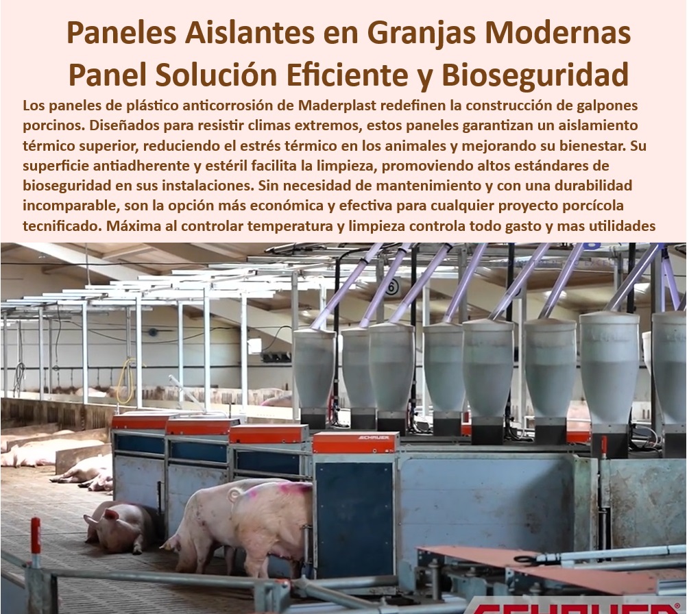 Diseño Infraestructuras Porcícolas División Corrales Placas Paneles Maderplast Innovación en paneles de bioseguridad porcina, - ¿Cómo mejorar la bioseguridad en galpones porcinos? - Aislamiento térmico efectivo para galpones de cerdos, - Infraestructura-Resistente-Porcicultura , - Bioseguridad-Sostenible-Porcicultura - Placas plásticas para corrales libres de mantenimiento, - Paneles antiadherentes para manejo eficiente en granjas, - Diseño de paneles para granjas higiénicas y seguras, - Diseño modular de placas para corrales de cerdos, - Sistemas higiénicos para reducir costos operativos, - Innovación-Aislamiento-Granjas - Sistemas de aislamiento eficientes para porcicultura, - Placas-Plásticas-Térmicas - Paneles resistentes a la corrosión para granjas porcinas, - Materiales plásticos con alta durabilidad para cerdos, - Materiales plásticos resistentes para granjas tecnificadas, - Paneles resistentes a rayos UV para granjas porcinas, - Aislamiento-Plástico-Granjas - Aislamiento duradero en infraestructura porcícola moderna, - Innovación en materiales para bioseguridad porcina, - Paneles plásticos térmicos para granjas porcinas, - Control térmico avanzado para cerdos de engorde, - Aislamiento térmico sin mantenimiento para granjas, - ¿Qué opciones de aislamiento duradero existen para granjas tecnificadas? , - Paneles-Resistentes-a-UV - Soluciones de bioseguridad para galpones porcinos, - Soluciones sostenibles en infraestructura porcícola, - Soluciones-Bioseguridad-Porcinos - Soluciones plásticas para optimizar la temperatura en granjas, - Soluciones plásticas para mejorar el bienestar animal, - ¿Dónde comprar placas plásticas para corrales de cerdos? - ¿Cuáles son los mejores materiales para control térmico en porcicultura? , - Paneles-Térmicos-Porcicultura - Placas plásticas para maximizar la productividad porcina, - Paneles desmontables y eficientes para galpones porcinos, - Materiales higiénicos para reducir enfermedades en cerdos, - Corrales-Modulares-Higiénicos - Infraestructura porcícola con control térmico avanzado, - Control-Térmico-Porcinos - ¿Qué paneles son ideales para aislar granjas de cerdos? - Cómo mejorar el control térmico en granjas porcinas - Aislamiento eficiente con paneles plásticos térmicos - Cómo construir galpones para cerdos fácilmente PP Diseño Infraestructuras Porcícolas División Corrales Placas Paneles Maderplast Cómo mejorar el control térmico en granjas porcinas Aislamiento eficiente con paneles plásticos térmicos Cómo construir galpones para cerdos fácilmente PP Innovación en paneles de bioseguridad porcina, - ¿Cómo mejorar la bioseguridad en galpones porcinos? - Aislamiento térmico efectivo para galpones de cerdos, - Infraestructura-Resistente-Porcicultura , - Bioseguridad-Sostenible-Porcicultura - Placas plásticas para corrales libres de mantenimiento, - Paneles antiadherentes para manejo eficiente en granjas, - Diseño de paneles para granjas higiénicas y seguras, - Diseño modular de placas para corrales de cerdos, - Sistemas higiénicos para reducir costos operativos, - Innovación-Aislamiento-Granjas - Sistemas de aislamiento eficientes para porcicultura, - Placas-Plásticas-Térmicas - Paneles resistentes a la corrosión para granjas porcinas, - Materiales plásticos con alta durabilidad para cerdos, - Materiales plásticos resistentes para granjas tecnificadas, - Paneles resistentes a rayos UV para granjas porcinas, - Aislamiento-Plástico-Granjas - Aislamiento duradero en infraestructura porcícola moderna, - Innovación en materiales para bioseguridad porcina, - Paneles plásticos térmicos para granjas porcinas, - Control térmico avanzado para cerdos de engorde, - Aislamiento térmico sin mantenimiento para granjas, - ¿Qué opciones de aislamiento duradero existen para granjas tecnificadas? , - Paneles-Resistentes-a-UV - Soluciones de bioseguridad para galpones porcinos, - Soluciones sostenibles en infraestructura porcícola, - Soluciones-Bioseguridad-Porcinos - Soluciones plásticas para optimizar la temperatura en granjas, - Soluciones plásticas para mejorar el bienestar animal, - ¿Dónde comprar placas plásticas para corrales de cerdos? - ¿Cuáles son los mejores materiales para control térmico en porcicultura? , - Paneles-Térmicos-Porcicultura - Placas plásticas para maximizar la productividad porcina, - Paneles desmontables y eficientes para galpones porcinos, - Materiales higiénicos para reducir enfermedades en cerdos, - Corrales-Modulares-Higiénicos - Infraestructura porcícola con control térmico avanzado, - Control-Térmico-Porcinos - ¿Qué paneles son ideales para aislar granjas de cerdos? Diseño Infraestructuras Porcícolas División Corrales Placas Paneles Maderplast - Cómo mejorar el control térmico en granjas porcinas - Aislamiento eficiente con paneles plásticos térmicos - Cómo construir galpones para cerdos fácilmente PP