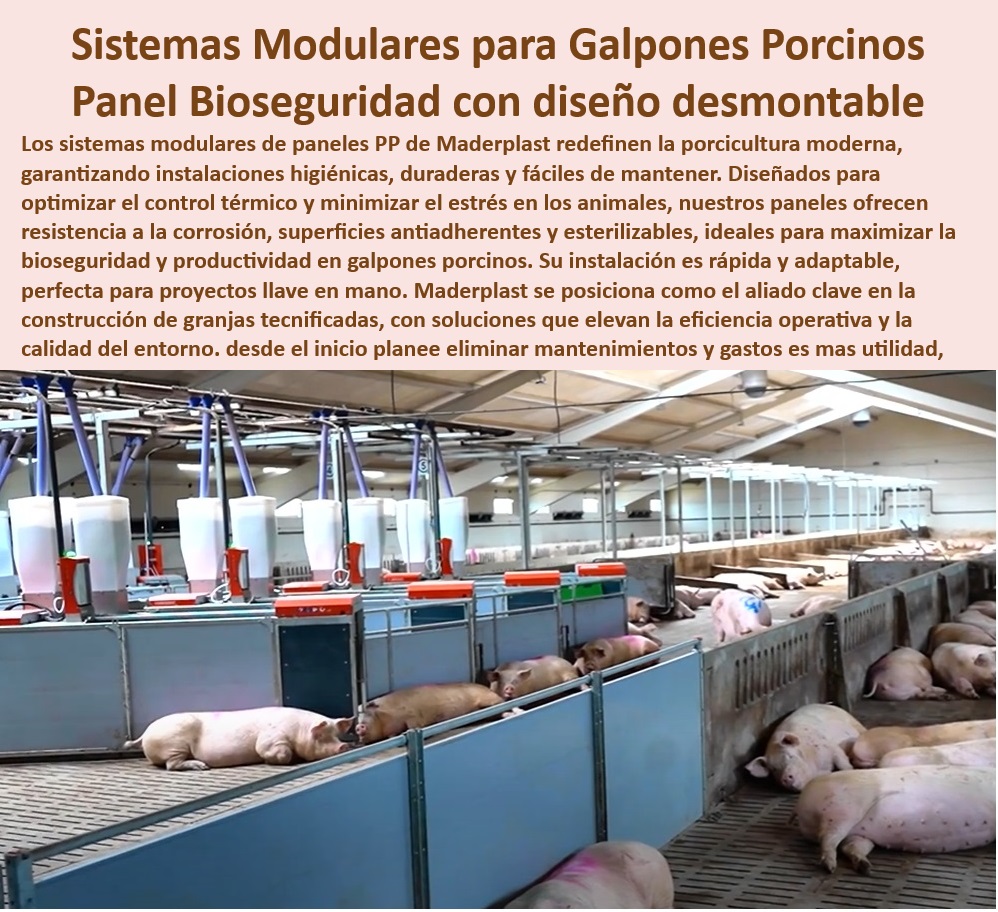 Diseño Infraestructuras Porcícolas División Corrales Placas Paneles Maderplast Soluciones plasticas resistentes para granjas modernas - Diseño modular para optimización de granjas de cerdos, - Corrales-Plásticos-De-Fácil-Limpieza - Reducción de costos con infraestructuras plásticas duraderas - Innovación en materiales plásticos para galpones modernos, - Diseño-Modular-En-Manejo-Porcino , - Materiales-Resistentes-Para-Climas-Extremos - Innovación en infraestructuras porcinas con bioseguridad - Paneles para corrales higiénicos y de fácil limpieza, - Innovación-En-Bioseguridad-Agrícola , - Bioseguridad-Avanzada-Para-Granjas - Materiales anticorrosivos para sistemas de bioseguridad, - Infraestructura sostenible con sistemas plásticos avanzados - Diseño inteligente de sistemas para manejo porcino eficiente, - Infraestructura-Sostenible-Porcina - Soluciones modulares para climas extremos en porcicultura , - Infraestructura-Modular-Para-Granjas - Instalaciones desmontables con bioseguridad certificada, - Soluciones-Plásticas-Tecnificadas - Paneles plásticos antiadherentes para higiene agrícola - Paneles plásticos desmontables para corrales higiénicos, - Diseño eficiente de galpones para manejo porcino, - Paneles higiénicos y resistentes para galpones porcinos, - Sistemas modulares para granjas porcinas tecnificadas - ¿Qué materiales ofrecen resistencia a la corrosión en infraestructura agrícola? - Soluciones tecnificadas para climas extremos en granjas - ¿Dónde encontrar paneles plásticos desmontables para galpones de cerdos? - Materiales reciclables para infraestructura porcina sostenible - Corrales desmontables con control térmico eficiente , - Sistemas-Modulares-Para-Porcicultura - Placas plásticas reciclables para instalaciones agrícolas, - Construcción modular sostenible para granjas tecnificadas - ¿Cómo construir granjas porcinas sostenibles y tecnificadas? - Construcción rápida de granjas porcinas desmontables, - ¿Qué paneles plásticos son ideales para climas extremos? , - Paneles-Plásticos-Desmontables - Paneles resistentes a la corrosión y fácil instalación, - ¿Cuáles son los mejores sistemas modulares para granjas porcinas? - Sistemas de manejo porcino adaptables y desmontables - Bioseguridad avanzada para granjas porcinas tecnificadas - Diseño de galpones para climas extremos - Construcción de sistemas modulares para climas extremos - Innovación en paneles desmontables para manejo porcino - PP Diseño Infraestructuras Porcícolas División Corrales Placas Paneles Maderplast Diseño de galpones para climas extremos Construcción de sistemas modulares para climas extremos Innovación en paneles desmontables para manejo porcino PP Soluciones plasticas resistentes para granjas modernas - Diseño modular para optimización de granjas de cerdos, - Corrales-Plásticos-De-Fácil-Limpieza - Reducción de costos con infraestructuras plásticas duraderas - Innovación en materiales plásticos para galpones modernos, - Diseño-Modular-En-Manejo-Porcino , - Materiales-Resistentes-Para-Climas-Extremos - Innovación en infraestructuras porcinas con bioseguridad - Paneles para corrales higiénicos y de fácil limpieza, - Innovación-En-Bioseguridad-Agrícola , - Bioseguridad-Avanzada-Para-Granjas - Materiales anticorrosivos para sistemas de bioseguridad, - Infraestructura sostenible con sistemas plásticos avanzados - Diseño inteligente de sistemas para manejo porcino eficiente, - Infraestructura-Sostenible-Porcina - Soluciones modulares para climas extremos en porcicultura , - Infraestructura-Modular-Para-Granjas - Instalaciones desmontables con bioseguridad certificada, - Soluciones-Plásticas-Tecnificadas - Paneles plásticos antiadherentes para higiene agrícola - Paneles plásticos desmontables para corrales higiénicos, - Diseño eficiente de galpones para manejo porcino, - Paneles higiénicos y resistentes para galpones porcinos, - Sistemas modulares para granjas porcinas tecnificadas - ¿Qué materiales ofrecen resistencia a la corrosión en infraestructura agrícola? - Soluciones tecnificadas para climas extremos en granjas - ¿Dónde encontrar paneles plásticos desmontables para galpones de cerdos? - Materiales reciclables para infraestructura porcina sostenible - Corrales desmontables con control térmico eficiente , - Sistemas-Modulares-Para-Porcicultura - Placas plásticas reciclables para instalaciones agrícolas, - Construcción modular sostenible para granjas tecnificadas - ¿Cómo construir granjas porcinas sostenibles y tecnificadas? - Construcción rápida de granjas porcinas desmontables, - ¿Qué paneles plásticos son ideales para climas extremos? , - Paneles-Plásticos-Desmontables - Paneles resistentes a la corrosión y fácil instalación, - ¿Cuáles son los mejores sistemas modulares para granjas porcinas? - Sistemas de manejo porcino adaptables y desmontables - Bioseguridad avanzada para granjas porcinas tecnificadas Diseño Infraestructuras Porcícolas División Corrales Placas Paneles Maderplast - Diseño de galpones para climas extremos - Construcción de sistemas modulares para climas extremos - Innovación en paneles desmontables para manejo porcino - PP
