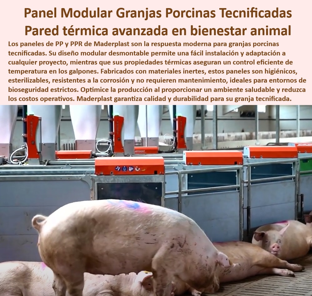 Diseño Infraestructuras Porcícolas División Corrales Placas Paneles Maderplast Soluciones modulares para manejo eficiente en porcicultura , - Soluciones-Sostenibles-En-Porcicultura - Sistemas de alta durabilidad para galpones de cerdos - ¿Qué materiales son ideales para bioseguridad en granjas porcinas? - Sistemas desmontables con aislamiento térmico avanzado - Paneles térmicos para optimizar el bienestar animal en granjas - ¿Qué sistemas plásticos ofrecen mayor durabilidad para el manejo porcino? - ¿Cómo reducir costos operativos en galpones tecnificados para cerdos? - Innovación en diseño de galpones para climas extremos, - Bioseguridad-En-Manejo-Porcino , - Sistemas-Plásticos-Duraderos , - Innovación-En-Porcicultura-Sostenible - Paneles resistentes a la corrosión para instalaciones porcinas, - Materiales anticorrosión para galpones porcinos sostenibles - Paneles livianos y resistentes para infraestructura porcina , - Aislamiento-Térmico-Para-Granjas - Soluciones avanzadas para infraestructura de manejo porcino - Paneles plásticos especializados para climas extremos en granjas - Soluciones inteligentes para reducir costos en granjas porcinas - Paneles desmontables para galpones porcinos higiénicos - Infraestructura plástica para granjas porcinas tecnificadas - Construcción rápida con paneles desmontables para porcicultura - Diseño modular sostenible para bioseguridad porcina, - Paneles desmontables adaptables a cualquier proyecto porcícola , - Diseño-Moderno-Para-Granjas , - Paneles-Anticorrosión-Para-Galpones - Paneles plásticos fáciles de limpiar para granjas porcinas , - Paneles-Térmicos-Para-Porcicultura - Soluciones higiénicas para manejo de cerdos tecnificados , - Infraestructura-Modular-Higiénica - Sistemas modulares con control térmico para bienestar animal, - Tecnología en bioseguridad para manejo porcino moderno - Materiales plásticos resistentes a la humedad para galpones, - ¿Cuáles son los beneficios de paneles térmicos en infraestructura porcina? - ¿Dónde puedo encontrar paneles desmontables para galpones porcinos? - Materiales plásticos duraderos para granjas modernas, - Construcción-Eficiente-Para-Cerdos - Construcción sostenible con paneles plásticos en porcicultura - Materiales plásticos reciclables para instalaciones agrícolas, - Instalaciones porcinas eficientes con ahorro energético- Diseños rápidos y eficientes en infraestructura porcina - Paneles plásticos desmontables fáciles de limpiar - Cómo mejorar el aislamiento en galpones porcinos Diseño Infraestructuras Porcícolas División Corrales Placas Paneles Maderplast Diseños rápidos y eficientes en infraestructura porcina Paneles plásticos desmontables fáciles de limpiar Cómo mejorar el aislamiento en galpones porcinos Soluciones modulares para manejo eficiente en porcicultura , - Soluciones-Sostenibles-En-Porcicultura - Sistemas de alta durabilidad para galpones de cerdos - ¿Qué materiales son ideales para bioseguridad en granjas porcinas? - Sistemas desmontables con aislamiento térmico avanzado - Paneles térmicos para optimizar el bienestar animal en granjas - ¿Qué sistemas plásticos ofrecen mayor durabilidad para el manejo porcino? - ¿Cómo reducir costos operativos en galpones tecnificados para cerdos? - Innovación en diseño de galpones para climas extremos, - Bioseguridad-En-Manejo-Porcino , - Sistemas-Plásticos-Duraderos , - Innovación-En-Porcicultura-Sostenible - Paneles resistentes a la corrosión para instalaciones porcinas, - Materiales anticorrosión para galpones porcinos sostenibles - Paneles livianos y resistentes para infraestructura porcina , - Aislamiento-Térmico-Para-Granjas - Soluciones avanzadas para infraestructura de manejo porcino - Paneles plásticos especializados para climas extremos en granjas - Soluciones inteligentes para reducir costos en granjas porcinas - Paneles desmontables para galpones porcinos higiénicos - Infraestructura plástica para granjas porcinas tecnificadas - Construcción rápida con paneles desmontables para porcicultura - Diseño modular sostenible para bioseguridad porcina, - Paneles desmontables adaptables a cualquier proyecto porcícola , - Diseño-Moderno-Para-Granjas , - Paneles-Anticorrosión-Para-Galpones - Paneles plásticos fáciles de limpiar para granjas porcinas , - Paneles-Térmicos-Para-Porcicultura - Soluciones higiénicas para manejo de cerdos tecnificados , - Infraestructura-Modular-Higiénica - Sistemas modulares con control térmico para bienestar animal, - Tecnología en bioseguridad para manejo porcino moderno - Materiales plásticos resistentes a la humedad para galpones, - ¿Cuáles son los beneficios de paneles térmicos en infraestructura porcina? - ¿Dónde puedo encontrar paneles desmontables para galpones porcinos? - Materiales plásticos duraderos para granjas modernas, - Construcción-Eficiente-Para-Cerdos - Construcción sostenible con paneles plásticos en porcicultura - Materiales plásticos reciclables para instalaciones agrícolas, - Instalaciones porcinas eficientes con ahorro energético Diseño Infraestructuras Porcícolas División Corrales Placas Paneles Maderplast - Diseños rápidos y eficientes en infraestructura porcina - Paneles plásticos desmontables fáciles de limpiar - Cómo mejorar el aislamiento en galpones porcinos