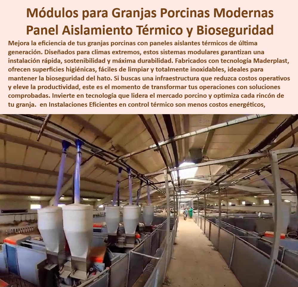 Diseño Infraestructuras Porcícolas División Corrales Placas Paneles Maderplast Paneles plásticos anticorrosión para galpones porcinos, - Paneles-Anticorrosión-Para-Porcicultura - Soluciones sostenibles para granjas porcinas modernas - Soluciones modulares con ahorro energético garantizado - Bioseguridad avanzada con placas plásticas anticorrosión - Tecnología avanzada en corrales desmontables para cerdos - ¿Cuáles son los beneficios de paneles anticorrosión en instalaciones porcinas? , - Materiales-Resistentes-Agrícolas , - Innovación-En-Manejo-Porcino - Construcción modular sostenible para manejo porcino eficiente, - Paneles ligeros y resistentes para infraestructuras agrícolas, - Aislamiento-Térmico-En-Granjas - ¿Qué materiales son mejores para construir galpones sostenibles? - Materiales reciclables para sistemas de manejo porcino, - Placas plásticas higiénicas para instalaciones agrícolas, - ¿Cómo optimizar la bioseguridad en granjas de cerdos con tecnología avanzada? - Paneles innovadores para bioseguridad en granjas tecnificadas - Construcción rápida y adaptable para galpones de cerdos, - Soluciones anticorrosión para granjas de producción animal, - ¿Dónde comprar paneles plásticos para granjas porcinas modernas? , - Bioseguridad-Avanzada-En-Porcicultura - Materiales duraderos para infraestructuras porcinas eficientes , - Sistemas-Desmontables-Ecoamigables - Aislamiento térmico efectivo para instalaciones agrícolas - Innovación en diseño de granjas para climas extremos, - Bioseguridad eficiente en sistemas de manejo de cerdos , - Infraestructura-Plástica-Para-Porcinos , - Construcción-Modular-Porcina - Sistemas higiénicos de fácil limpieza para manejo porcino - Sistemas desmontables para maximizar la productividad agrícola - ¿Qué soluciones modulares son ideales para el manejo eficiente del cerdo? , - Soluciones-Modulares-Higiénicas - Paneles resistentes a la humedad para granjas porcinas , - Paneles-Ligeros-Y-Eficientes - Sistemas modulares resistentes para manejo porcino - Infraestructura plástica para granjas de cerdos tecnificadas - Paneles desmontables con aislamiento térmico avanzado - Soluciones plásticas resistentes a condiciones extremas - Reducción de costos operativos con materiales plásticos - Paneles desmontables y adaptables para galpones higiénicos Materiales básicos para iniciarse en la porcicultura Placas plásticas anticorrosión para granjas especializadas Materiales de fácil instalación para galpón 0 Diseño Infraestructuras Porcícolas División Corrales Placas Paneles Maderplast Materiales básicos para iniciarse en la porcicultura Placas plásticas anticorrosión para granjas especializadas Materiales de fácil instalación para galpón 0 Paneles plásticos anticorrosión para galpones porcinos, - Paneles-Anticorrosión-Para-Porcicultura - Soluciones sostenibles para granjas porcinas modernas - Soluciones modulares con ahorro energético garantizado - Bioseguridad avanzada con placas plásticas anticorrosión - Tecnología avanzada en corrales desmontables para cerdos - ¿Cuáles son los beneficios de paneles anticorrosión en instalaciones porcinas? , - Materiales-Resistentes-Agrícolas , - Innovación-En-Manejo-Porcino - Construcción modular sostenible para manejo porcino eficiente, - Paneles ligeros y resistentes para infraestructuras agrícolas, - Aislamiento-Térmico-En-Granjas - ¿Qué materiales son mejores para construir galpones sostenibles? - Materiales reciclables para sistemas de manejo porcino, - Placas plásticas higiénicas para instalaciones agrícolas, - ¿Cómo optimizar la bioseguridad en granjas de cerdos con tecnología avanzada? - Paneles innovadores para bioseguridad en granjas tecnificadas - Construcción rápida y adaptable para galpones de cerdos, - Soluciones anticorrosión para granjas de producción animal, - ¿Dónde comprar paneles plásticos para granjas porcinas modernas? , - Bioseguridad-Avanzada-En-Porcicultura - Materiales duraderos para infraestructuras porcinas eficientes , - Sistemas-Desmontables-Ecoamigables - Aislamiento térmico efectivo para instalaciones agrícolas - Innovación en diseño de granjas para climas extremos, - Bioseguridad eficiente en sistemas de manejo de cerdos , - Infraestructura-Plástica-Para-Porcinos , - Construcción-Modular-Porcina - Sistemas higiénicos de fácil limpieza para manejo porcino - Sistemas desmontables para maximizar la productividad agrícola - ¿Qué soluciones modulares son ideales para el manejo eficiente del cerdo? , - Soluciones-Modulares-Higiénicas - Paneles resistentes a la humedad para granjas porcinas , - Paneles-Ligeros-Y-Eficientes - Sistemas modulares resistentes para manejo porcino - Infraestructura plástica para granjas de cerdos tecnificadas - Paneles desmontables con aislamiento térmico avanzado - Soluciones plásticas resistentes a condiciones extremas - Reducción de costos operativos con materiales plásticos - Paneles desmontables y adaptables para galpones higiénicos Diseño Infraestructuras Porcícolas División Corrales Placas Paneles Maderplast Materiales básicos para iniciarse en la porcicultura Placas plásticas anticorrosión para granjas especializadas Materiales de fácil instalación para galpón 0