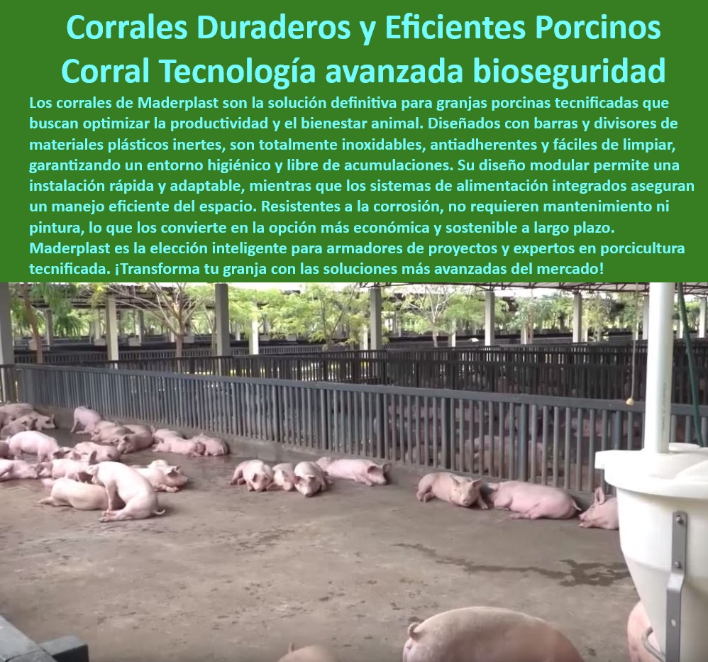 Diseño corrales modernos para cerdos Innovación corral porcicultura Maderplast Corrales modernos para granjas porcinas tecnificadas, - ¿Dónde conseguir divisiones higiénicas para cerdos en granjas tecnificadas? - Corrales modulares con sistemas integrados de alimentación porcina, - Corrales plásticos de alta resistencia para producción porcina, - Tecnología-Porcina-Sostenible - Sistemas de cercas flexibles para manejo eficiente de cerdos, - Sistemas innovadores en manejo de cerdos en granjas modernas, - Innovación en cercas y corrales de alta eficiencia porcina, - Materiales plásticos avanzados para corrales porcinos duraderos, - Innovación-Tecnológica-Granjas - Divisiones adaptables para granjas de engorde de porcinos, - Cercas modulares para la gestión eficiente de espacios porcinos, - Sistemas-Higiénicos-Granjas , - Cercas-Plásticas-Antibacterianas - Tecnología avanzada en divisiones de corrales higiénicos, - Corrales resistentes para climas extremos en porcicultura, - Manejo-Eficiente-Porcicultura - ¿Qué corrales son recomendados para climas húmedos en granjas porcinas? - Tecnología anticorrosiva en divisiones porcinas de alta calidad, - Corrales-Modulares-Porcinos - Corrales plásticos libres de mantenimiento y duraderos, - Materiales reciclables y sostenibles para instalaciones porcinas, - Infraestructuras de bioseguridad para granjas tecnificadas, - Tecnología sostenible para optimización de producción de cerdos, - ¿Cómo instalar corrales con bebederos y comederos integrados? - Corrales sostenibles para optimizar la productividad porcina, - Divisiones antibacterianas para granjas de cerdos tecnificadas, - Diseño de corrales con bebederos y comederos integrados, - Infraestructura-Avanzada-Porcina , - Corrales-Modernos-Cerdos - Sistemas adaptables para manejo intensivo en granjas de engorde, - Materiales inoxidables para instalaciones porcinas eficientes, - ¿Qué materiales anticorrosivos son ideales para corrales de cerdos? - Corrales para control ambiental en instalaciones de porcicultura, - Divisiones-Eficientes-Porcicultura - Sistemas de bioseguridad en instalaciones porcinas avanzadas, - Tecnología modular en corrales de cerdos sostenibles, - ¿Cuáles son los mejores corrales sostenibles para granjas porcinas modernas? , - Cercas-Anticorrosivas-Porcinos - Cercas plásticas higiénicas para manejo de cerdos. - corrales de cerdos en granjas tecnificadas - Corrales especializados en control ambiental para porcicultura - Corrales cerdos modernos con bebederos y comedero Diseño corrales modernos para cerdos Innovación corral porcicultura Maderplast corrales de cerdos en granjas tecnificadas Corrales especializados en control ambiental para porcicultura Corrales cerdos modernos con bebederos y comedero Corrales modernos para granjas porcinas tecnificadas, - ¿Dónde conseguir divisiones higiénicas para cerdos en granjas tecnificadas? - Corrales modulares con sistemas integrados de alimentación porcina, - Corrales plásticos de alta resistencia para producción porcina, - Tecnología-Porcina-Sostenible - Sistemas de cercas flexibles para manejo eficiente de cerdos, - Sistemas innovadores en manejo de cerdos en granjas modernas, - Innovación en cercas y corrales de alta eficiencia porcina, - Materiales plásticos avanzados para corrales porcinos duraderos, - Innovación-Tecnológica-Granjas - Divisiones adaptables para granjas de engorde de porcinos, - Cercas modulares para la gestión eficiente de espacios porcinos, - Sistemas-Higiénicos-Granjas , - Cercas-Plásticas-Antibacterianas - Tecnología avanzada en divisiones de corrales higiénicos, - Corrales resistentes para climas extremos en porcicultura, - Manejo-Eficiente-Porcicultura - ¿Qué corrales son recomendados para climas húmedos en granjas porcinas? - Tecnología anticorrosiva en divisiones porcinas de alta calidad, - Corrales-Modulares-Porcinos - Corrales plásticos libres de mantenimiento y duraderos, - Materiales reciclables y sostenibles para instalaciones porcinas, - Infraestructuras de bioseguridad para granjas tecnificadas, - Tecnología sostenible para optimización de producción de cerdos, - ¿Cómo instalar corrales con bebederos y comederos integrados? - Corrales sostenibles para optimizar la productividad porcina, - Divisiones antibacterianas para granjas de cerdos tecnificadas, - Diseño de corrales con bebederos y comederos integrados, - Infraestructura-Avanzada-Porcina , - Corrales-Modernos-Cerdos - Sistemas adaptables para manejo intensivo en granjas de engorde, - Materiales inoxidables para instalaciones porcinas eficientes, - ¿Qué materiales anticorrosivos son ideales para corrales de cerdos? - Corrales para control ambiental en instalaciones de porcicultura, - Divisiones-Eficientes-Porcicultura - Sistemas de bioseguridad en instalaciones porcinas avanzadas, - Tecnología modular en corrales de cerdos sostenibles, - ¿Cuáles son los mejores corrales sostenibles para granjas porcinas modernas? , - Cercas-Anticorrosivas-Porcinos - Cercas plásticas higiénicas para manejo de cerdos. Diseño corrales modernos para cerdos Innovación corral porcicultura Maderplast - corrales de cerdos en granjas tecnificadas - Corrales especializados en control ambiental para porcicultura - Corrales cerdos modernos con bebederos y comedero