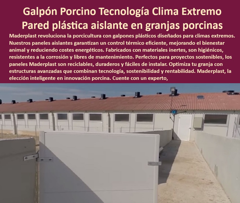 Edificaciones Porcinas Última Tecnología Galpones Porcinos Maderplast Paneles desmontables para proyectos porcinos, - Bioseguridad-Porcina-Avanzada, - Paneles desmontables para bioseguridad en granjas, - Paneles higiénicos para producción sostenible, - Sistemas aislantes para producción porcina, - Paneles-Plásticos-Aislantes, - Galpones modernos con materiales avanzados, - Instalaciones porcinas higiénicas y duraderas, - Construcción eficiente de galpones modernos, - Construcción modular para climas adversos, - Soluciones innovadoras en producción porcina, - ¿Qué paneles higiénicos son ideales para porcicultura? - Construcción rentable para climas extremos, - Paneles térmicos para climas extremos, - Diseños-Modulares-Granjas, - ¿Cuáles son los mejores materiales para galpones porcinos? - Galpones porcinos resistentes a la corrosión, - 10 Hashtags Mejorados con Guión al Medio - Paneles plásticos amigables con el medio ambiente, - ¿Cómo construir galpones resistentes al clima extremo? - ¿Qué solución térmica es eficiente para instalaciones porcinas? - ¿Dónde comprar paneles desmontables para granjas porcinas? - Diseños personalizados para granjas porcinas modernas, - Paneles-Higiénicos-Porcinos, - Galpones porcinos sin necesidad de mantenimiento, - Galpones plásticos con control climático eficiente, - Construcción-Eficiente-Porcicultura, - Materiales reciclables para granjas tecnificadas, - Materiales-Reciclables-Porcinos, - Estructuras avanzadas para granjas porcinas, - Control-Térmico-Galpones, - Infraestructura adaptable para proyectos porcinos, - Galpones-Modulares-Porcinos, - Galpones de cerdos con mínimo mantenimiento, - Eficiencia térmica en instalaciones porcinas, - Infraestructura-Porcina-Moderna, - Producción-Porcina-Sostenible, - 5 Búsquedas por Voz Comunes - Paneles reciclables para infraestructuras porcinas, - Diseños modulares para granjas de cerdos, - Infraestructura sostenible en porcicultura avanzada, - Construcción higiénica para cerdos en galpones. - Construcción eficiente en climas extremos porcinos - Paneles plásticos higiénicos para instalaciones porcinas - Construcción instalaciones térmicas producción porcina Edificaciones Porcinas Última Tecnología Galpones Porcinos Maderplast Construcción eficiente en climas extremos porcinos Paneles plásticos higiénicos para instalaciones porcinas Construcción instalaciones térmicas producción porcina Paneles desmontables para proyectos porcinos, - Bioseguridad-Porcina-Avanzada, - Paneles desmontables para bioseguridad en granjas, - Paneles higiénicos para producción sostenible, - Sistemas aislantes para producción porcina, - Paneles-Plásticos-Aislantes, - Galpones modernos con materiales avanzados, - Instalaciones porcinas higiénicas y duraderas, - Construcción eficiente de galpones modernos, - Construcción modular para climas adversos, - Soluciones innovadoras en producción porcina, - ¿Qué paneles higiénicos son ideales para porcicultura? - Construcción rentable para climas extremos, - Paneles térmicos para climas extremos, - Diseños-Modulares-Granjas, - ¿Cuáles son los mejores materiales para galpones porcinos? - Galpones porcinos resistentes a la corrosión, - 10 Hashtags Mejorados con Guión al Medio - Paneles plásticos amigables con el medio ambiente, - ¿Cómo construir galpones resistentes al clima extremo? - ¿Qué solución térmica es eficiente para instalaciones porcinas? - ¿Dónde comprar paneles desmontables para granjas porcinas? - Diseños personalizados para granjas porcinas modernas, - Paneles-Higiénicos-Porcinos, - Galpones porcinos sin necesidad de mantenimiento, - Galpones plásticos con control climático eficiente, - Construcción-Eficiente-Porcicultura, - Materiales reciclables para granjas tecnificadas, - Materiales-Reciclables-Porcinos, - Estructuras avanzadas para granjas porcinas, - Control-Térmico-Galpones, - Infraestructura adaptable para proyectos porcinos, - Galpones-Modulares-Porcinos, - Galpones de cerdos con mínimo mantenimiento, - Eficiencia térmica en instalaciones porcinas, - Infraestructura-Porcina-Moderna, - Producción-Porcina-Sostenible, - 5 Búsquedas por Voz Comunes - Paneles reciclables para infraestructuras porcinas, - Diseños modulares para granjas de cerdos, - Infraestructura sostenible en porcicultura avanzada, - Construcción higiénica para cerdos en galpones. Edificaciones Porcinas Última Tecnología Galpones Porcinos Maderplast - Construcción eficiente en climas extremos porcinos - Paneles plásticos higiénicos para instalaciones porcinas - Construcción instalaciones térmicas producción porcina