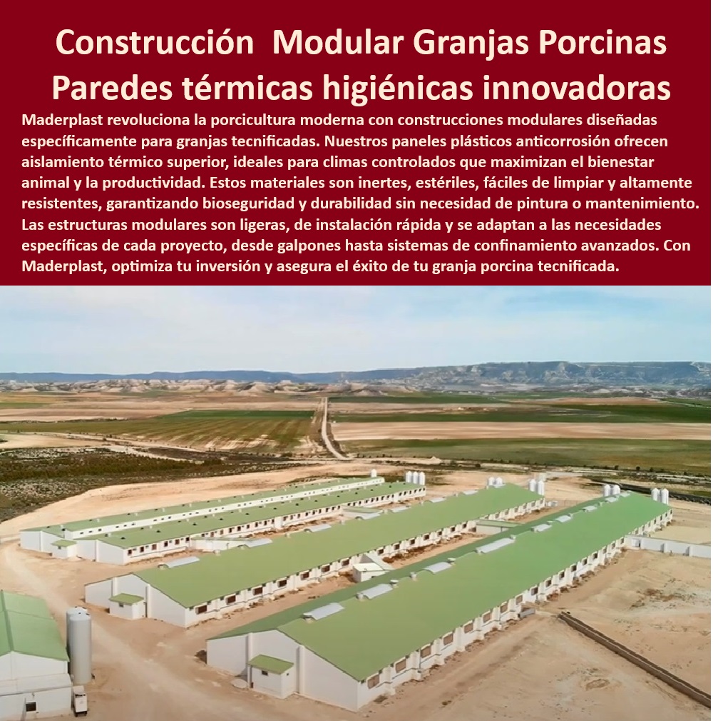 Edificaciones Porcinas Última Tecnología Galpones Porcinos Maderplast Construcción eficiente y sostenible para granjas porcinas, - Paneles-Térmicos-Para-Porcicultura - Construcción sostenible para porcicultura moderna - Construcción-Sostenible-Para-Cerdos - Instalación rápida de galpones resistentes - Paneles ligeros de rápida instalación para cerdos - Bioseguridad avanzada con paneles de Maderplast - ¿Cómo instalar paredes plásticas para galpones de cerdos? - Construcción modular para galpones de cerdos, - Innovación-En-Granjas-Tecnificadas - Soluciones avanzadas para bioseguridad en cerdos - ¿Cuáles son los mejores paneles térmicos para galpones porcinos? - Aislamiento térmico superior en galpones porcinos - Estructuras plásticas resistentes a climas extremos, - Diseño higiénico en paneles para galpones porcinos, - Materiales anticorrosión para granjas tecnificadas - ¿Dónde comprar construcciones modulares para granjas tecnificadas? - Diseño-Higiénico-Para-Galpones - Aislamiento-Térmico-Porcicultura - Paneles plásticos esterilizables para granjas porcinas - Materiales-Anticorrosión-Granjas - Innovación en construcción de granjas tecnificadas - ¿Qué materiales usar para construir una granja porcina moderna? - Infraestructura-Porcina-Duradera - Paredes plásticas que optimizan la productividad animal, - Sistemas de confinamiento modular para cerdos - Edificaciones modernas para granjas de porcicultura - Paredes plásticas aislantes para climas controlados, - Estructuras-Plásticas-Para-Granjas - Infraestructura térmica para granjas porcinas avanzadas - Construcción modular de granjas con bioseguridad - Soluciones-Bioseguridad-Porcinas - Innovación en materiales plásticos para galpones de cerdos, - Construcción-Modular-Galpones-Porcinos - Infraestructura porcina con paneles higiénicos, - ¿Qué ventajas ofrecen los paneles plásticos para granjas porcinas? - Soluciones térmicas para manejo de cerdos tecnificados - Paredes higiénicas para galpones porcinos - Paneles térmicos para granjas porcinas eficientes - Galpones de alta durabilidad sin mantenimiento - Cómo elegir paneles plásticos para granjas - Qué materiales usar en granjas porcinas - Paneles térmicos fácil de instalar para cerdos - Construcción rápida de galpones Edificaciones Porcinas Última Tecnología Galpones Porcinos Maderplast Cómo elegir paneles plásticos para granjas Qué materiales usar en granjas porcinas Paneles térmicos fácil de instalar para cerdos Construcción rápida de galpones Construcción eficiente y sostenible para granjas porcinas, - Paneles-Térmicos-Para-Porcicultura - Construcción sostenible para porcicultura moderna - Construcción-Sostenible-Para-Cerdos - Instalación rápida de galpones resistentes - Paneles ligeros de rápida instalación para cerdos - Bioseguridad avanzada con paneles de Maderplast - ¿Cómo instalar paredes plásticas para galpones de cerdos? - Construcción modular para galpones de cerdos, - Innovación-En-Granjas-Tecnificadas - Soluciones avanzadas para bioseguridad en cerdos - ¿Cuáles son los mejores paneles térmicos para galpones porcinos? - Aislamiento térmico superior en galpones porcinos - Estructuras plásticas resistentes a climas extremos, - Diseño higiénico en paneles para galpones porcinos, - Materiales anticorrosión para granjas tecnificadas - ¿Dónde comprar construcciones modulares para granjas tecnificadas? - Diseño-Higiénico-Para-Galpones - Aislamiento-Térmico-Porcicultura - Paneles plásticos esterilizables para granjas porcinas - Materiales-Anticorrosión-Granjas - Innovación en construcción de granjas tecnificadas - ¿Qué materiales usar para construir una granja porcina moderna? - Infraestructura-Porcina-Duradera - Paredes plásticas que optimizan la productividad animal, - Sistemas de confinamiento modular para cerdos - Edificaciones modernas para granjas de porcicultura - Paredes plásticas aislantes para climas controlados, - Estructuras-Plásticas-Para-Granjas - Infraestructura térmica para granjas porcinas avanzadas - Construcción modular de granjas con bioseguridad - Soluciones-Bioseguridad-Porcinas - Innovación en materiales plásticos para galpones de cerdos, - Construcción-Modular-Galpones-Porcinos - Infraestructura porcina con paneles higiénicos, - ¿Qué ventajas ofrecen los paneles plásticos para granjas porcinas? - Soluciones térmicas para manejo de cerdos tecnificados - Paredes higiénicas para galpones porcinos - Paneles térmicos para granjas porcinas eficientes - Galpones de alta durabilidad sin mantenimiento Edificaciones Porcinas Última Tecnología Galpones Porcinos Maderplast - Cómo elegir paneles plásticos para granjas - Qué materiales usar en granjas porcinas - Paneles térmicos fácil de instalar para cerdos - Construcción rápida de galpones
