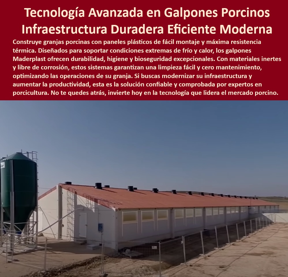 Edificaciones Porcinas Última Tecnología Galpones Porcinos Maderplast Estructuras plásticas higiénicas para granjas de cerdos, - Producción-Porcina-Sostenible. - Sistemas plásticos duraderos para granjas de producción porcina. - ¿Cuáles son las mejores soluciones para bioseguridad porcina? - Soluciones térmicas innovadoras para porcicultura tecnificada. - Construcción sostenible de granjas porcinas tecnificadas. - Galpones térmicos para producción porcina moderna. - Estructuras modulares para climas extremos en porcicultura, - Tecnología-Térmica-Porcicultura. - Galpones de cerdos resistentes a condiciones climáticas, - Infraestructura-Porcina-Moderna, - Paneles-Higiénicos-Porcinos. - ¿Dónde encontrar estructuras modulares para porcicultura? - Sistemas plásticos higiénicos para granjas de cerdos. - Infraestructura avanzada en producción porcina sostenible. - Paneles reciclables con bioseguridad para granjas porcinas. - ¿Qué sistemas térmicos se recomiendan para granjas porcinas? - Soluciones de bioseguridad para granjas porcinas tecnificadas. - Galpones modulares adaptados a necesidades porcinas. - Materiales reciclables y sostenibles para infraestructura porcina. - Paneles plásticos resistentes para instalaciones porcinas. - Diseños de galpones plásticos para climas adversos, - Galpones-Térmicos-Porcinos. - Materiales anticorrosivos para galpones porcinos eficientes, - Bioseguridad-En-Granjas-Porcinas. - Construcción modular de bajo mantenimiento para porcicultura. - ¿Qué paneles son ideales para galpones de cerdos? - Galpones desmontables para optimización en granjas porcinas. - Tecnología avanzada en estructuras porcinas higiénicas. - Diseños personalizados para optimización en granjas porcinas. - Galpones tecnificados con control térmico eficiente. - ¿Cómo construir galpones resistentes a climas extremos? - Sistemas eficientes para producción porcina de alta calidad, - Diseños-Modulares-Galpones, - Estructuras-Modulares-Porcinas, - Construcción-Eficiente-Porcina. - Paneles resistentes al desgaste para galpones modernos, - Sistemas-Plásticos-Resistentes. - Instalaciones higiénicas y eficientes para granjas modernas. - Construcción innovadora de granjas porcinas tecnificadas. - Estructuras térmicas para producción porcina eficiente - Construcción de galpones térmicos para cerdos - Sistemas plásticos resistentes para instalaciones porcinas - PP Edificaciones Porcinas Última Tecnología Galpones Porcinos Maderplast Estructuras térmicas para producción porcina eficiente Construcción de galpones térmicos para cerdos Sistemas plásticos resistentes para instalaciones porcinas PP Estructuras plásticas higiénicas para granjas de cerdos, - Producción-Porcina-Sostenible. - Sistemas plásticos duraderos para granjas de producción porcina. - ¿Cuáles son las mejores soluciones para bioseguridad porcina? - Soluciones térmicas innovadoras para porcicultura tecnificada. - Construcción sostenible de granjas porcinas tecnificadas. - Galpones térmicos para producción porcina moderna. - Estructuras modulares para climas extremos en porcicultura, - Tecnología-Térmica-Porcicultura. - Galpones de cerdos resistentes a condiciones climáticas, - Infraestructura-Porcina-Moderna, - Paneles-Higiénicos-Porcinos. - ¿Dónde encontrar estructuras modulares para porcicultura? - Sistemas plásticos higiénicos para granjas de cerdos. - Infraestructura avanzada en producción porcina sostenible. - Paneles reciclables con bioseguridad para granjas porcinas. - ¿Qué sistemas térmicos se recomiendan para granjas porcinas? - Soluciones de bioseguridad para granjas porcinas tecnificadas. - Galpones modulares adaptados a necesidades porcinas. - Materiales reciclables y sostenibles para infraestructura porcina. - Paneles plásticos resistentes para instalaciones porcinas. - Diseños de galpones plásticos para climas adversos, - Galpones-Térmicos-Porcinos. - Materiales anticorrosivos para galpones porcinos eficientes, - Bioseguridad-En-Granjas-Porcinas. - Construcción modular de bajo mantenimiento para porcicultura. - ¿Qué paneles son ideales para galpones de cerdos? - Galpones desmontables para optimización en granjas porcinas. - Tecnología avanzada en estructuras porcinas higiénicas. - Diseños personalizados para optimización en granjas porcinas. - Galpones tecnificados con control térmico eficiente. - ¿Cómo construir galpones resistentes a climas extremos? - Sistemas eficientes para producción porcina de alta calidad, - Diseños-Modulares-Galpones, - Estructuras-Modulares-Porcinas, - Construcción-Eficiente-Porcina. - Paneles resistentes al desgaste para galpones modernos, - Sistemas-Plásticos-Resistentes. - Instalaciones higiénicas y eficientes para granjas modernas. - Construcción innovadora de granjas porcinas tecnificadas. Edificaciones Porcinas Última Tecnología Galpones Porcinos Maderplast - Estructuras térmicas para producción porcina eficiente - Construcción de galpones térmicos para cerdos - Sistemas plásticos resistentes para instalaciones porcinas - PP