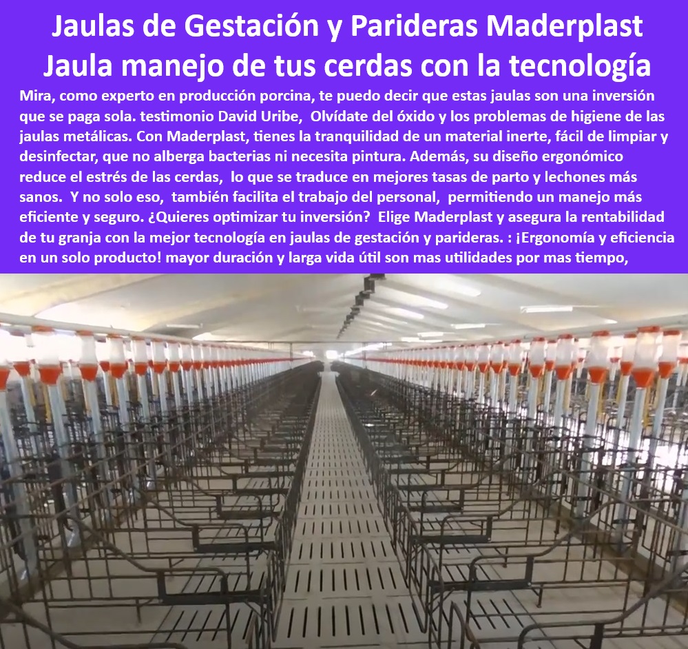 Jaulas De Inseminación Y Gestación Porcina Corral Maternidad Cerdas Maderplast ¿Dónde puedo encontrar sistemas de maternidad modernos para cerdos? - Corrales de larga duración para maternidad porcina. - Jaulas tecnológicas para cerdas en gestación. - Sistemas innovadores de bioseguridad en granjas porcinas. - -Jaulas-Eficientes-Y-Anticorrosivas. - Jaulas para optimizar las tasas de parto en porcicultura. - Diseño higiénico para instalaciones porcinas tecnificadas. - Infraestructura avanzada para manejo porcino eficiente. - Jaulas plásticas higiénicas y ergonómicas para cerdas. - Diseño modular en jaulas para granjas sostenibles. - Corrales de fácil instalación para granjas modernas. - Jaulas económicas y duraderas para cerdas gestantes. - -Soluciones-De-Confinamiento-Porcino. - Jaulas tecnificadas que reducen costos en porcicultura. - Corrales de parto seguros y eficientes para cerdas. - -Jaulas-De-Maternidad-Moderna. - -Corrales-Higiénicos-Para-Cerdas. - Soluciones de confinamiento higiénico para cerdas preñadas. - Corrales de maternidad resistentes y fáciles de limpiar. - Infraestructura sostenible para manejo de maternidad porcina. - Sistemas modulares eficientes para maternidad de cerdos. - ¿Qué jaulas ayudan a reducir el estrés en cerdas gestantes? - -Manejo-Eficiente-En-Porcicultura. - -Jaulas-Duraderas-Y-Sostenibles. - Sistemas de maternidad para porcicultura moderna. - Jaulas personalizadas para aumentar la productividad porcina. - Soluciones plásticas para manejo de cerdas preñadas. - -Sistemas-De-Gestación-Porcina. - Sistemas de confinamiento para cerdas preñadas sin estrés. - ¿Cuáles son las mejores jaulas para maternidad de cerdos? - -Infraestructura-Para-Maternidad-Porcina. - Infraestructura plástica avanzada para producción porcina. - ¿Cómo elegir jaulas higiénicas para maternidad porcina? - Sistemas de gestación porcina de bajo mantenimiento. - -Diseño-Higiénico-En-Porcicultura. - ¿Qué beneficios ofrecen las jaulas plásticas para cerdas preñadas? - Jaulas anticorrosivas para granjas tecnificadas. - Equipos innovadores para reproducción en porcicultura. - -Tecnología-Para-Granjas-Porcinas. - Jaulas ergonómicas para maternidad y parideras porcinas.- Corrales de maternidad para granjas modernas - sistemas de maternidad cerdos - Jaulas practicas para maternidad de cerdas - Sistemas de confinamiento eficiente Jaulas De Inseminación Y Gestación Porcina Corral Maternidad Cerdas Maderplast Corrales de maternidad para granjas modernas sistemas de maternidad cerdos Jaulas practicas para maternidad de cerdas Sistemas de confinamiento eficiente ¿Dónde puedo encontrar sistemas de maternidad modernos para cerdos? - Corrales de larga duración para maternidad porcina. - Jaulas tecnológicas para cerdas en gestación. - Sistemas innovadores de bioseguridad en granjas porcinas. - -Jaulas-Eficientes-Y-Anticorrosivas. - Jaulas para optimizar las tasas de parto en porcicultura. - Diseño higiénico para instalaciones porcinas tecnificadas. - Infraestructura avanzada para manejo porcino eficiente. - Jaulas plásticas higiénicas y ergonómicas para cerdas. - Diseño modular en jaulas para granjas sostenibles. - Corrales de fácil instalación para granjas modernas. - Jaulas económicas y duraderas para cerdas gestantes. - -Soluciones-De-Confinamiento-Porcino. - Jaulas tecnificadas que reducen costos en porcicultura. - Corrales de parto seguros y eficientes para cerdas. - -Jaulas-De-Maternidad-Moderna. - -Corrales-Higiénicos-Para-Cerdas. - Soluciones de confinamiento higiénico para cerdas preñadas. - Corrales de maternidad resistentes y fáciles de limpiar. - Infraestructura sostenible para manejo de maternidad porcina. - Sistemas modulares eficientes para maternidad de cerdos. - ¿Qué jaulas ayudan a reducir el estrés en cerdas gestantes? - -Manejo-Eficiente-En-Porcicultura. - -Jaulas-Duraderas-Y-Sostenibles. - Sistemas de maternidad para porcicultura moderna. - Jaulas personalizadas para aumentar la productividad porcina. - Soluciones plásticas para manejo de cerdas preñadas. - -Sistemas-De-Gestación-Porcina. - Sistemas de confinamiento para cerdas preñadas sin estrés. - ¿Cuáles son las mejores jaulas para maternidad de cerdos? - -Infraestructura-Para-Maternidad-Porcina. - Infraestructura plástica avanzada para producción porcina. - ¿Cómo elegir jaulas higiénicas para maternidad porcina? - Sistemas de gestación porcina de bajo mantenimiento. - -Diseño-Higiénico-En-Porcicultura. - ¿Qué beneficios ofrecen las jaulas plásticas para cerdas preñadas? - Jaulas anticorrosivas para granjas tecnificadas. - Equipos innovadores para reproducción en porcicultura. - -Tecnología-Para-Granjas-Porcinas. - Jaulas ergonómicas para maternidad y parideras porcinas. Jaulas De Inseminación Y Gestación Porcina Corral Maternidad Cerdas Maderplast - Corrales de maternidad para granjas modernas - sistemas de maternidad cerdos - Jaulas practicas para maternidad de cerdas - Sistemas de confinamiento eficiente