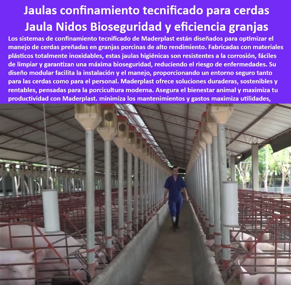 Jaulas De Inseminación Y Gestación Porcina Corral Maternidad Cerdas Maderplast -Infraestructura-Para-Producción-Porcina. - Soluciones personalizadas en jaulas para cerdas preñadas. - Soluciones duraderas para confinamiento de cerdas preñadas. - Sistemas plásticos para confinamiento de cerdas con bioseguridad, - Tecnología-De-Confinamiento-Porcino. - ¿Qué soluciones existen para manejo seguro de cerdas preñadas? - ¿Cómo elegir corrales higiénicos para maternidad porcina? - Jaulas para cerdas gestantes con bioseguridad avanzada, - Diseño-Modular-Cerdas-Preñadas, - Sistemas-Para-Maternidad-Porcina. - Corrales resistentes y adaptables para granjas tecnificadas, - Jaulas-Plásticas-Resistentes. - Corrales resistentes a la corrosión para maternidad porcina. - Jaulas con sistemas inteligentes para inseminación porcina. - Materiales plásticos resistentes para jaulas de maternidad, - Innovación-En-Porcicultura-Moderna. - Jaulas modulares con fácil limpieza para granjas porcinas. - Corrales optimizados para espacios reducidos en granjas porcinas, - Corrales-Sostenibles-Porcinos. - Sistemas de confinamiento higiénico para porcicultura moderna. - Corrales higiénicos para cerdas preñadas en granjas modernas, - Bioseguridad-En-Confinamiento-Porcino. - Sistemas tecnificados para inseminación y maternidad de cerdas, - Corrales-Para-Cerdas-Gestantes. - Jaulas económicas y sostenibles para maternidad porcina. - Diseños modulares en jaulas para granjas tecnificadas. - Infraestructura eficiente para manejo de cerdas gestantes. - Equipos innovadores para manejo de cerdas preñadas. - ¿Dónde comprar sistemas tecnificados para cerdas gestantes? - Jaulas sostenibles y duraderas para bienestar porcícola. - Tecnología plástica avanzada en corrales de maternidad. - Corrales fáciles de instalar para granjas tecnificadas. - ¿Cuáles son las mejores jaulas para cerdas preñadas? - Sistemas eficientes para bioseguridad en granjas de cerdos. - ¿Qué jaulas son más eficientes para inseminación porcina? - Equipos de manejo seguro para cerdas en gestación. - Tecnología avanzada en corrales para producción porcina. - Jaulas higiénicas y sostenibles para producción porcina. - Jaulas con diseño ergonómico para el bienestar animal, - Jaulas-Higiénicas-Porcinas. - Corrales innovadores cerdas gestantes - Corrales fáciles y eficientes cerdas preñadas en espacios pequeños - Sistemas inteligentes cerdas gestantes tecnificada Jaulas De Inseminación Y Gestación Porcina Corral Maternidad Cerdas Maderplast Corrales innovadores cerdas gestantes Corrales fáciles y eficientes cerdas preñadas en espacios pequeños Sistemas inteligentes cerdas gestantes tecnificada -Infraestructura-Para-Producción-Porcina. - Soluciones personalizadas en jaulas para cerdas preñadas. - Soluciones duraderas para confinamiento de cerdas preñadas. - Sistemas plásticos para confinamiento de cerdas con bioseguridad, - Tecnología-De-Confinamiento-Porcino. - ¿Qué soluciones existen para manejo seguro de cerdas preñadas? - ¿Cómo elegir corrales higiénicos para maternidad porcina? - Jaulas para cerdas gestantes con bioseguridad avanzada, - Diseño-Modular-Cerdas-Preñadas, - Sistemas-Para-Maternidad-Porcina. - Corrales resistentes y adaptables para granjas tecnificadas, - Jaulas-Plásticas-Resistentes. - Corrales resistentes a la corrosión para maternidad porcina. - Jaulas con sistemas inteligentes para inseminación porcina. - Materiales plásticos resistentes para jaulas de maternidad, - Innovación-En-Porcicultura-Moderna. - Jaulas modulares con fácil limpieza para granjas porcinas. - Corrales optimizados para espacios reducidos en granjas porcinas, - Corrales-Sostenibles-Porcinos. - Sistemas de confinamiento higiénico para porcicultura moderna. - Corrales higiénicos para cerdas preñadas en granjas modernas, - Bioseguridad-En-Confinamiento-Porcino. - Sistemas tecnificados para inseminación y maternidad de cerdas, - Corrales-Para-Cerdas-Gestantes. - Jaulas económicas y sostenibles para maternidad porcina. - Diseños modulares en jaulas para granjas tecnificadas. - Infraestructura eficiente para manejo de cerdas gestantes. - Equipos innovadores para manejo de cerdas preñadas. - ¿Dónde comprar sistemas tecnificados para cerdas gestantes? - Jaulas sostenibles y duraderas para bienestar porcícola. - Tecnología plástica avanzada en corrales de maternidad. - Corrales fáciles de instalar para granjas tecnificadas. - ¿Cuáles son las mejores jaulas para cerdas preñadas? - Sistemas eficientes para bioseguridad en granjas de cerdos. - ¿Qué jaulas son más eficientes para inseminación porcina? - Equipos de manejo seguro para cerdas en gestación. - Tecnología avanzada en corrales para producción porcina. - Jaulas higiénicas y sostenibles para producción porcina. - Jaulas con diseño ergonómico para el bienestar animal, - Jaulas-Higiénicas-Porcinas. Jaulas De Inseminación Y Gestación Porcina Corral Maternidad Cerdas Maderplast - Corrales innovadores cerdas gestantes - Corrales fáciles y eficientes cerdas preñadas en espacios pequeños - Sistemas inteligentes cerdas gestantes tecnificada