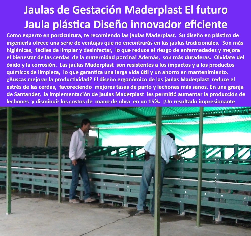 Jaulas De Inseminación Y Gestación Porcina Corral Maternidad Cerdas Maderplast Jaulas de confinamiento resistentes para cerdas preñadas. - ¿Cuáles son las mejores jaulas plásticas para cerdas? - -Maternidad-Porcina-De-Bajo-Mantenimiento. - ¿Cómo optimizar la bioseguridad en granjas porcinas? - Soluciones innovadoras para jaulas de maternidad de cerdos. - Jaulas tecnificadas para granjas con normativas sanitarias. - Sistemas de confinamiento eficientes para cerdas preñadas. - Infraestructura de bioseguridad avanzada para granjas tecnificadas. - Corrales de maternidad higiénicos y duraderos. - Infraestructura sostenible para producción porcina eficiente. - Soluciones plásticas para manejo eficiente de cerdas gestantes, - Corrales-Higiénicos-Para-Cerdas. - Sistemas plásticos higiénicos para inseminación artificial porcina, - Sistemas-Modulares-Para-Cerdas, - Jaulas-De-Maternidad-Porcina. - Diseños plásticos libres de óxido para uso intensivo en porcicultura, - Estructuras-Plásticas-Para-Granjas. - Soluciones tecnificadas para manejo de maternidad en porcicultura, - Diseños-Ergonómicos-En-Porcicultura, - Soluciones-De-Confinamiento-Porcino. - Sistemas avanzados para optimizar la maternidad porcina. - Jaulas de alta resistencia para manejo de cerdas gestantes. - Materiales plásticos resistentes a la corrosión para porcicultura. - Corrales plásticos seguros y ergonómicos para granjas tecnificadas, - Infraestructura-Avanzada-Para-Cerdas. - ¿Qué jaulas reducen el mantenimiento en cerdas gestantes? - -Jaulas-Duraderas-Y-Anticorrosivas, - Bioseguridad-En-Porcicultura-Moderna. - Diseño ergonómico para mejorar la productividad porcina. - Corrales de maternidad libres de mantenimiento intensivo. - Corrales eficientes para reducir el estrés de las cerdas. - Jaulas modulares personalizadas para cerdas preñadas. - Jaulas plásticas innovadoras para cerdas gestantes. - ¿Qué jaulas son más eficientes para maternidad porcina? - Jaulas económicas con larga vida útil para granjas. - Sistemas modulares de jaulas plásticas de fácil limpieza. - Estructuras anticorrosivas para granjas porcinas tecnificadas. - ¿Dónde comprar jaulas innovadoras para cerdas preñadas? - Estructuras modulares adaptables a proyectos porcinos. - Materiales plásticos higiénicos para maternidad porcina. - Estructuras innovadoras para jaulas de gestación porcina - Sistemas de confinamiento automatizado para cerdas gestantes - Venta de jaulas de gestación cerdas 0 Jaulas De Inseminación Y Gestación Porcina Corral Maternidad Cerdas Maderplast Estructuras innovadoras para jaulas de gestación porcina Sistemas de confinamiento automatizado para cerdas gestantes Venta de jaulas de gestación cerdas 0 Jaulas de confinamiento resistentes para cerdas preñadas. - ¿Cuáles son las mejores jaulas plásticas para cerdas? - -Maternidad-Porcina-De-Bajo-Mantenimiento. - ¿Cómo optimizar la bioseguridad en granjas porcinas? - Soluciones innovadoras para jaulas de maternidad de cerdos. - Jaulas tecnificadas para granjas con normativas sanitarias. - Sistemas de confinamiento eficientes para cerdas preñadas. - Infraestructura de bioseguridad avanzada para granjas tecnificadas. - Corrales de maternidad higiénicos y duraderos. - Infraestructura sostenible para producción porcina eficiente. - Soluciones plásticas para manejo eficiente de cerdas gestantes, - Corrales-Higiénicos-Para-Cerdas. - Sistemas plásticos higiénicos para inseminación artificial porcina, - Sistemas-Modulares-Para-Cerdas, - Jaulas-De-Maternidad-Porcina. - Diseños plásticos libres de óxido para uso intensivo en porcicultura, - Estructuras-Plásticas-Para-Granjas. - Soluciones tecnificadas para manejo de maternidad en porcicultura, - Diseños-Ergonómicos-En-Porcicultura, - Soluciones-De-Confinamiento-Porcino. - Sistemas avanzados para optimizar la maternidad porcina. - Jaulas de alta resistencia para manejo de cerdas gestantes. - Materiales plásticos resistentes a la corrosión para porcicultura. - Corrales plásticos seguros y ergonómicos para granjas tecnificadas, - Infraestructura-Avanzada-Para-Cerdas. - ¿Qué jaulas reducen el mantenimiento en cerdas gestantes? - -Jaulas-Duraderas-Y-Anticorrosivas, - Bioseguridad-En-Porcicultura-Moderna. - Diseño ergonómico para mejorar la productividad porcina. - Corrales de maternidad libres de mantenimiento intensivo. - Corrales eficientes para reducir el estrés de las cerdas. - Jaulas modulares personalizadas para cerdas preñadas. - Jaulas plásticas innovadoras para cerdas gestantes. - ¿Qué jaulas son más eficientes para maternidad porcina? - Jaulas económicas con larga vida útil para granjas. - Sistemas modulares de jaulas plásticas de fácil limpieza. - Estructuras anticorrosivas para granjas porcinas tecnificadas. - ¿Dónde comprar jaulas innovadoras para cerdas preñadas? - Estructuras modulares adaptables a proyectos porcinos. - Materiales plásticos higiénicos para maternidad porcina. Jaulas De Inseminación Y Gestación Porcina Corral Maternidad Cerdas Maderplast - Estructuras innovadoras para jaulas de gestación porcina - Sistemas de confinamiento automatizado para cerdas gestantes - Venta de jaulas de gestación cerdas 0