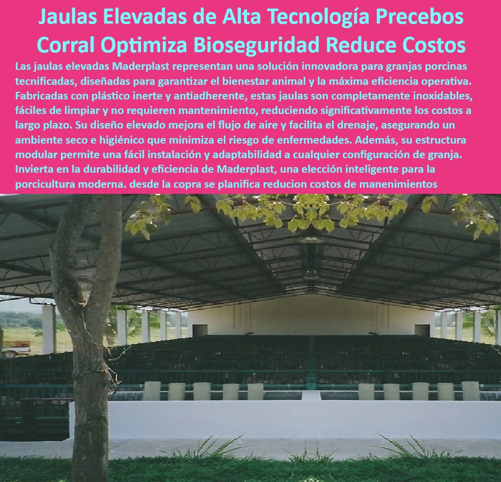 Jaulas de Piso Levantado Precebos Corrales Porcinos Elevados Maderplast Estructuras reciclables para sostenibilidad porcina, , - Pisos-Higiénicos-Cerdos-Destetados - ¿Qué jaulas son ideales para reducir costos en granjas porcinas? - Corrales modulares para cría de cerdos, - Corrales fáciles de limpiar y mantener, - Jaulas resistentes para lechones en precebo, - Jaulas modulares diseñadas para eficiencia operativa, - Soluciones innovadoras para manejo porcino eficiente, - Jaulas anticorrosivas para ambientes húmedos, - Corrales higiénicos con ventilación optimizada, , - Corrales-Higiénicos-Modulares - ¿Dónde jaula encontrars higiénicas para maternidades porcinas? - Corrales sostenibles que cumplen con las normativas internacionales, - Pisos antideslizantes para el bienestar de lechones, - Sistemas avanzados para reducir costos de granjas, - Pisos plásticos higiénicos para cerdos destetados, - Pisos drenantes para higiene en maternidades, - ¿Qué sistemas de bioseguridad son mejores para cerdos? - Infraestructura sostenible para porcicultura tecnificada, , - Corrales-Elevados-Bioseguridad-Avanzada , - Pisos-Drenantes-Maternidades-Porcinas - Pisos térmicos para cerdos en destete, - Corrales elevados con bioseguridad avanzada, - ¿Cómo elegir pisos plásticos para cría de cerdos? - Sistemas duraderos para optimizar la producción porcina, , - Sistemas-Eficientes-Granjas-Porcinas , - Innovación-Reducción-Costos-Granjas , - Jaulas-Ligeras-Destete-Lechones - Pisos elevados para minimizar enfermedades porcinas, - Infraestructura plástica para bioseguridad animal, - Jaulas plásticas ergonómicas para cría porcina, - Estructuras plásticas para reducir riesgos sanitarios, , - Estructuras-Reciclables-Sostenibilidad-Porcina - Sistemas de manejo eficiente en granjas porcinas, - Jaulas ligeras para maternidades porcinas modernas, , - Infraestructura-Sostenible-Porcicultura - Sistemas económicos para granjas modernas, , - Jaulas-Plásticas-Ergonómicas-Porcicultura - Jaulas ergonómicas con diseño modular, - ¿Cuáles son los beneficios de corrales elevados para lechones? - Jaulas ligeras para destetar lechones - Jaulas ecológicas granjas porcinas modernas - Corrales higiénicos con placas plásticas reciclables - Estructuras higiénicas 0 Jaulas de Piso Levantado Precebos Corrales Porcinos Elevados Maderplast Jaulas ligeras para destetar lechones Jaulas ecológicas granjas porcinas modernas Corrales higiénicos con placas plásticas reciclables Estructuras higiénicas 0 Estructuras reciclables para sostenibilidad porcina, , - Pisos-Higiénicos-Cerdos-Destetados - ¿Qué jaulas son ideales para reducir costos en granjas porcinas? - Corrales modulares para cría de cerdos, - Corrales fáciles de limpiar y mantener, - Jaulas resistentes para lechones en precebo, - Jaulas modulares diseñadas para eficiencia operativa, - Soluciones innovadoras para manejo porcino eficiente, - Jaulas anticorrosivas para ambientes húmedos, - Corrales higiénicos con ventilación optimizada, , - Corrales-Higiénicos-Modulares - ¿Dónde jaula encontrars higiénicas para maternidades porcinas? - Corrales sostenibles que cumplen con las normativas internacionales, - Pisos antideslizantes para el bienestar de lechones, - Sistemas avanzados para reducir costos de granjas, - Pisos plásticos higiénicos para cerdos destetados, - Pisos drenantes para higiene en maternidades, - ¿Qué sistemas de bioseguridad son mejores para cerdos? - Infraestructura sostenible para porcicultura tecnificada, , - Corrales-Elevados-Bioseguridad-Avanzada , - Pisos-Drenantes-Maternidades-Porcinas - Pisos térmicos para cerdos en destete, - Corrales elevados con bioseguridad avanzada, - ¿Cómo elegir pisos plásticos para cría de cerdos? - Sistemas duraderos para optimizar la producción porcina, , - Sistemas-Eficientes-Granjas-Porcinas , - Innovación-Reducción-Costos-Granjas , - Jaulas-Ligeras-Destete-Lechones - Pisos elevados para minimizar enfermedades porcinas, - Infraestructura plástica para bioseguridad animal, - Jaulas plásticas ergonómicas para cría porcina, - Estructuras plásticas para reducir riesgos sanitarios, , - Estructuras-Reciclables-Sostenibilidad-Porcina - Sistemas de manejo eficiente en granjas porcinas, - Jaulas ligeras para maternidades porcinas modernas, , - Infraestructura-Sostenible-Porcicultura - Sistemas económicos para granjas modernas, , - Jaulas-Plásticas-Ergonómicas-Porcicultura - Jaulas ergonómicas con diseño modular, - ¿Cuáles son los beneficios de corrales elevados para lechones? Jaulas de Piso Levantado Precebos Corrales Porcinos Elevados Maderplast - Jaulas ligeras para destetar lechones - Jaulas ecológicas granjas porcinas modernas - Corrales higiénicos con placas plásticas reciclables - Estructuras higiénicas 0