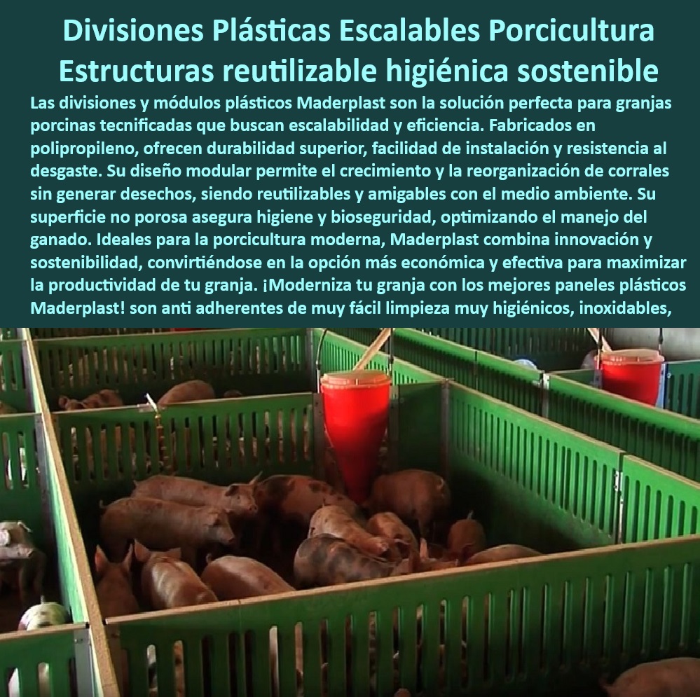 Paneles Plásticos Modulares para Corrales de Cerdos Maderplast Diseño técnico modular para cerdos de engorde, - Paneles plásticos para maximizar la productividad, , - Estructuras-Reutilizables-Granjas - Divisiones plásticas escalables para granjas porcinas, - Estructuras reutilizables para granjas modernas, - Soluciones higiénicas con paneles plásticos, - Placas plásticas anticorrosivas para porcicultura, - Materiales resistentes e higiénicos para porcicultura, - Divisiones desmontables para granjas higiénicas, - Bioseguridad avanzada con divisiones plásticas, - Divisiones plásticas no porosas para corrales, , - Soluciones-Higiénicas-Porcinas , - Infraestructura-Modular-Porcicultura - ¿Qué paneles modulares son ideales para granjas de cerdos? - ¿Dónde comprar paneles plásticos para bioseguridad en porcicultura? , - Divisiones-Higiénicas-Cerdos - Sistemas escalables para corrales de cerdos, , - Bioseguridad-Sostenible-Granjas - Sistemas eficientes de división para cerdos, - Sistemas modulares de bioseguridad para cerdos, - ¿Cuáles son las mejores divisiones reutilizables para cerdos? , - Paneles-Reutilizables-Granjas - Modularidad en divisiones de granjas porcinas, - ¿Qué soluciones higiénicas funcionan mejor en corrales porcinos? - Paneles reciclables para manejo de ganado, - ¿Cómo modernizar divisiones en granjas porcinas? - Paneles plásticos resistentes al desgaste porcino, - División de corrales fácil de instalar y reubicar, - Sistemas innovadores en divisiones de corrales, - Paneles de fácil limpieza para granjas modernas, - Diseño modular para divisiones porcinas, - Soluciones sostenibles para granjas tecnificadas, - Paneles reutilizables para manejo porcino eficiente, - Infraestructura modular higiénica para porcicultura, , - Divisiones-Anticorrosivas-Corrales , - Paneles-Plásticos-Sostenibles - Materiales sostenibles para bioseguridad porcina, , - Divisiones-Plásticas-Modulares-Corrales - Divisiones anticorrosivas para granjas sostenibles, , - Diseño-Modular-Bioseguridad - Paneles Personalizados para Cerdos de Engorde y Reproducción - Sistemas Modulares para Bioseguridad en Granjas Porcinas - ¿Qué corrales ofrecen bioseguridad para granjas cerdo Paneles Plásticos Modulares para Corrales de Cerdos Maderplast Paneles Personalizados para Cerdos de Engorde y Reproducción Sistemas Modulares para Bioseguridad en Granjas Porcinas Qué corrales ofrecen bioseguridad para granjas cerdo Diseño técnico modular para cerdos de engorde, - Paneles plásticos para maximizar la productividad, , - Estructuras-Reutilizables-Granjas - Divisiones plásticas escalables para granjas porcinas, - Estructuras reutilizables para granjas modernas, - Soluciones higiénicas con paneles plásticos, - Placas plásticas anticorrosivas para porcicultura, - Materiales resistentes e higiénicos para porcicultura, - Divisiones desmontables para granjas higiénicas, - Bioseguridad avanzada con divisiones plásticas, - Divisiones plásticas no porosas para corrales, , - Soluciones-Higiénicas-Porcinas , - Infraestructura-Modular-Porcicultura - ¿Qué paneles modulares son ideales para granjas de cerdos? - ¿Dónde comprar paneles plásticos para bioseguridad en porcicultura? , - Divisiones-Higiénicas-Cerdos - Sistemas escalables para corrales de cerdos, , - Bioseguridad-Sostenible-Granjas - Sistemas eficientes de división para cerdos, - Sistemas modulares de bioseguridad para cerdos, - ¿Cuáles son las mejores divisiones reutilizables para cerdos? , - Paneles-Reutilizables-Granjas - Modularidad en divisiones de granjas porcinas, - ¿Qué soluciones higiénicas funcionan mejor en corrales porcinos? - Paneles reciclables para manejo de ganado, - ¿Cómo modernizar divisiones en granjas porcinas? - Paneles plásticos resistentes al desgaste porcino, - División de corrales fácil de instalar y reubicar, - Sistemas innovadores en divisiones de corrales, - Paneles de fácil limpieza para granjas modernas, - Diseño modular para divisiones porcinas, - Soluciones sostenibles para granjas tecnificadas, - Paneles reutilizables para manejo porcino eficiente, - Infraestructura modular higiénica para porcicultura, , - Divisiones-Anticorrosivas-Corrales , - Paneles-Plásticos-Sostenibles - Materiales sostenibles para bioseguridad porcina, , - Divisiones-Plásticas-Modulares-Corrales - Divisiones anticorrosivas para granjas sostenibles, , - Diseño-Modular-Bioseguridad Paneles Plásticos Modulares para Corrales de Cerdos Maderplast - Paneles Personalizados para Cerdos de Engorde y Reproducción - Sistemas Modulares para Bioseguridad en Granjas Porcinas - ¿Qué corrales ofrecen bioseguridad para granjas cerdo