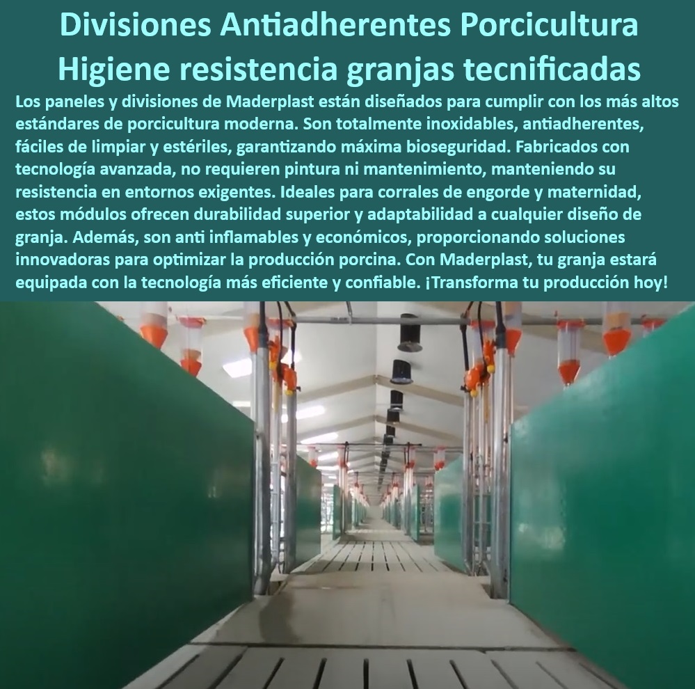 Paneles Plásticos Modulares para Corrales de Cerdos Maderplast -Corrales-Plásticos-Higiénicos , - Soluciones-Modulares-Porcicultura - Divisiones plásticas reconfigurables para granjas, - Sistemas modulares plásticos para manejo porcino, , - Paneles-Anti-Adherentes-Cerdos - Paneles plásticos modulares para granjas porcinas, - Tecnología plástica para maximizar la productividad porcina, - Paneles antiinflamables y de bajo mantenimiento, - ¿Cómo instalar corrales desmontables en granjas tecnificadas? - ¿Qué sistemas plásticos son más higiénicos para cerdos? , - Bioseguridad-Plástica-Porcina , - Sistemas-Modulares-Granjas - Paneles resistentes al desgaste en sistemas porcinos, - ¿Qué paneles plásticos garantizan bioseguridad porcina? - Paneles para granjas porcinas sin necesidad de pintura, , - Tecnología-Sostenible-Porcina - Soluciones plásticas sostenibles para granjas tecnificadas, - Corrales de plástico modulares para reducir costos operativos, - ¿Cuáles son los mejores corrales modulares para cerdos? - Diseño higiénico y eficiente para corrales de maternidad, - Corrales higiénicos y resistentes para porcicultura, , - Divisiones-Plásticas-Resistentes - Divisiones plásticas fáciles de limpiar para cerdos, - Corrales desmontables para optimización productiva, - Estructuras resistentes y económicas para manejo de cerdos, , - Estructuras-Modulares-Porcinas , - Paneles-Inoxidables-Granjas - Divisiones plásticas antiadherentes para granjas seguras, - Paneles inoxidables para instalaciones porcinas, - Tecnología modular para bioseguridad porcina avanzada, - Infraestructura anticorrosiva para cerdos de engorde, , - Corrales-Modulares-Plásticos - Sistemas de bioseguridad con soluciones avanzadas, - Paneles de alta resistencia para granjas eficientes, - Paneles con baja huella de carbono para porcicultura, - Sistemas innovadores para producción porcina sostenible, - Corrales modulares duraderos y ecológicos, - ¿Dónde conseguir divisiones plásticas antiadherentes para granjas? - Divisiones antiadherentes para bioseguridad en cerdos, - Soluciones de bioseguridad para corrales modernos - Soluciones Plásticas Modulares para Granjas Porcinas - Corrales Plásticos con Baja Huella de Carbono - Soluciones Higiénicas para Corrales Modulares Cerdos - Granjas-Porcinas Paneles Plásticos Modulares para Corrales de Cerdos Maderplast Soluciones Plásticas Modulares para Granjas Porcinas Corrales Plásticos con Baja Huella de Carbono Soluciones Higiénicas para Corrales Modulares Cerdos Granjas Porcinas -Corrales-Plásticos-Higiénicos , - Soluciones-Modulares-Porcicultura - Divisiones plásticas reconfigurables para granjas, - Sistemas modulares plásticos para manejo porcino, , - Paneles-Anti-Adherentes-Cerdos - Paneles plásticos modulares para granjas porcinas, - Tecnología plástica para maximizar la productividad porcina, - Paneles antiinflamables y de bajo mantenimiento, - ¿Cómo instalar corrales desmontables en granjas tecnificadas? - ¿Qué sistemas plásticos son más higiénicos para cerdos? , - Bioseguridad-Plástica-Porcina , - Sistemas-Modulares-Granjas - Paneles resistentes al desgaste en sistemas porcinos, - ¿Qué paneles plásticos garantizan bioseguridad porcina? - Paneles para granjas porcinas sin necesidad de pintura, , - Tecnología-Sostenible-Porcina - Soluciones plásticas sostenibles para granjas tecnificadas, - Corrales de plástico modulares para reducir costos operativos, - ¿Cuáles son los mejores corrales modulares para cerdos? - Diseño higiénico y eficiente para corrales de maternidad, - Corrales higiénicos y resistentes para porcicultura, , - Divisiones-Plásticas-Resistentes - Divisiones plásticas fáciles de limpiar para cerdos, - Corrales desmontables para optimización productiva, - Estructuras resistentes y económicas para manejo de cerdos, , - Estructuras-Modulares-Porcinas , - Paneles-Inoxidables-Granjas - Divisiones plásticas antiadherentes para granjas seguras, - Paneles inoxidables para instalaciones porcinas, - Tecnología modular para bioseguridad porcina avanzada, - Infraestructura anticorrosiva para cerdos de engorde, , - Corrales-Modulares-Plásticos - Sistemas de bioseguridad con soluciones avanzadas, - Paneles de alta resistencia para granjas eficientes, - Paneles con baja huella de carbono para porcicultura, - Sistemas innovadores para producción porcina sostenible, - Corrales modulares duraderos y ecológicos, - ¿Dónde conseguir divisiones plásticas antiadherentes para granjas? - Divisiones antiadherentes para bioseguridad en cerdos, - Soluciones de bioseguridad para corrales modernos Paneles Plásticos Modulares para Corrales de Cerdos Maderplast - Soluciones Plásticas Modulares para Granjas Porcinas - Corrales Plásticos con Baja Huella de Carbono - Soluciones Higiénicas para Corrales Modulares Cerdos - Granjas-Porcinas