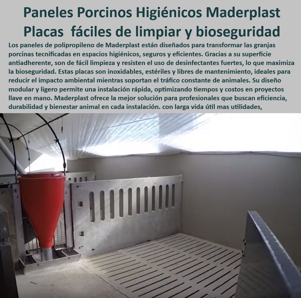 Paneles Plásticos Porcícolas Placas Higiénicas Granjas De Cerdos Maderplast -Paneles-Plásticos-Bioseguridad - Pisos plásticos que evitan la acumulación de suciedad, - Placas de polipropileno antiadherentes y estériles, - Placas-Resistentes-Para-Granjas , - Bioseguridad-En-Maternidades - Soluciones llave en mano para granjas porcinas tecnificadas, - Placas resistentes que reducen el impacto ambiental, - ¿Qué paneles reducen el impacto ambiental en instalaciones porcinas? - Paneles plásticos higiénicos para maternidades porcinas, - Paneles para evitar suciedad y contaminantes en corrales, - Pisos-Higiénicos-Para-Corrales - Corrales porcinos higiénicos para producción sostenible, - Soluciones plásticas adaptables para maternidades porcinas, - Pisos plásticos de fácil limpieza para instalaciones porcinas, - Soluciones higiénicas para bioseguridad en granjas porcinas, - Infraestructura-Porcina-Sostenible - ¿Cuáles son los mejores pisos higiénicos para maternidades porcinas? - Paneles resistentes al tráfico constante en corrales, - Sistemas-De-Limpieza-Porcinos - Paneles plásticos diseñados para el bienestar animal, - Sistemas modulares para optimizar la producción en granjas, - ¿Dónde comprar paneles plásticos para corrales de cerdos? - ¿Qué placas son más resistentes para corrales porcinos? - Pisos diseñados para mejorar el manejo de purines, - Placas térmicas resistentes para corrales de cerdos, - Materiales innovadores para evitar la acumulación de residuos, - Pisos que mejoran la bioseguridad y el confort animal, - Placas modulares fáciles de instalar en granjas, - Pisos duraderos para maternidades de cerdos tecnificados, - Infraestructura plástica para granjas de cerdos modernas, - Pisos-Antiadherentes-Duraderos - ¿Cómo optimizar la limpieza en granjas de cerdos con pisos plásticos? - Sistemas plásticos sin mantenimiento para instalaciones ganaderas, - Corrales-Porcinos-Duraderos - Paneles de polipropileno para bioseguridad porcina, - Corrales para cerdos con alta resistencia química, - Paneles que maximizan el confort térmico en corrales, - Soluciones-Modulares-Porcinas , - Paneles-Térmicos-Confort-Porcicultura - Placas para corrales porcinos libres de mantenimiento. - Paneles para evitar acumulación de suciedad en corrales - Placas térmicas confort en maternidades porcinas - Placas de polipropileno resistentes para corrales PP Paneles Plásticos Porcícolas Placas Higiénicas Granjas De Cerdos Maderplast Paneles para evitar acumulación de suciedad en corrales Placas térmicas confort en maternidades porcinas Placas de polipropileno resistentes para corrales PP -Paneles-Plásticos-Bioseguridad - Pisos plásticos que evitan la acumulación de suciedad, - Placas de polipropileno antiadherentes y estériles, - Placas-Resistentes-Para-Granjas , - Bioseguridad-En-Maternidades - Soluciones llave en mano para granjas porcinas tecnificadas, - Placas resistentes que reducen el impacto ambiental, - ¿Qué paneles reducen el impacto ambiental en instalaciones porcinas? - Paneles plásticos higiénicos para maternidades porcinas, - Paneles para evitar suciedad y contaminantes en corrales, - Pisos-Higiénicos-Para-Corrales - Corrales porcinos higiénicos para producción sostenible, - Soluciones plásticas adaptables para maternidades porcinas, - Pisos plásticos de fácil limpieza para instalaciones porcinas, - Soluciones higiénicas para bioseguridad en granjas porcinas, - Infraestructura-Porcina-Sostenible - ¿Cuáles son los mejores pisos higiénicos para maternidades porcinas? - Paneles resistentes al tráfico constante en corrales, - Sistemas-De-Limpieza-Porcinos - Paneles plásticos diseñados para el bienestar animal, - Sistemas modulares para optimizar la producción en granjas, - ¿Dónde comprar paneles plásticos para corrales de cerdos? - ¿Qué placas son más resistentes para corrales porcinos? - Pisos diseñados para mejorar el manejo de purines, - Placas térmicas resistentes para corrales de cerdos, - Materiales innovadores para evitar la acumulación de residuos, - Pisos que mejoran la bioseguridad y el confort animal, - Placas modulares fáciles de instalar en granjas, - Pisos duraderos para maternidades de cerdos tecnificados, - Infraestructura plástica para granjas de cerdos modernas, - Pisos-Antiadherentes-Duraderos - ¿Cómo optimizar la limpieza en granjas de cerdos con pisos plásticos? - Sistemas plásticos sin mantenimiento para instalaciones ganaderas, - Corrales-Porcinos-Duraderos - Paneles de polipropileno para bioseguridad porcina, - Corrales para cerdos con alta resistencia química, - Paneles que maximizan el confort térmico en corrales, - Soluciones-Modulares-Porcinas , - Paneles-Térmicos-Confort-Porcicultura - Placas para corrales porcinos libres de mantenimiento. Paneles Plásticos Porcícolas Placas Higiénicas Granjas De Cerdos Maderplast - Paneles para evitar acumulación de suciedad en corrales - Placas térmicas confort en maternidades porcinas - Placas de polipropileno resistentes para corrales PP