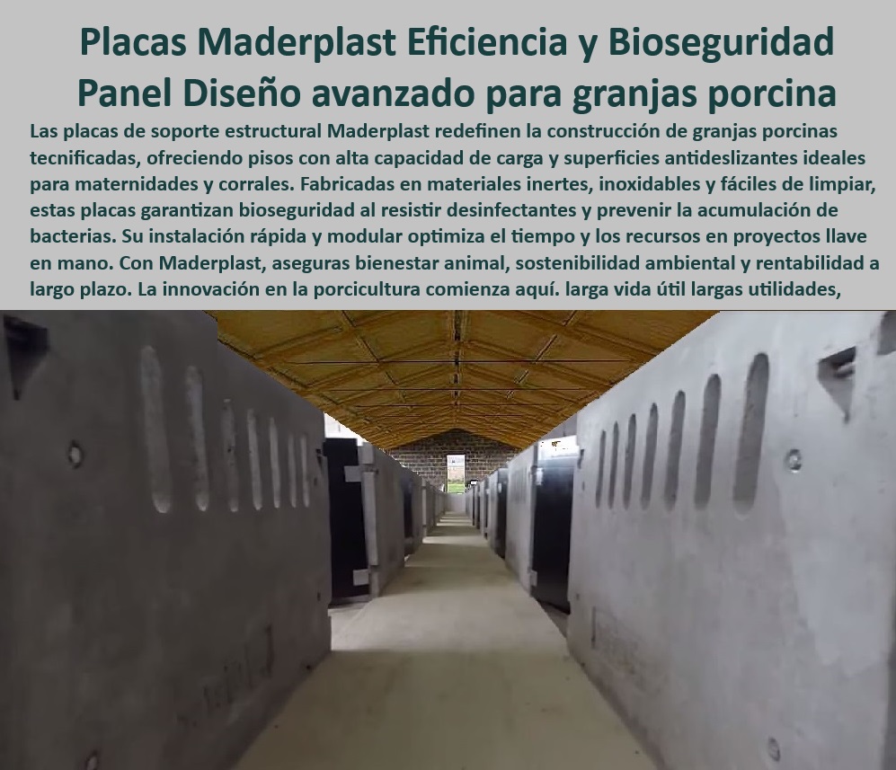 Paneles Plásticos Porcícolas Placas Higiénicas Granjas De Cerdos Maderplast ¿Qué paneles térmicos son ideales para granjas de cerdos? , - Materiales-Sostenibles-En-Porcicultura - Pisos plásticos para minimizar enfermedades porcinas, - Infraestructura-Moderna-Para-Cerdos - Placas de soporte estructural para granjas sostenibles, - Placas-Modulares-De-Bioseguridad , - Materiales-Innovadores-Para-Granjas , - Paneles-Térmicos-Para-Granjas - Placas modulares para proyectos llave en mano, - Paneles térmicos que reducen los costos de mantenimiento, - ¿Cómo mejorar la bioseguridad en corrales porcinos modernos? - ¿Cómo optimizar la limpieza en corrales de cerdos tecnificados? - Pisos resistentes para prevenir la acumulación de residuos, - Soluciones-Higiénicas-Para-Corrales - Pisos de polipropileno para maternidades porcinas seguras, - Materiales reciclables para infraestructuras tecnificadas, - Placas de bioseguridad para instalaciones porcinas eficientes, - ¿Qué pisos antideslizantes recomiendan para maternidades porcinas? - Materiales resistentes al desgaste para corrales de cerdos, - Materiales sostenibles para infraestructura de granjas, - Pisos-Plásticos-Resistentes - Pisos de fácil limpieza para corrales tecnificados, - Materiales ligeros y duraderos para instalaciones porcícolas, - Paneles-Eficiencia-Bioseguridad - Paneles perforados para mejorar la ventilación en corrales, - Placas sostenibles que cumplen con las normativas internacionales, - Placas higiénicas resistentes a desinfectantes químicos, - Paneles plásticos que maximizan la eficiencia operativa, - Soluciones antideslizantes para granjas porcinas avanzadas, - Soluciones innovadoras para mejorar el bienestar animal, - Pisos-Fácil-Limpieza-Porcinos - Materiales anticorrosivos para instalaciones porcinas modernas, - Soluciones higiénicas para prevenir la acumulación de bacterias, - Pisos térmicos para maximizar la productividad en porcicultura, - Pisos modulares diseñados para la bioseguridad porcina, - Paneles térmicos para granjas porcinas tecnificadas, - Pisos antideslizantes para prevenir lesiones en cerdos, - Pisos-Antideslizantes-Porcinos - ¿Dónde encontrar placas plásticas para granjas tecnificadas? - Soluciones modulares para optimizar el espacio en granjas. - Paneles térmicos que maximizan la eficiencia operativa - Placas evitar lesiones por deslizamiento en cerdos - Cómo mejorar la bioseguridad en granjas porcinas PP Paneles Plásticos Porcícolas Placas Higiénicas Granjas De Cerdos Maderplast Paneles térmicos que maximizan la eficiencia operativa Placas evitar lesiones por deslizamiento en cerdos Cómo mejorar la bioseguridad en granjas porcinas PP ¿Qué paneles térmicos son ideales para granjas de cerdos? , - Materiales-Sostenibles-En-Porcicultura - Pisos plásticos para minimizar enfermedades porcinas, - Infraestructura-Moderna-Para-Cerdos - Placas de soporte estructural para granjas sostenibles, - Placas-Modulares-De-Bioseguridad , - Materiales-Innovadores-Para-Granjas , - Paneles-Térmicos-Para-Granjas - Placas modulares para proyectos llave en mano, - Paneles térmicos que reducen los costos de mantenimiento, - ¿Cómo mejorar la bioseguridad en corrales porcinos modernos? - ¿Cómo optimizar la limpieza en corrales de cerdos tecnificados? - Pisos resistentes para prevenir la acumulación de residuos, - Soluciones-Higiénicas-Para-Corrales - Pisos de polipropileno para maternidades porcinas seguras, - Materiales reciclables para infraestructuras tecnificadas, - Placas de bioseguridad para instalaciones porcinas eficientes, - ¿Qué pisos antideslizantes recomiendan para maternidades porcinas? - Materiales resistentes al desgaste para corrales de cerdos, - Materiales sostenibles para infraestructura de granjas, - Pisos-Plásticos-Resistentes - Pisos de fácil limpieza para corrales tecnificados, - Materiales ligeros y duraderos para instalaciones porcícolas, - Paneles-Eficiencia-Bioseguridad - Paneles perforados para mejorar la ventilación en corrales, - Placas sostenibles que cumplen con las normativas internacionales, - Placas higiénicas resistentes a desinfectantes químicos, - Paneles plásticos que maximizan la eficiencia operativa, - Soluciones antideslizantes para granjas porcinas avanzadas, - Soluciones innovadoras para mejorar el bienestar animal, - Pisos-Fácil-Limpieza-Porcinos - Materiales anticorrosivos para instalaciones porcinas modernas, - Soluciones higiénicas para prevenir la acumulación de bacterias, - Pisos térmicos para maximizar la productividad en porcicultura, - Pisos modulares diseñados para la bioseguridad porcina, - Paneles térmicos para granjas porcinas tecnificadas, - Pisos antideslizantes para prevenir lesiones en cerdos, - Pisos-Antideslizantes-Porcinos - ¿Dónde encontrar placas plásticas para granjas tecnificadas? - Soluciones modulares para optimizar el espacio en granjas. Paneles Plásticos Porcícolas Placas Higiénicas Granjas De Cerdos Maderplast - Paneles térmicos que maximizan la eficiencia operativa - Placas evitar lesiones por deslizamiento en cerdos - Cómo mejorar la bioseguridad en granjas porcinas PP