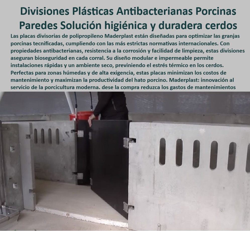 Paneles Plásticos Porcícolas Placas Higiénicas Granjas De Cerdos Maderplast ¿Cómo reducir el estrés térmico en cerdos con divisiones plásticas? - Paredes de polipropileno que aseguran el bienestar animal, - Divisiones modulares para optimizar espacios porcinos, - Placas plásticas innovadoras para bioseguridad en porcicultura, - Paredes divisorias que maximizan la eficiencia operativa, - Divisiones plásticas modulares para maternidades porcinas, - Placas antibacterianas resistentes a la corrosión, - Divisiones anticorrosivas para proyectos llave en mano, - Soluciones-Higiénicas-Anticorrosivas , - Soluciones-De-Bioseguridad-Porcina - Paneles plásticos que reducen los costos de mantenimiento, - ¿Qué opciones de paneles higiénicos para granjas porcinas existen? - Divisiones plásticas con propiedades antibacterianas avanzadas, - Materiales resistentes al desgaste en instalaciones porcinas, - Placas divisorias de instalación rápida y modular, - Soluciones higiénicas para ambientes porcinos húmedos, - Divisiones plásticas higiénicas para granjas porcinas modernas, - Paneles-Higiénicos-Para-Corrales - ¿Dónde comprar paneles antibacterianos para granjas porcinas? - Paneles anticorrosivos para zonas húmedas, - Divisiones-De-Fácil-Instalación - Paredes divisorias fáciles de instalar para granjas, - Divisiones-Plásticas-Porcinas - Placas divisorias que mejoran la productividad del hato porcino, - ¿Qué materiales son ideales para bioseguridad en maternidades porcinas? , - Paredes-Antibacterianas-Para-Cerdos - Soluciones plásticas para evitar el estrés térmico en cerdos, - Sistemas divisorios modulares para corrales de cerdos, - Divisiones higiénicas que cumplen con las normativas internacionales, - Paneles plásticos resistentes a químicos y agentes corrosivos, - Paneles-Plásticos-Duraderos - Paredes de polipropileno para instalaciones sostenibles, - Paneles de polipropileno para bioseguridad porcina, - ¿Cuáles son las mejores divisiones plásticas para corrales de cerdos? - Paneles ligeros y duraderos para ambientes tecnificados, - Placas-Para-Bienestar-Animal , - Divisiones-Modulares-Para-Granjas - Paredes de fácil limpieza para bioseguridad en granjas, - Soluciones para minimizar el mantenimiento en granjas, - Paredes-Resistentes-A-Químicos - Placas de plástico para automatizar granjas de cerdos - Paneles resistentes a químicos y agentes corrosivos - Diseños prácticos para pisos de granjas porcinas PP Paneles Plásticos Porcícolas Placas Higiénicas Granjas De Cerdos Maderplast Placas de plástico para automatizar granjas de cerdos Paneles resistentes a químicos y agentes corrosivos Diseños prácticos para pisos de granjas porcinas PP ¿Cómo reducir el estrés térmico en cerdos con divisiones plásticas? - Paredes de polipropileno que aseguran el bienestar animal, - Divisiones modulares para optimizar espacios porcinos, - Placas plásticas innovadoras para bioseguridad en porcicultura, - Paredes divisorias que maximizan la eficiencia operativa, - Divisiones plásticas modulares para maternidades porcinas, - Placas antibacterianas resistentes a la corrosión, - Divisiones anticorrosivas para proyectos llave en mano, - Soluciones-Higiénicas-Anticorrosivas , - Soluciones-De-Bioseguridad-Porcina - Paneles plásticos que reducen los costos de mantenimiento, - ¿Qué opciones de paneles higiénicos para granjas porcinas existen? - Divisiones plásticas con propiedades antibacterianas avanzadas, - Materiales resistentes al desgaste en instalaciones porcinas, - Placas divisorias de instalación rápida y modular, - Soluciones higiénicas para ambientes porcinos húmedos, - Divisiones plásticas higiénicas para granjas porcinas modernas, - Paneles-Higiénicos-Para-Corrales - ¿Dónde comprar paneles antibacterianos para granjas porcinas? - Paneles anticorrosivos para zonas húmedas, - Divisiones-De-Fácil-Instalación - Paredes divisorias fáciles de instalar para granjas, - Divisiones-Plásticas-Porcinas - Placas divisorias que mejoran la productividad del hato porcino, - ¿Qué materiales son ideales para bioseguridad en maternidades porcinas? , - Paredes-Antibacterianas-Para-Cerdos - Soluciones plásticas para evitar el estrés térmico en cerdos, - Sistemas divisorios modulares para corrales de cerdos, - Divisiones higiénicas que cumplen con las normativas internacionales, - Paneles plásticos resistentes a químicos y agentes corrosivos, - Paneles-Plásticos-Duraderos - Paredes de polipropileno para instalaciones sostenibles, - Paneles de polipropileno para bioseguridad porcina, - ¿Cuáles son las mejores divisiones plásticas para corrales de cerdos? - Paneles ligeros y duraderos para ambientes tecnificados, - Placas-Para-Bienestar-Animal , - Divisiones-Modulares-Para-Granjas - Paredes de fácil limpieza para bioseguridad en granjas, - Soluciones para minimizar el mantenimiento en granjas, - Paredes-Resistentes-A-Químicos Paneles Plásticos Porcícolas Placas Higiénicas Granjas De Cerdos Maderplast - Placas de plástico para automatizar granjas de cerdos - Paneles resistentes a químicos y agentes corrosivos - Diseños prácticos para pisos de granjas porcinas PP
